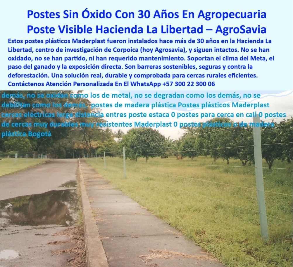 Cercas Perimetrales Postes De Linderos Medianeros Poste Límites Viales Maderplast 0 postes sin oxidación para cercas rurales postes plásticos contra la deforestación trucos para alambrado eficiente en potrero barrera reciclada poste para cerca agropecuaria de alta duración, - postes económicos y duraderos a largo plazo, - cerramiento rural con polímero reciclado resistente, - postes para reemplazo de madera en fincas ganaderas, - ¿Dónde compro postes de cerca que duren más de 20 años?, - cómo hacer cercado sostenible sin concreto ni metal, - instalación de cercas largas sin concreto, - cerca ganadera reciclada sin costos de pintura, - Línea de cerca recta en zona agrícola con humedad, - barreras ecológicas con postes de plástico sólido, - Estructura de cerca para investigación ganadera, - postes-reciclados-para-potreros, - ¿Cómo hacer una cerca eléctrica sin aisladores?, - poste-plástico-contra-deforestación, - poste técnico con soporte para alambre tenso, - Instalación técnica de postes visibles en agrocentro, - postes-para-zona-húmeda, - Postes plásticos intactos después de 30 años sin pintura, - solución contra deforestación con postes reciclados, - postes dieléctricos para instalaciones rurales, - poste para ganadería con más de 30 años en campo real, - cerca eléctrica para zonas húmedas y calientes, - Poste_Sin_Óxido_Instalado_En_Hacienda_La_Libertad_Agrosavia_Maderplast_0.jpg, - postes plásticos sin pudrición para potrero, - cercas-rurales-eficientes, - postes de 30 años sin mantenimiento ni desgaste, - ¿Qué poste usan en zonas ganaderas como el Meta?, - barrera-ecológica-efectiva, - poste de cerca visible y ecológico de plástico, - postes reciclados para centros de investigación, - cercado eficiente con poste en plástico estructural, - Alambres tensos sujetos por poste sin aislador, - La foto muestra una imagen real tomada en la Hacienda La Libertad, hoy conocida como Agrosavia, donde se aprecia una línea de postes plásticos Maderplast instalados hace más de 30 años. Estos postes siguen erguidos, sin óxido, sin pintura, sin agrietamientos y sin ningún tipo de mantenimiento. A lo largo del camino rural, delimitan una cerca firme y perfectamente alineada que ha soportado décadas de humedad, lluvias intensas y uso ganadero continuo. A diferencia del concreto, el metal o la madera, los postes plásticos Maderplast resisten sin deteriorarse ni comprometer la seguridad de la cerca. Son ecológicos, fabricados en polímero reciclado, y actúan como barreras contra la deforestación al eliminar la tala de árboles. Además, son visibles para vehículos y personal en vías agrícolas, mejorando la señalización natural. Esta instalación es testimonio vivo de que la tecnología colombiana ofrece soluciones sostenibles, duraderas y 100% funcionales. Una sola inversión que se paga sola con los años., - cerca-ganadera-sin-mantenimiento, - cercas rurales con postes reciclados sin oxidación, - cerca eléctrica sin aisladores para finca moderna, - postes ideales para suelos húmedos y ganadería, - cerca segura para terrenos ganaderos extensivos, - ¿Qué poste no se oxida ni se parte con el tiempo?, - postes-visibles-para-caminos, - postes sin óxido para fincas rurales, - tecnología-rural-sostenible, - cerca perimetral ecológica con polímero estructural, - Instalación limpia sobre pasto y vía pavimentada, - estructuras rurales con alta durabilidad garantizada, - reemplazo de postes metálicos oxidados en potrero, - ¿Cuál es el mejor poste para clima tropical húmedo?, - Cerramiento eficiente sin concreto ni madera, - cerramientos-agropecuarios, - Postes firmes sin rajaduras visibles al contacto, - postes plásticos resistentes al clima del Meta, - cercado técnico sin oxidación en clima extremo, - Polímero reciclado como sustituto de postes viejos, - postes ecológicos visibles para señalización rural, - Camino rural bordeado por postes sin óxido, - poste para investigación agrícola sin mantenimiento, - postes-plásticos-sin-óxido 0 Cercas Perimetrales Postes De Linderos Medianeros Poste Límites Viales Maderplast 0 postes sin oxidación para cercas rurales, - postes-plásticos-contra-la-deforestación, - trucos para alambrado eficiente en potrero, barrera reciclada