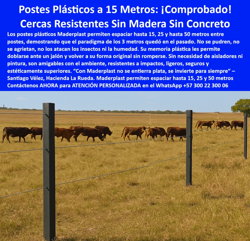 Cercas exteriores Cercados De Linderos Poste Plástico Dividir Separar Fincas Maderplast 0 Hay postes plásticos resistentes a impactos de Linderos 00 Cercas exteriores Cercados De Linderos Poste Plástico Dividir Separar Fincas Maderplast poste plástico para linderos resistentes, - Postes plásticos instalados a 15 metros entre toros de lidia, - ¿Qué poste reemplaza la madera y el concreto?, - poste ideal para terrenos ganaderos amplios, - poste plástico resistente para embestidas de toros, - poste para potrero con bajo mantenimiento, - poste plástico para cercas sin concreto, - poste plástico con memoria de forma, - poste reciclado para cercas agropecuarias, - poste duradero para cercas a 15 metros, - poste-para-potreros-grandes, - poste para cerramiento de finca rural, - poste para ganadería tecnificada sostenible, - ¿Cómo dividir potrero con postes durables?, - ¿Cuál es el mejor poste para ganado de lidia?, - poste plástico para zonas calientes secas, - ¿Postes sin mantenimiento para finca ganadera?, - poste-firme-a-15-metros, - poste con resistencia a termitas y humedad, - poste-sin-aisladores-ganadería, - poste-reciclado-rural, - poste para dividir potreros con seguridad, - ¿Postes ecológicos para ganadería intensiva?, - poste-tecnificado-para-finca, - poste para ganadería de alto impacto, - poste para cercas ganaderas sin pintura, - poste-plastico-cerca-ganado-lidia-girardot-cundinamarca.jpg, - poste para cercas firmes sin concreto, - poste-resistente-para-cercas, - poste sin concreto para cercado rural, - poste-plástico-durable, - poste que resiste embestidas de animales, - poste-ganadero-inteligente, - Poste ecológico para potrero seco sin riesgo de pudrición, - poste sin aisladores para cerca eléctrica ganadera, - Ganado bravo con cerca plástica sin aisladores ni concreto, - poste plástico que reemplaza la madera, - poste sin taladro para cerca eléctrica, - poste plástico resistente para toros de lidia, - Finca ganadera cercada con postes plásticos de alto impacto, - poste plástico ideal para potrero intensivo, - Postes oscuros bien alineados en potrero ganadero seco, - poste que no requiere aisladores eléctricos, - poste-plástico-sin-concreto, - Poste a prueba de impacto para potrero con toros, - poste ecológico para división de potreros, - poste que no se oxida ni se pudre, - poste plástico para ganadería intensiva, - Ganadería tecnificada con postes plásticos reciclables, - poste sin mantenimiento para finca ganadera, - División de linderos ganaderos con postes resistentes, - poste reciclado para uso agropecuario, - Poste plástico firme instalado sin concreto ni pintura, - Los postes plásticos Maderplast instalados en la ganadería de toros de lidia Rocha, en Girardot, Cundinamarca, están diseñados para resistir condiciones extremas sin comprometer seguridad ni funcionalidad. Esta imagen lo prueba: cercas firmes, bien alineadas y sin necesidad de concreto, aisladores o mantenimiento. Mientras los postes de madera se pudren con el tiempo y los de concreto se parten ante impactos o cargas, los postes Maderplast soportan embestidas de toros bravos, rayos UV, lluvias intensas, termitas, hongos, humedad y hasta incendios. Con una separación real de hasta 15 metros entre postes, esta tecnología supera los mitos tradicionales del cercado ganadero, demostrando que no es necesario gastar en más postes, más mano de obra o estructuras complejas. Estos postes de polímero sólido con memoria plástica recuperan su forma ante jalones y tensión, sin astillarse ni rajarse. Son ideales para potreros, cerramientos de linderos, cercas eléctricas permanentes y divisiones de pastoreo rotacional. A diferencia de los postes de madera inmunizada, no liberan químicos al suelo ni contaminan. Aportan una solución ecológica, eficiente y de larga duración: más de 30 años sin reemplazos, sin pintura, sin óxido y sin pudrición. Maderplast transforma fincas ganaderas tradicionales en sistemas tecnificados con menos insumos, más durabilidad y mayor rentabilidad a largo plazo. Inversión inteligente y comprobada por más de 150 clientes satisfechos en toda Colombia., - poste para finca ganadera en Cundinamarca, - Cerca eléctrica ganadera con postes plásticos firmes, - poste-plástico-para-toros 0 Hay postes plásticos resistentes a impactos de Linderos, - 00