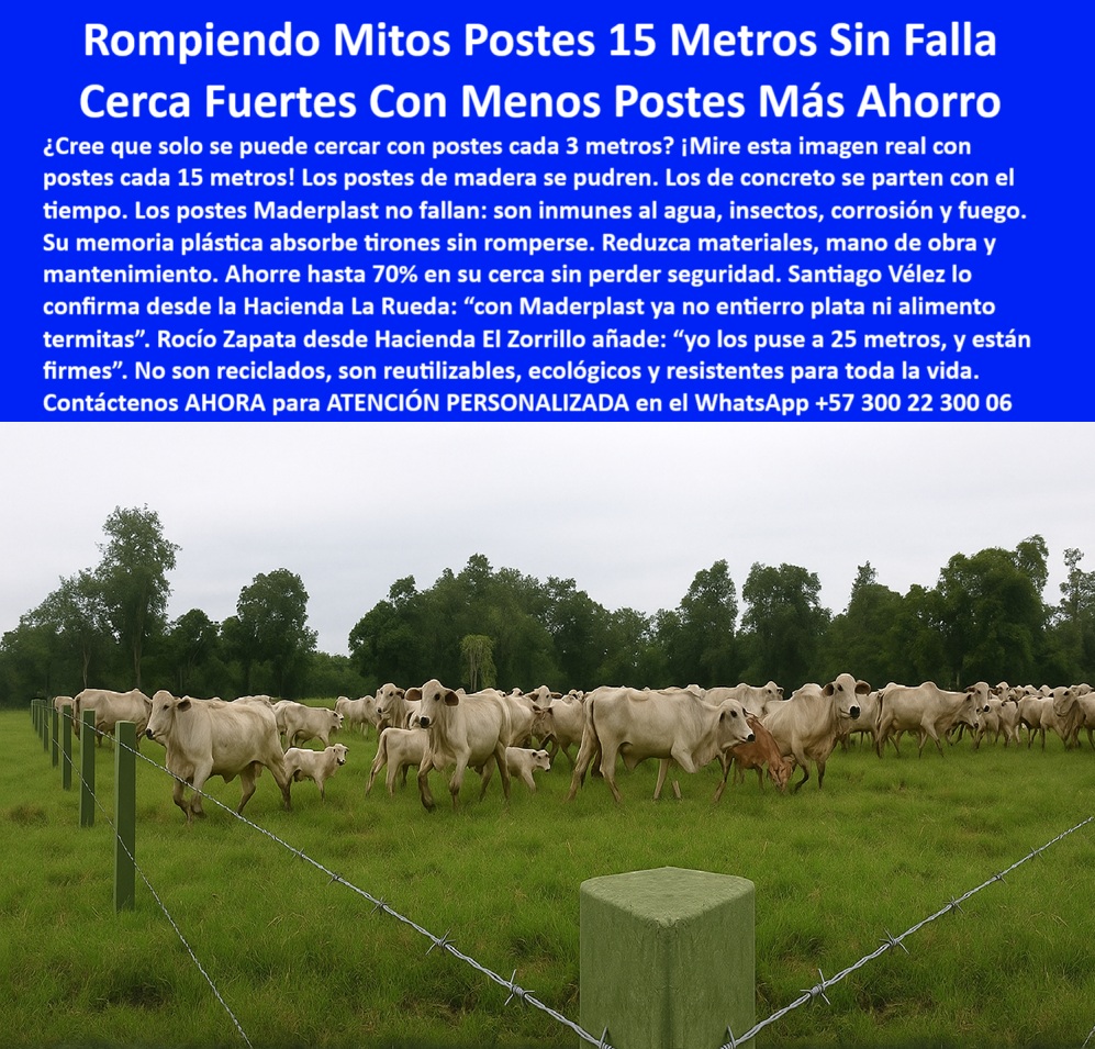 Cercas exteriores Cercados De Linderos Poste Plástico Dividir Separar Fincas Maderplast 0 consejos para instalar poste de cerca sin fallas Linderos poste reutilizable cerca Linderos Existen postes plásticos que reduzcan el gasto cerco para ganado que no requiere reemplazos, - instalación-de-cercas-duraderas, - poste-reutilizable-maderplast, - Cercado rural eficiente sin concreto ni aisladores, - poste duradero para terrenos húmedos y firmes, - Línea de postes verdes delimitando finca en La Dorada, - sistema de cercas con postes ecológicos reutilizables, - Cerca ganadera de 15 metros entre postes reutilizables, - finca-la-idalia-la-dorada, - poste Maderplast instalado en La Dorada Caldas, - poste para cercas que no se oxida ni parte, - poste sólido que resiste fuego y termitas, - ahorro en mano de obra en cercado rural, - ¿Dónde comprar postes Maderplast en Caldas?, - cerca de potrero sin necesidad de concreto, - En esta imagen real tomada en la Finca La Idalia en La Dorada, Caldas – Colombia, se demuestra cómo los postes plásticos Maderplast permiten instalar cercas ganaderas firmes a 15 metros de distancia sin fallos. Estos postes Maderplast son resistentes a la humedad, fuego, insectos y no requieren mantenimiento. Gracias a su memoria plástica y durabilidad comprobada, ofrecen una solución económica, ecológica y segura para dividir fincas con menos postes y mayor eficiencia., - poste-ecológico-para-ganado, - cerca-ganadera-sin-mantenimiento, - Poste plástico Maderplast instalado en finca ganadera Caldas, - poste-plastico-cercas-ganaderas-la-dorada-caldas-maderplast.jpg, - Sistema de cercado ecológico y firme en potrero real, - poste estructural para linderos permanentes, - postes-maderplast-en-caldas, - cercado con postes de alta tensión ganadera, - postes plásticos sólidos para cercas a 15 metros, - cercas para ganado resistentes a humedad y fuego, - Poste Maderplast sin oxidación rodeando ganado en finca, - poste plástico Maderplast finca La Idalia Caldas, - linderos-rurales-con-postes, - poste dieléctrico para potrero rotacional, - cerca para finca con poste de plástico verde, - poste ecológico para finca ganadera Caldas, - ¿Qué poste puedo usar para cerca sin mantenimiento?, - sistema-de-cercado-eficiente, - ¿Cómo cercar una finca con postes cada 15 metros?, - poste que no se tuerce con el tiempo, - cercado rural con postes sin aisladores, - poste plástico sin fallas para división rural, - Poste recto firme visible en linderos de finca, - cercas eficientes con postes a 15 metros, - sistema ganadero con cerca plástica reutilizable, - poste plástico para dividir fincas ganaderas, - poste plástico sin pintura ni corrosión, - Poste Maderplast reutilizable en cercado de ganado, - cerca ganadera económica sin mantenimiento, - Campo abierto cercado con poste plástico estructural, - instalación de postes a 15 metros ganadería, - cerca-sin-óxido-ni-pudrición, - poste-plástico-para-potreros, - sistema de cercado con bajo costo operativo, - ¿Cuál es el mejor poste para dividir fincas ganaderas?, - poste dieléctrico Maderplast para potrero rotacional, - postes plásticos reutilizables para linderos, - Finca vallada con postes dieléctricos ecológicos, - cerca rural ecológica con postes sin óxido, - cerca resistente con postes de plástico sólido, - ¿Cuánto duran los postes plásticos para potrero? 0 Cercas exteriores Cercados De Linderos Poste Plástico Dividir Separar Fincas Maderplast 0 consejos para instalar poste de cerca sin fallas Linderos, - poste reutilizable cerca Linderos, - Existen postes plásticos que reduzcan el gasto