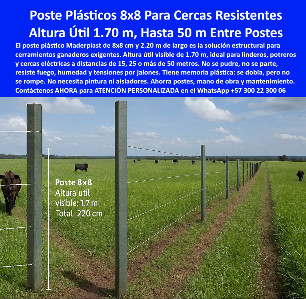 Cercas exteriores Cercados De Linderos Poste Plástico Dividir Separar Fincas Maderplast 0 poste plástico para Linderos estaca reforzada Linderos poste plástico Linderos ganaderos componente estructural Linderos anti fuego PP poste Maderplast para cercas eléctricas en pasto alto, - Postes plásticos visibles cada 50 metros sobre pasto verde, - poste para cercas eléctricas sin concreto, - poste-rural-sin-mantenimiento, - poste-8x8-cerca-electrica-50-metros-potreros-puerto-gaitan.jpg, - poste para división de potreros de gran extensión, - Sistema de cerca eléctrica rural con postes espaciados, - poste que resiste golpes, fuego y termitas, - poste reciclable para cercas eficientes, - poste flexible que no se rompe ni raja, - poste-para-potreros-de-gran-escala, - poste reforzado con altura útil 1.70 m, - poste-plástico-8x8-cercas-linderos, - poste para potrero con alto tráfico animal, - poste técnico de alta duración y estética, - poste-división-potreros-pastoreo, - ¿Qué poste usar para dividir potreros grandes?, - poste-alto-rendimiento-ganadero, - poste reforzado para terrenos agrícolas extremos, - poste sólido para pastoreo tecnificado y rotacional, - Postes sin pintura ni mantenimiento sobre pasto denso, - poste estructural reciclado para ganadería intensiva, - poste-dieléctrico-sin-aisladores, - poste largo para separación hasta 50 metros, - poste plástico sin aisladores ni mantenimiento, - poste antioxido y antihumedad para ganado, - Poste 8x8 de plástico con altura útil de 1.70 m, - poste dieléctrico para cercas de alto voltaje, - poste 8x8 cm para cercas de alta resistencia, - Cercado profesional en potrero abierto sin aisladores, - Postes plásticos sólidos en línea recta en finca extensa, - Instalación eficiente de postes resistentes en Puerto Gaitán, - poste plástico estructural sin concreto ni pintura, - ¿Qué poste puedo instalar cada 50 metros?, - poste de alta ingeniería para potrero de ganado, - poste ideal para climas húmedos y soleados, - ¿Cuál es el poste más fuerte para linderos ganaderos?, - poste plástico 8x8 para cerca de linderos, - poste para ganaderos de grandes extensiones, - poste-flexible-sin-ruptura, - poste-plástico-antifuego-ganadería, - poste sin pintura para ahorro a largo plazo, - Potrero cercado con postes reciclables sin óxido, - poste plástico resistente con memoria estructural, - Sistema de división rural con postes altos y robustos, - ¿Dónde comprar postes 8x8 de plástico reciclado?, - poste para optimizar inversión rural, - poste reciclable de alto desempeño para ganadería, - Cerca ganadera con postes 8x8 cm perfectamente alineados, - poste-reciclado-alta-ingeniería, - poste ganadero de 2.20 m profesional, - poste para instalación profesional de cercas rurales, - ¿Qué poste no necesita aisladores para cerca eléctrica?, - La imagen muestra una cerca provisional instalada con postes plásticos 8x8 de Maderplast en la finca La Fazenda, Puerto Gaitán, Meta, donde las distancias de separación entre postes alcanzan hasta 50 metros sin pérdida de alineación ni seguridad. Cada poste, de 2.20 m de largo y 1.70 m de altura útil visible, actúa como componente estructural ideal para cerramientos rurales exigentes, con ganado en movimiento y tensión permanente. Resiste fuego, humedad, sol intenso y jalones sin partirse ni oxidarse, y gracias a su memoria plástica vuelve a su forma sin romperse. No necesita pintura, aisladores ni reemplazo en décadas. Es la solución ideal para linderos, divisiones de potreros, cercas eléctricas y pasos de ganado con mínimo mantenimiento. Su diseño cuadrado y acabado profesional revaloriza cualquier finca desde la entrada. Un poste ecológico, reciclable, técnico y duradero que optimiza costos de instalación, reduce insumos y aumenta la productividad ganadera moderna., - poste-de-2-metros-cercas-profesionales, - poste 8x8 plástico para cerca de hasta 50 metros, - poste 8x8 Maderplast para grandes fincas 0 Cercas exteriores Cercados De Linderos Poste Plástico Dividir Separar Fincas Maderplast 0 poste-plástico-para-Linderos, - estaca reforzada Linderos, - poste-plástico-Linderos-ganaderos, - componente estructural Linderos anti fuego, PP