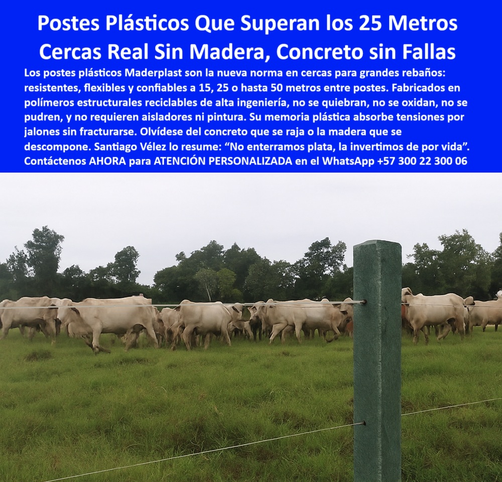 Cercas exteriores Cercados De Linderos Poste Plástico Dividir Separar Fincas Maderplast 0 poste plástico eléctrico Linderos Qué postes no se pudren ni necesitan mantenimiento Linderos p00 poste plástico resistente para dividir potreros, - poste plástico para dividir potreros con ganado, - poste-plastico-linderos-25-metros-finca-el-zorrillo.jpg, - poste sólido que no se pudre ni se parte, - ¿Qué poste de plástico es mejor que el concreto?, - poste ecológico de alta ingeniería rural, - poste-sin-pintura-ni-oxidación, - poste-para-cerca-eléctrica-ganadera, - poste que no se oxida ni requiere pintura, - poste rígido que no se deforma con jalones, - Poste sin óxido ni pintura tras años de instalación, - La imagen muestra un poste plástico Maderplast instalado en la finca El Zorrillo de Rocío Zapata, en Girardot, Cundinamarca, con más de 20 metros de separación respecto al siguiente poste, lo que demuestra su resistencia estructural sin necesidad de soporte intermedio. Diseñados para grandes rebaños, los postes Maderplast permiten construir cercas ganaderas sin concreto ni madera, eliminando problemas de pudrición, fractura, óxido o mantenimiento. Su polímero técnico reciclado resiste lluvias, calor, tensión del alambre y embestidas sin deformarse. Este sistema sustituye con eficacia el uso de postes convencionales, ahorra hasta un 70 % en materiales y mano de obra, y ofrece una solución ecológica y rentable que permanece intacta por décadas. Su memoria plástica permite soportar jalones sin partirse, y su instalación es limpia y precisa, ideal para linderos rurales, potreros extensos y divisiones eléctricas modernas. Maderplast convierte su inversión en una cerca firme, estética y para toda la vida. Con Maderplast, invierta una vez, disfrute para siempre., - ¿Cuál poste sirve para dividir fincas grandes?, - poste eléctrico con separación de 25 metros, - poste-sin-mantenimiento-ni-reemplazo, - poste-tecnológico-para-fincas, - poste para ganadería intensiva con mínima inversión, - poste de polímero estructural para linderos rurales, - poste reciclado para dividir fincas sin oxido, - poste-plástico-de-larga-duración, - poste tecnificado para proyectos rurales, - poste-para-reemplazar-madera-y-concreto, - poste económico para uso ganadero prolongado, - poste para cercas de más de 20 metros, - poste sin pintura ni aisladores para potrero, - poste que reemplaza concreto y madera sin falla, - poste-plástico-para-linderos-grandes, - poste de polímero para cercas definitivas, - ¿Qué poste para cerca eléctrica no se oxida?, - poste firme para terrenos planos o irregulares, - poste resistente para rebaños grandes en zonas húmedas, - poste de uso permanente en cercas agrícolas, - poste plástico estructural para zonas ganaderas, - poste para cercas con más de 20 metros de distancia, - Poste plástico Maderplast firme en finca ganadera de Girardot, - Cerca eléctrica con separación superior a 20 metros, - poste plástico anti humedad sin mantenimiento, - División de ganado con postes plásticos reciclados, - Poste firme y recto en pastizales húmedos sin deformación, - poste confiable para cercas visibles desde lejos, - poste plástico para cercas ecológicas y rentables, - ¿Dónde comprar postes durables para linderos?, - poste con memoria plástica para tensión ganadera, - poste-para-linderos-de-ganado, - poste de cerca sin pintura ni pudrición, - Poste único visible en imagen por distancia de instalación, - Cercado para rebaños con poste de alta ingeniería, - poste-de-polímero-resistente, - poste-instalado-en-finca-de-Girardot, - Poste reciclado en finca El Zorrillo Rocío Zapata, - poste plástico para linderos agrícolas sin mantenimiento, - Poste visible entre pasturas verdes de alto rendimiento, - ¿Qué poste aguanta 20 metros sin caerse?, - Cercado de potrero amplio con postes sin mantenimiento, - poste para cercas de ganado sin reemplazo, - poste técnico sin deterioro para linderos, - poste eléctrico para grandes distancias entre cercas Cercas exteriores Cercados De Linderos Poste Plástico Dividir Separar Fincas Maderplast 0 poste plástico eléctrico Linderos, - Qué postes no se pudren ni necesitan mantenimiento Linderos, - p00