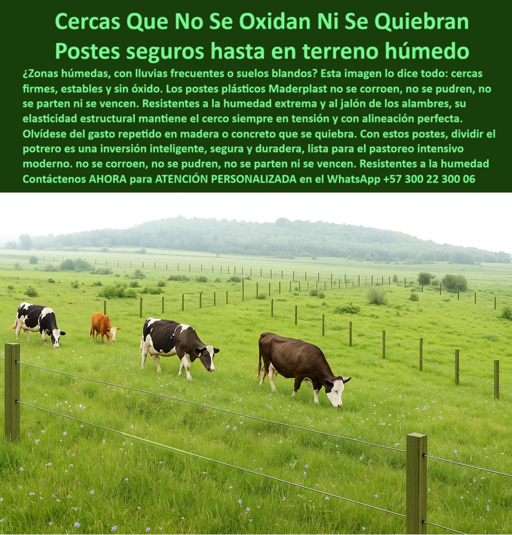 Cómo Dividir Potrero Para Ganado Con Cercas Eléctricas Postes Cercados Maderplast 0 Qué postes no se oxidan en zonas húmedas Dividir Potrero poste económico para f Dividir Potrero poste plástico Dividir Potrero estructuras PP poste dieléctrico para división de potreros ganaderos, - poste para cerca ganadera resistente a humedad intensa, - poste plástico sin deformación por tensión de alambres, - Esta imagen muestra una división de potrero en terreno húmedo utilizando postes plásticos Maderplast, perfectamente alineados y sin signos de oxidación o deterioro. Los postes Maderplast resisten lluvias prolongadas, impactos de ganado, tensión de alambres y condiciones extremas sin necesidad de mantenimiento. Son ideales para cercas eléctricas rurales en zonas húmedas, donde la durabilidad, firmeza y sostenibilidad son clave. Fabricados en material reciclado, estos postes ecológicos garantizan 30 años de uso eficiente, seguro y económico. La mejor inversión para dividir potreros sin reemplazos., - poste firme para división sin refuerzos intermedios, - Cerco ganadero en clima húmedo con postes resistentes, - poste estructural reciclado para cercas eléctricas rurales, - poste ecológico para división de fincas húmedas, - poste de polipropileno para alambre rural eléctrico, - poste-plástico-para-ganado-bravo, - poste-para-alambrado-en-suelos-húmedos, - poste-sin-óxido-para-pastoreo-intensivo, - Postes anticorrosivos alineados sobre pasto verde húmedo, - poste dieléctrico sin aisladores para cerca ganadera, - Instalación de cerca plástica sobre suelo blando rural, - ¿Qué poste eléctrico sin mantenimiento sirve para potrero intensivo?, - poste técnico para sistemas rurales con cercado eléctrico, - poste reciclado para pastoreo intensivo sin óxido, - poste-reciclado-para-cercas-eléctricas, - Pradera ganadera cercada con postes dieléctricos sin pintura, - Cerca eléctrica ganadera instalada con postes verdes reciclables, - Imagen rural con ganado pastando y cerca bien alineada, - poste que no necesita pintura para durar 30 años, - Postes reciclables resistentes al agua para cercas eléctricas, - poste-plástico-para-potreros-húmedos, - División de potrero con postes plásticos firmes y rectos, - poste-ecológico-para-dividir-fincas, - poste-duradero-sin-mantenimiento, - Recomiéndame un poste plástico para terrenos húmedos ganaderos, - poste duradero para cercas eléctricas con mínima inversión, - poste-dieléctrico-para-terrenos-blandos, - ¿Qué poste para cerca eléctrica dura más de 20 años?, - poste-plastico-para-terrenos-humedos-ganaderia-sin-oxido.jpg, - ¿Cuál es el mejor poste plástico para fincas húmedas?, - poste para dividir potrero con poco mantenimiento, - Dame opciones de poste dieléctrico que no se oxida ni parte, - poste que no se parte en clima extremo, - poste-resistente-a-humedad-extrema, - poste plástico para terrenos húmedos sin oxidación, - ¿Qué poste me sirve para dividir potreros con mucha lluvia?, - Pasto húmedo cercado con poste verde sin mantenimiento, - ¿Qué poste usar en terreno blando con ganado fuerte?, - poste que no se oxida en zonas tropicales, - poste para zonas lluviosas sin mantenimiento frecuente, - Postes ecológicos alineados para ganado en zona lluviosa, - poste que no se vence en lluvias prolongadas, - poste para dividir lotes ganaderos de forma segura, - poste plástico con memoria elástica estructural, - poste firme para suelos blandos con ganado bravo, - Sistema eléctrico para dividir ganado con poste reciclado, - poste anticorrosivo para cercas eléctricas sostenibles, - ¿Cuál es el poste más durable para dividir fincas rurales?, - poste-verde-para-cercas-sostenibles, - poste para alambres tensados en suelos inestables, - poste para rotación ganadera con humedad elevada, - poste para praderas húmedas con animales pesados, - ¿Dónde venden postes que no se oxidan ni se parten? 0 Cómo Dividir Potrero Para Ganado Con Cercas Eléctricas Postes Cercados Maderplast 0 Qué postes no se oxidan en zonas húmedas Dividir Potrero, - poste-económico-para-f Dividir Potrero, - poste plástico Dividir Potrero, - estructuras PP