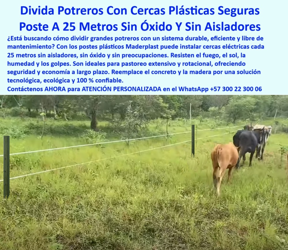 División De Potreros Grandes Extensiones Pastoreo Extensivo A 25 Metros Maderplast 0 cercas duraderas sin riesgo de óxido cómo montar una cerca eléctrica resistente y duradera cercas con seguridad contra incendio instalación poste plástico instalado en fincas de Puerto Gaitán, - Instalación de poste reciclado en zona rural extensa, - poste reciclable ecológico para ganadería moderna, - Recomiéndame poste ignífugo para zonas de incendios agrícolas, - poste-para-potreros-extensos, - poste Maderplast para fincas en extensión de sabana, - poste-plástico-sin-óxido, - poste para ganado bravo con tensión firme constante, - poste para potrero con alambre eléctrico a 25 metros, - Poste Maderplast en finca de Puerto Gaitán Meta, - ¿Qué poste sirve para dividir potrero cada 25 metros?, - poste-maderplast-puerto-gaitán, - poste de cerca funcional sin necesidad de concreto, - Dame un poste plástico sin aisladores para cerca eléctrica, - poste agrícola resistente al fuego y a las lluvias, - poste-plástico-sin-aisladores, - Poste reciclado sin mantenimiento instalado en sabana, - poste sin aisladores para baja rotura por animales, - ¿Qué poste puedo usar para cercas sin aisladores?, - poste para instalar cerca eléctrica sin herramientas, - poste sin aislador para cercas eléctricas eficientes, - La imagen muestra una cerca eléctrica instalada con postes plásticos Maderplast en una finca de Puerto Gaitán, Meta, donde el clima húmedo y el calor exigen máxima resistencia. Los postes Maderplast se usan a 25 metros sin aisladores ni concreto, ofreciendo una solución sin óxido, sin mantenimiento, ignífuga y confiable por décadas. Ideales para pastoreo extensivo y rotacional, son reciclables, seguros y evitan gastos en pintura, reemplazos o aisladores. Un sistema probado en sabanas colombianas, con tecnología que garantiza ahorro y durabilidad real., - poste plástico para reemplazar concreto o madera, - Poste plástico sin aislador en cerca eléctrica rural, - poste de alta durabilidad sin costos de reposición, - poste-para-pastoreo-rotacional, - poste-sin-concreto-ni-pintura, - poste reciclado resistente a humedad y rayos UV, - poste plástico sin pintura ideal para clima tropical, - Poste estructural en finca colombiana ganadera moderna, - ¿Cuál es el mejor poste para ganado en sabanas húmedas?, - poste para división de fincas con seguridad eléctrica, - Poste plástico firme para pastoreo intensivo de ganado, - poste-reciclado-para-ganado, - ¿Qué poste resiste incendios y humedad al mismo tiempo?, - poste-plastico-electrico-sin-aisladores-puerto-gaitan-maderplast.jpg, - poste con fijación segura en suelos blandos y duros, - poste para pastoreo rotacional en zonas húmedas, - poste que evita cortocircuitos y oxidación por humedad, - poste verde camuflado en paisaje ganadero colombiano, - Ganado en potrero cercado con postes ecológicos verdes, - poste plástico ganadero sin mantenimiento ni óxido, - poste-resistente-a-incendios, - poste dieléctrico sin aisladores para cercas eléctricas, - ¿Qué poste funciona mejor para ganado bravo y húmedad?, - ¿Dónde comprar postes plásticos para potreros extensos?, - División de potreros extensos con postes Maderplast, - poste-plástico-para-fincas, - poste-eléctrico-a-25-metros, - Poste plástico que resiste fuego, humedad y rayos UV, - ¿Qué poste puede soportar tensión eléctrica en suelos blandos?, - poste plástico sólido para cercas rotacionales largas, - poste estructural para potreros sin riesgo de oxidación, - poste plástico ignífugo resistente a incendios forestales, - Cerca eléctrica sin aisladores ni oxidación con poste, - poste apto para incendios controlados en potreros, - Muéstrame postes instalados en fincas reales de Colombia 0 División De Potreros Grandes Extensiones Pastoreo Extensivo A 25 Metros Maderplast 0 cercas duraderas sin riesgo de óxido, - cómo montar una cerca  eléctrica resistente y duradera, - cercas-con-seguridad-contra-incendio, - instalación