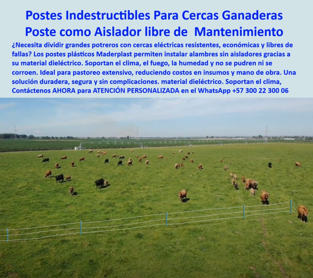 División De Potreros Grandes Extensiones Pastoreo Extensivo A 25 Metros Maderplast 0 instalación de alambre sin aisladores cercas con postes indestructibles poste bajo costo ganadero postes dieléctricos sin necesidad de aislar postes dieléctricos para potreros extensos, - poste que no se tuerce por tensión del alambre, - poste verde que se mimetiza en el cultivo, - poste-plástico-ganadero, - Esta imagen muestra una instalación real en Sabanagrande, Atlántico, Colombia, donde los postes plásticos Maderplast funcionan como aisladores integrados sin necesidad de componentes adicionales. Gracias a su material dieléctrico, los postes Maderplast soportan el clima extremo, el fuego, la humedad y el peso del ganado, sin oxidarse ni requerir mantenimiento. Son ideales para dividir potreros grandes y pastoreo rotacional con eficiencia y durabilidad. Tecnología confiable que reemplaza madera, acero y concreto., - ¿Cómo instalar cerca eléctrica con postes plásticos?, - poste sin mantenimiento para ganadería tropical, - recomendaciones de postes ganaderos para zonas tropicales, - poste plástico liviano con máxima firmeza, - poste-resistente-clima-húmedo, - Cerca ganadera eficiente con postes Maderplast desde dron, - Instalación profesional de postes sin mantenimiento visibles, - poste que funciona como aislador eléctrico, - poste-fácil-de-instalar, - Instalación de postes sin aisladores en la Costa Atlántica, - poste para cerca eléctrica sin aisladores, - Ganado pastando en finca dividida con postes plásticos, - poste-sin-mantenimiento-rural, - Poste dieléctrico para cercas eléctricas en sabanas húmedas, - poste-sabanagrande-maderplast, - División de potreros grandes con postes plásticos reciclados, - poste para dividir praderas en clima extremo, - ¿Qué poste sirve para cercas eléctricas sin aisladores?, - poste-económico-para-fincas, - dame el mejor poste para cerca eléctrica sin aislador, - poste con alta durabilidad sin reemplazos, - poste dieléctrico que soporte tensión sin romperse, - poste para fincas tecnificadas sin aisladores, - ¿Dónde venden postes que no se pudren ni oxidan?, - poste económico que no se oxida ni se pudre, - poste estructural plástico para grandes potreros, - postes-plasticos-maderplast-sin-aisladores-ganaderia-sabanagrande.jpg, - ¿Qué poste se puede usar en clima húmedo con ganado?, - poste ideal para cercas en la costa atlántica, - poste resistente para zonas costeras húmedas, - poste reciclado para pastoreo intensivo, - Cerca eléctrica sin aisladores con postes de alta resistencia, - poste ecológico para dividir potreros sin concreto, - ¿Cuál es el mejor poste para dividir potreros grandes?, - poste dieléctrico ideal para sabanas ganaderas, - Cercado ganadero extensivo con postes Maderplast azules, - poste plástico duradero para ganadería extensiva sin mantenimiento, - Postes azules de polímero en campo abierto sin oxidación, - poste que soporta ganadería de alta rotación, - poste-para-cerca-eléctrica, - poste seguro para proyectos ganaderos grandes, - poste ecológico libre de mantenimiento constante, - poste que reemplaza la madera en zonas húmedas, - poste fácil de instalar sin herramientas especiales, - poste-para-potreros-extensos, - poste para ganado que resiste golpes y clima, - poste para finca con separación de 25 metros, - Poste plástico sin aislador en potrero con ganado tropical, - poste sin aislador para cercas eficientes, - poste-dieléctrico-sin-aislador, - poste plástico ganadero para clima cálido, - poste-reciclado-para-ganadería 0 División De Potreros Grandes Extensiones Pastoreo Extensivo A 25 Metros Maderplast 0 instalación de alambre sin aisladores, - cercas-con-postes-indestructibles, - poste bajo costo ganadero, postes dieléctricos sin necesidad de aislar