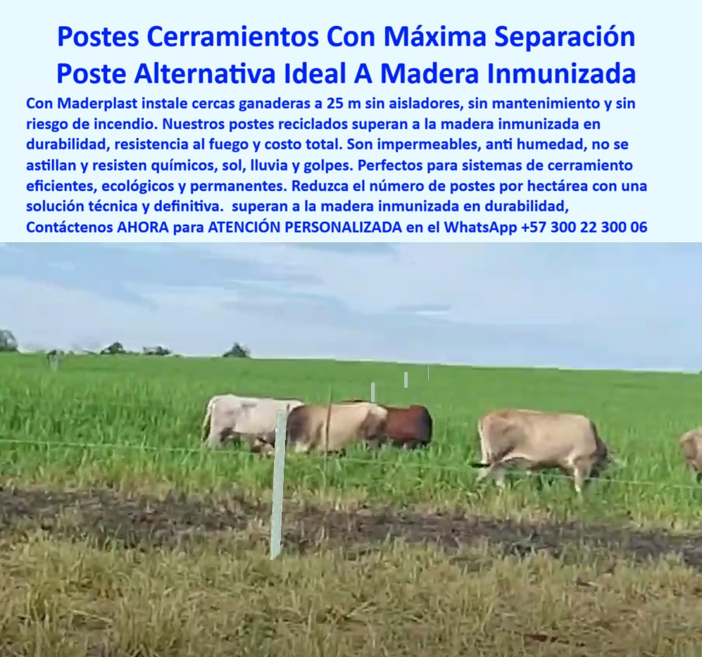 División De Potreros Grandes Extensiones Pastoreo Extensivo A 25 Metros Maderplast 0 postes cerramientos con máxima separación Cuál es la mejor alternativa a la madera inmunizada postes sistemas de cerramiento anti combustión fuego Mejores postes para finca sostenible tropical, - postes-reciclados-para-ganadería, - Poste plástico firme para pastoreo extensivo, - Poste plástico sin aislador instalado a 25 metros, - Cerca ganadera ecológica en Puerto Gaitán Meta, - Cómo instalar cerca sin concreto ni aisladores, - poste resistente a fuego humedad y termitas, - Instalación sencilla sin herramientas en campo, - poste alternativo a la madera inmunizada ganadería, - sistema de cerramiento sin aisladores cada 25 metros, - postes reciclados para cercas sin mantenimiento, - cerca económica con postes de larga duración, - poste-liviano-y-resistente, - Poste de larga duración para ganadería extensiva, - Alternativas ecológicas a la madera inmunizada en cercas, - ganadería-sostenible-en-colombia, - sistema-de-cerramiento-rural, - alternativa-a-la-madera-inmunizada, - Alternativa a madera inmunizada instalada en finca real, - poste-plastico-sin-aislador-25-metros-fazenda-puerto-gaitan.jpg, - poste plástico para suelos húmedos o fangosos, - ¿Hay postes que aguanten humedad y fuego?, - poste dieléctrico para cerco sin aisladores, - poste-anti-fuego-para-cerca, - solución ganadera sostenible sin madera ni concreto, - cerca para ganado con postes plásticos impermeables, - ¿Postes ganaderos que duren toda la vida?, - ¿Qué poste puedo usar en vez de madera inmunizada?, - Cerramiento eficiente sin madera ni concreto, - Desde la Finca La Fazenda en Puerto Gaitán, Meta, Colombia, este sistema de cerramiento demuestra cómo los postes plásticos dieléctricos superan a la madera inmunizada. Resistentes al fuego, humedad y químicos, se instalan a 25 metros sin aisladores, sin romperse ni oxidarse. Esta es la solución definitiva y sostenible para ganaderos tecnificados que buscan reducir costos y maximizar eficiencia., - postes plásticos para reemplazo de madera inmunizada, - poste para reducir costos en mantenimiento rural, - Cerramiento con poste reciclado duradero y ecológico, - Cerco firme visible con distancias largas entre postes, - ¿Cuál es el mejor poste para cercas sin mantenimiento?, - cerramientos ecológicos sin tratamientos químicos, - poste-plástico-para-potreros, - Poste sin mantenimiento en sabana colombiana, - cerramiento eficiente para grandes extensiones rurales, - cercas duraderas en clima cálido húmedo, - ¿Cómo cercar a 25 metros sin aisladores?, - poste seguro para zonas de alto riesgo de incendio, - cerramientos-para-grandes-extensiones, - cerca para finca tecnificada en sabana tropical, - postes para ganadería extensiva sin reposición, - cercas-sin-mantenimiento-extensivo, - Poste resistente a clima extremo y animales, - cercas para finca sin mantenimiento por décadas, - postes reciclables con alta resistencia estructural, - instalación de postes sin herramientas especiales, - cercado-a-25-metros-entre-postes, - Ganado contenido con postes resistentes al fuego, - cómo instalar cerca a 25 metros entre postes, - postes que no se parten ni necesitan pintura, - cómo dividir potrero con pocos postes, - poste ligero que soporta tensión de alambre, - postes ganaderos que no se astillan ni oxidan 0 División De Potreros Grandes Extensiones Pastoreo Extensivo A 25 Metros Maderplast 0 postes cerramientos con máxima separación, Cuál es la mejor alternativa a la madera inmunizada, postes sistemas de cerramiento anti combustión fuego