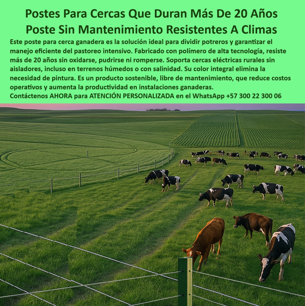 División profesional de cerca ganadera postes pastoreo postes ganaderos Maderplast 0 poste para cerca resiste más de 20 años instalación ganadera con postes sin mantenimiento instalación cercas eléctricas rurales postes División poste para cerca rural sin inversión recurrente, - poste que no se pudre en terrenos húmedos, - poste para cerca ganadera sin óxido ni pintura, - poste-que-dura-20-años, - poste sostenible para cercas de gran extensión, - Postes duraderos alineados sobre potreros de pasto limpio, - poste-reciclado-alta-resistencia, - poste para sistemas intensivos de producción animal, - Vista aérea de potreros con postes para cercas sostenibles, - poste-agropecuario-sin-óxido, - Postes plásticos alineados en terrenos rurales planos, - poste-tecnificado-para-ganado, - Ganadería moderna usando polímeros técnicos reciclables, - Poste ecológico para ganadería extensiva en sabanas tropicales, - poste-sin-pintura-ni-mantenimiento, - poste técnico ideal para climas extremos y salinos, - poste plástico rural resistente al clima sin mantenimiento, - poste con más de 20 años de duración probada, - Tensión uniforme de cerca con postes plásticos sin aislador, - poste verde ecológico para proyectos agrícolas, - poste con soporte firme para tensión de alambre, - Sistema de división ganadera rural con postes sin pintura, - Ganado pastando entre postes de cercas eléctricas modernas, - poste dieléctrico sin aisladores para cercas eléctricas, - Cerca verde con postes instalados a gran distancia entre sí, - poste sin mantenimiento para climas tropicales y salinos, - poste para ganadería extensiva de alta eficiencia, - poste rural ideal para grandes rebaños, - poste-para-climas-salinos-húmedos, - poste confiable para separación de ganado sin reemplazo, - poste-para-potreros-extensivos, - ¿Cuál es el mejor poste para electrificar cercas rurales?, - cercado ecológico con postes duraderos sin pintura, - poste-ganadero-duradero-potreros-puerto-gaitan-menonitas.jpg, - poste de alta tecnología para cercas eléctricas rurales, - poste verde para cerca de ganado extensivo sin óxido, - poste resistente al impacto de maquinaria agrícola, - poste estable para terrenos blandos o inclinados, - Finca menonita tecnificada con postes plásticos en Puerto Gaitán, - poste plástico técnico para electrificación ganadera, - cerca con poste reciclado para pastoreo intensivo, - ¿Cuál es el poste más resistente para ganado?, - poste con memoria estructural que no se deforma, - poste-plástico-para-ganadería, - poste rural resistente para potreros de gran escala, - poste ligero y duradero para finca tecnificada, - poste-ecológico-rural-resistente, - poste plástico para sistemas agropecuarios modernos, - La imagen capturada desde un dron en una finca de colonos menonitas en Puerto Gaitán, Meta, muestra una instalación tecnificada de cercas ganaderas con postes plásticos de alta ingeniería, diseñados para durar más de 20 años sin oxidarse, pudrirse ni requerir pintura. Estos postes permiten divisiones de pasto amplias, eficientes y limpias, optimizando la rotación del ganado en sistemas de pastoreo intensivo o extensivo. Gracias a su resistencia estructural, son aptos para terrenos húmedos, salinos o de alta presión animal. Están fabricados en polímero reciclado con color integral, lo que elimina el mantenimiento estético y técnico. Son ideales para la electrificación rural sin aisladores, maximizando la seguridad del ganado y reduciendo los costos operativos. Con su forma sólida y uniforme, representan una solución confiable para agricultores que buscan eficiencia y retorno de inversión sostenible. Este tipo de cerca transforma el paisaje y profesionaliza la ganadería, como lo demuestra el ejemplo real de esta comunidad., - ¿Qué tipo de poste no necesita pintura ni reemplazo?, - ¿Qué poste funciona en climas húmedos o salinos?, - poste para dividir potreros intensivos con eficiencia, - poste con color integral sin decoloración, - poste reciclable ideal para pastoreo rotacional, - poste-instalación-intensiva-ganadera, - ¿Qué poste dura más de 20 años para potreros?, - poste diseñado para mejorar productividad rural 0 División profesional de cerca ganadera postes pastoreo postes ganaderos Maderplast 0 poste para cerca resiste más de 20 años, - instalación ganadera con postes sin mantenimiento instalación cercas eléctricas rurales, - postes División
