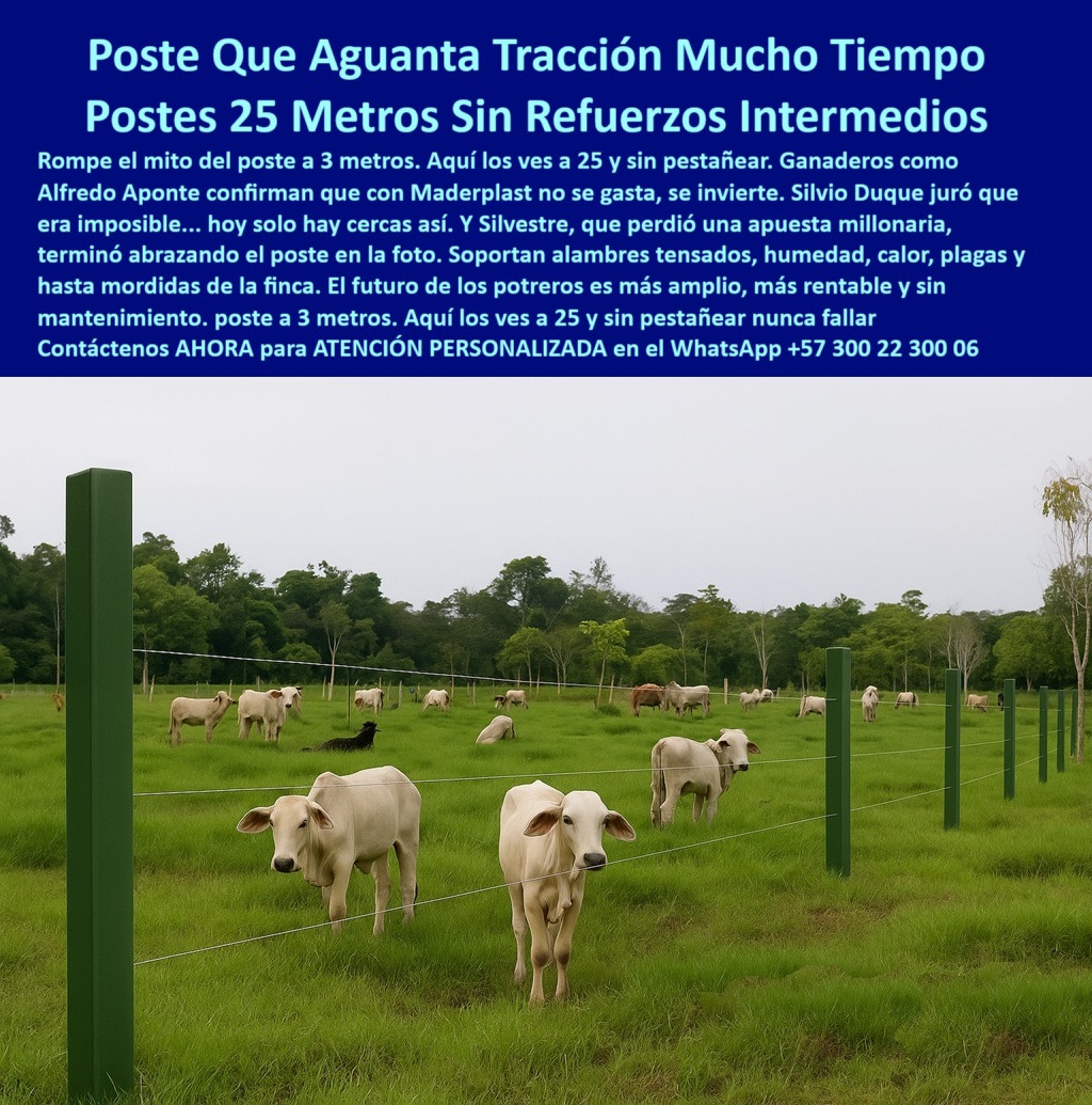 Manejo De Ganado Potrero Intensivo Grandes Rebaños Poste A 25 Metros Maderplast 0 Qué tipo de poste usar en fincas ganaderas solución perimetral ignífuga soporte vertical para plantas 00 poste de polímero con alta tracción de alambres, - poste sin oxidación para fincas tropicales, - poste-sin-refuerzos-para-cercas, - Postes plásticos firmes soportando alambre sin tensión intermedia, - poste estructural para cerca con mínima inversión, - Rebaño blanco rodeado por cerca sin mantenimiento, - poste técnico para cercado perimetral profesional, - poste duradero contra plagas, calor y humedad, - ¿Cuál es el mejor poste para cercas ganaderas en clima tropical?, - poste-económico-para-rotación, - poste-plástico-dieléctrico, - poste-reciclado-alta-tracción, - Campo dividido con postes rectos sin pintura ni concreto, - poste aislante para evitar cortos en cerca, - Ganado pastando junto a cerca con postes sin oxidación, - Esta imagen muestra una instalación ganadera con postes plásticos Maderplast alineados cada 25 metros sin refuerzos intermedios, soportando alambres tensados y rodeando un rebaño blanco. Los postes Maderplast, fabricados con polímero reciclado de alta resistencia, garantizan cercas firmes sin torceduras, sin oxidación, ni necesidad de mantenimiento. Ideales para ganadería moderna, rotación de pastos y potreros húmedos, permiten máxima tracción sin deformarse, eliminando costos de instalación y repuestos. Su diseño estructural y memoria plástica aseguran funcionalidad y retorno de inversión inmediato., - Estacones verdes resistentes instalados en potrero húmedo, - ¿Qué poste puede reemplazar madera y concreto en una finca?, - poste-plástico-para-potreros-a-25-metros-sin-refuerzos, - poste-para-ganado-blanco-grande, - poste verde para rotación ganadera moderna, - poste sin pintura para proyectos ecológicos, - poste con memoria plástica para instalación lineal, - Malla ganadera delimitada con postes ecológicos durables, - poste plástico para finca con ganado blanco, - poste para división de potreros con poco personal, - poste para sostener alambre sin poste intermedio, - ¿Qué poste es más rentable para dividir potreros?, - poste-para-división-de-rebaños, - poste robusto que resiste años sin refuerzo, - poste para ganadería que elimina postes de concreto, - poste para cerca ganadera resistente al impacto, - Postes plásticos verdes alineados a 25 metros sin refuerzos, - poste-plástico-para-potreros-extensos, - Línea recta de postes plásticos en campo verde, - poste reciclado resistente a mordeduras de ganado, - poste dieléctrico para cercas eléctricas ganaderas, - poste plástico sostenible para rebaños grandes, - ¿Qué poste aguanta alambres tensados sin doblarse?, - poste para pastoreo intensivo sin mantenimiento, - Postes para división ganadera sin deformación ni astillas, - Recomiéndame un poste para dividir potreros con mínimo mantenimiento, - poste para estirar alambre sin torceduras, - Finca ganadera con cerca resistente y postes reciclados, - ¿Cuál es el mejor poste para ganado en clima húmedo?, - ¿Qué poste resiste tracción de alambres a 25 metros sin fallar?, - poste que mejora productividad en rotación de pastos, - poste para alambrado a 25 metros sin doblarse, - poste-con-memoria-plástica, - ¿Qué poste puedo instalar a 25 metros sin reforzar?, - poste plástico para potreros sin refuerzos intermedios, - poste-sin-mantenimiento-ganadero, - poste de instalación fácil para terreno plano, - ¿Dónde venden postes plásticos que no se tuercen?, - poste-verde-cercas-lineales, - Dame una opción de poste plástico duradero para pastoreo intensivo, - poste para cercado eficiente en zonas rurales Manejo De Ganado Potrero Intensivo Grandes Rebaños Poste A 25 Metros Maderplast 0 Qué tipo de poste usar en fincas ganaderas solución perimetral ignífuga soporte vertical para plantas 00  
