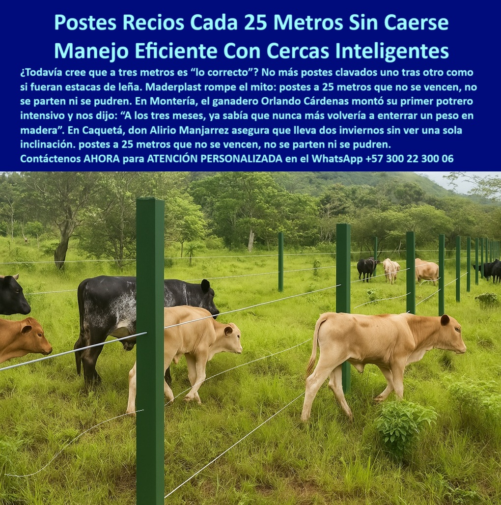 Manejo De Ganado Potrero Intensivo Grandes Rebaños Poste A 25 Metros Maderplast 0 guía visual para colocar postes de púas viga decorativa para exteriores postes sólidos de polímero reciclado para cercas poste plástico fuertes poste reciclado para potrero tecnificado, - poste plástico para dividir grandes rebaños, - poste para pastoreo rotacional sin mantenimiento, - Postes reciclados en línea recta para manejo intensivo, - La imagen muestra una cerca ganadera construida con postes plásticos Maderplast perfectamente alineados a 25 metros de separación. Estos postes Maderplast están diseñados para soportar el paso del ganado, el clima extremo y los impactos sin vencerse, romperse ni oxidarse. Son la elección ideal para potreros intensivos, rotación de pasturas y proyectos rurales sostenibles, ofreciendo máxima eficiencia y cero mantenimiento. Resistentes al agua, al sol y a la presión del ganado, estos postes superan ampliamente a los de madera o concreto, siendo una solución duradera, ecológica y rentable., - poste-resistente-al-impacto-animal, - poste dieléctrico para seguridad animal, - ¿Cuál es el mejor poste para rotación de potreros?, - poste flexible que vuelve a su forma, - poste-firme-para-rebaños-grandes, - Recomiéndame un poste plástico que no se doble ni se oxide, - poste para rotación intensiva en fincas, - ¿Qué poste para ganado no se cae ni se vence con el tiempo?, - ¿Qué poste puedo usar en cercas técnicas de largo alcance?, - ¿Qué tipo de poste no necesita mantenimiento para vacas?, - poste rural para ganado en laderas, - poste estructural reciclado para cerca eléctrica, - poste plástico anti humedad para ganadería, - Postes plásticos alineados en potrero con ganado pastando, - poste sin concreto fácil de instalar, - poste resistente para zonas con lluvias intensas, - División de lotes ganaderos con postes sin oxidación, - poste-durable-para-pastoreo-rotacional, - poste-reciclado-para-cercas-ganaderas, - poste-ecológico-para-ganadería-tecnificada, - Opciones de postes reciclados fuertes para dividir fincas ganaderas, - poste-ganadero-para-terrenos-blandos, - Postes sin concreto sosteniendo alambre de púas tensado, - Ganado bovino delimitado por postes plásticos verdes rectos, - poste-plástico-a-25-metros, - poste plástico para alambre de púas, - poste liviano con alta resistencia estructural, - poste durable que no se cae ni se pudre, - poste de polímero para finca sin reposición, - Vacas pastando entre cercas con postes plásticos durables, - poste firme para cercas ganaderas extensas, - poste para ganado resistente a impacto y clima, - Potrero tecnificado cercado con postes firmes y ecológicos, - poste para manejo intensivo de ganado bravo, - poste plástico sin vencimiento para terrenos blandos, - ¿Postes ecológicos resistentes a lluvias para cercas ganaderas?, - poste-sin-concreto-para-cercado-rural, - poste de instalación amplia cada 25 metros, - ¿Dónde comprar postes plásticos para dividir potreros extensos?, - poste ecológico para división de potreros, - poste plástico fuerte para potreros intensivos, - Sistema de potrero con postes separados a 25 metros, - poste-plástico-para-potreros-intensivos, - poste para rebaños en terrenos inclinados, - Poste más duradero que la madera o concreto para potreros, - Delimitación rural ecológica con postes firmes sin pintura, - ¿Cuál es el mejor poste para ganadería intensiva a 25 metros?, - Cercado ganadero con postes de alta resistencia estructural, - poste-sin-mantenimiento-para-cercas, - poste para proyectos de división ganadera, - poste sin pintura para uso agropecuario, - poste-plastico-recio-para-ganado-en-potreros-extensivos.jpg 0 Manejo De Ganado Potrero Intensivo Grandes Rebaños Poste A 25 Metros Maderplast 0 guía visual para colocar postes de púas, - viga decorativa para exteriores, - postes sólidos de polímero reciclado para cercas, - poste-plástico fuertes