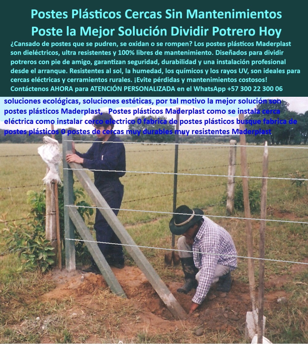 Paso A Paso Diseño Eficiente De Cercas Eléctricas Postes Dieléctricos Maderplast 0 Poste plástico instalado a 15 metros en potrero agrícola cercas eléctricas sin impacto ambiental negativo sistema de cercas móviles poste fuerte poste firme para alambres con instalación duradera, - Prueba real de poste en finca con pasto natural, - Esta imagen muestra la instalación real de un poste Maderplast con pie de amigo, tomada en la finca de los Caicedo, kilómetro 35 vía Puerto Gaitán, Meta. Los postes Maderplast permiten dividir potreros sin concreto, sin mantenimiento y sin oxidarse, incluso en suelos húmedos. Son ideales para cercas eléctricas seguras y ecológicas. Su resistencia comprobada al jalón, al clima y al tiempo los convierte en la inversión más rentable para el campo colombiano., - Poste dieléctrico reforzado soportando tensión sin grietas, - ¿Cómo instalar un poste para cerco con pie de amigo?, - poste sin aislador para cerca eléctrica de potrero, - ¿Qué poste aguanta jalones sin partirse?, - Campo agrícola cercado con postes ecológicos duraderos, - poste plástico dieléctrico que no se pudre, - ¿Dónde compro postes para potrero sin mantenimiento?, - poste para potrero que evita reemplazos costosos, - cerco-eléctrico-sin-óxido, - poste dieléctrico agrícola Maderplast finca Caicedo Meta, - poste que no se agrieta al recibir jalón, - pie-de-amigo-reforzado, - ¿Hay postes que no se oxiden ni se pudran?, - poste para cercas sin impacto ambiental negativo, - Estructura sólida en potrero con poste Maderplast, - poste-ecológico-para-ganadería, - poste para finca productiva con alta durabilidad, - poste-plástico-maderplast, - poste-dieléctrico-potrero, - finca-caicedo-puerto-gaitán, - Cerca ganadera profesional sin mantenimiento visible, - poste ganadero con ahorro en mano de obra, - Poste Maderplast recto instalado con alambre tenso, - poste estructural para cerco eléctrico sin oxidación, - Poste plástico con pie de amigo en finca de Meta Colombia, - poste-sin-concreto-ni-pintura, - poste-plastico-pie-de-amigo-meta-caicedo-maderplast.jpg, - poste plástico sólido para terrenos con humedad, - poste sólido sin taladro ni aisladores, - poste dieléctrico que no necesita pintura ni taladro, - poste que soporta tensión sin romperse ni doblarse, - Ganadero instalando poste sin taladro ni concreto, - poste para dividir potrero a 15 metros distancia, - poste plástico sin mantenimiento para potrero húmedo, - poste técnico con eficiencia probada por ganaderos, - poste agrícola instalado en finca en Puerto Gaitán, - instalación-poste-en-finca, - Postes plásticos sin oxidación instalados a 15 metros, - instalación de poste ganadero sin concreto, - ¿Qué poste usan en fincas en Puerto Gaitán?, - cerco-ganadero-sin-mantenimiento, - Pie de amigo anclado en terreno húmedo sin ceder, - poste plástico para finca con alambre de púas, - poste que aguanta jalones sin perder su forma, - poste de cerco con pie de amigo reforzado, - poste ecológico para ganadería en zonas agrícolas, - poste de 15 metros entre alambres para ganadería, - poste-para-división-de-potreros, - poste Maderplast instalado en finca Caicedo Meta, - poste plástico resistente a rayos UV y gorgojos, - poste económico sin mantenimiento para toda la vida, - poste seguro para uso intensivo con pie de amigo, - poste de arranque con pie de amigo reforzado, - poste sin mantenimiento para cercas eléctricas rurales 0 Paso A Paso Diseño Eficiente De Cercas Eléctricas Postes Dieléctricos Maderplast 0 Poste plástico instalado a 15 metros en potrero agrícola, - cercas eléctricas sin impacto ambiental negativo, - sistema de cercas móviles, poste fuerte
