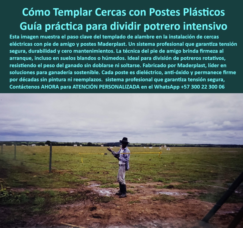 Paso A Paso Diseño Eficiente De Cercas Eléctricas Postes Dieléctricos Maderplast 0 cómo templar alambre Dónde venden postes dieléctricos para cercas en Neiva poste sin mantenimiento para terrenos rurales poste pie de amigo PP poste técnico que reduce repuestos en el campo, - Poste firme anclado con sistema de pie de amigo, - poste profesional para tensar cercas rurales, - ¿Cuál es el mejor poste para templar cercas con pie de amigo?, - poste-para-tensado-fuerte, - poste para templar cerca eléctrica de forma segura, - poste-reciclado-para-campo, - ¿Dónde comprar poste dieléctrico para zonas húmedas sin mantenimiento?, - poste-dieléctrico-de-templado, - poste ideal para proyectos de infraestructura rural, - Instalación de cercas técnicas con poste plástico robusto, - ¿Qué poste aguanta tensión y no se oxida en campo?, - poste-plástico-para-cercas-intensivas, - poste para potrero dividido con sistema técnico, - ¿Cómo templar alambre en una finca con postes plásticos?, - poste-sin-mantenimiento-para-potreros, - Campo abierto con postes técnicos instalados en húmedo, - poste verde técnico para potrero rotacional, - Buscar poste resistente al impacto para división rotacional de potrero, - ¿Qué poste es ideal para dividir potrero intensivo?, - poste-para-suelos-húmedos, - poste-para-cercas-electrificadas, - Línea de cercado profesional con poste dieléctrico verde, - poste sin agrietarse con peso de ganado, - poste sólido para ganadería sostenible y rentable, - Poste plástico para terrenos húmedos sin pintura ni concreto, - poste de cercado sin pintura ni brocas especiales, - poste innovador para cercas perimetrales productivas, - poste-para-división-con-pie-de-amigo, - poste dieléctrico que no se oxida ni se parte, - poste-para-sistemas-ganaderos, - poste dieléctrico para tensado de alambre en finca, - ¿Qué poste usar para arrancar una cerca con pie de amigo?, - poste que garantiza tensión perfecta en cercado, - poste con instalación rápida y sin errores, - Imagen de poste con pie de amigo instalado en finca, - poste resistente a climas extremos y fuerza animal, - poste plástico con pie de amigo para cercas intensivas, - Tensión de cercado rural con poste firme sin concreto, - Poste ecológico y dieléctrico que soporte tensión de ganado en finca, - Postes plásticos para cercas eléctricas tensadas en finca, - poste rural para suelos blandos o inclinados, - poste-plastico-dielectrico-pie-de-amigo-templado-de-cercas.jpg, - poste plástico firme sin pintura ni concreto, - poste estructural para cercas rotativas sin mantenimiento, - poste libre de corrosión para fincas productivas, - poste ecológico que resiste tensión de ganado bravo, - poste reciclado para división ganadera de alto rendimiento, - poste-de-alta-duración-rural, - poste de inicio con anclaje firme para tensión, - La imagen muestra el momento exacto en que un ganadero tensa alambre en una instalación de cerca eléctrica con poste plástico Maderplast y pie de amigo. Este sistema profesional garantiza firmeza desde el inicio, incluso en terrenos húmedos, sin oxidarse ni deformarse. Los postes Maderplast son dieléctricos, resistentes al impacto, y eliminan costos de mantenimiento. Su estructura robusta y forma cuadrada permiten alinear cercas perfectamente, ideales para potrero rotativo y ganadería técnica. Una solución ecológica y eficiente para productores que buscan largo plazo, seguridad y estética en el campo., - Poste cuadrado reciclado usado para potrero dividido, - poste firme para arranque de líneas eléctricas, - Recomiéndame un poste plástico para tensión de cercas eléctricas rurales, - poste con memoria plástica para mayor durabilidad, - Ganadero templando alambre con poste plástico Maderplast, - Ganadero trabajando con poste de alta resistencia plástica 0 Paso A Paso Diseño Eficiente De Cercas Eléctricas Postes Dieléctricos Maderplast 0 cómo-templar-alambre, - Dónde venden postes dieléctricos para cercas en Neiva, - poste sin mantenimiento para terrenos rurales, - poste-pie-de-amigo-PP