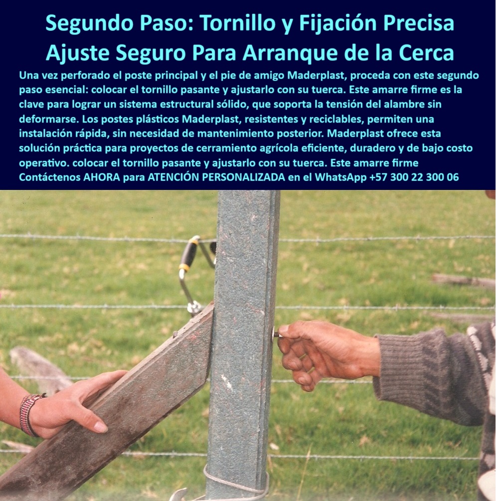 Paso A Paso Instalación Eficiente De Cercas Eléctricas Postes Dieléctricos Maderplast 0 cómo reducir costos en cercas de fincas soluciones en cercas para linderos agrícolas sistemas de cierre reciclado para potreros postes PP poste para estructura de alta tensión, - poste resistente para humedad y tensión, - poste plástico paso a paso, - poste para cercas eléctricas firmes, - instalación-de-cercas, - Sistema dieléctrico de cerramiento con soporte de tensión, - poste fácil de instalar con tuerca, - poste para instalar pie de amigo, - poste sin concreto para potreros, - ¿Dónde comprar postes plásticos para cercas agrícolas?, - poste sólido reciclado para fincas, - ¿Cómo se instala un poste con pie de amigo paso a paso?, - poste plástico instalación pie de amigo paso a paso, - poste que no se oxida ni deforma, - Fijación de poste agrícola con tornillo pasante firme, - poste reciclado para linderos agrícolas, - Poste técnico para cerramiento de potrero sostenible, - poste para fijación firme en cerca, - poste-plástico-con-tornillo, - tecnología para cercas eléctricas sostenibles y ecológicas, - poste con memoria plástica, - poste-dieléctrico-resistente, - poste-para-ganadería-intensiva, - poste para sistema de cercas técnicas, - Poste con alta resistencia a impacto y deformación, - Poste plástico con tuerca instalada para mayor firmeza, - poste sin aisladores eléctricos, - poste dieléctrico sin mantenimiento, - Instalación de cerca plástica con pie de amigo fijo, - poste plástico con tornillo pasante, - ¿Qué poste sirve para hacer cercas sin concreto?, - poste estructural sin pintura, - poste-pie-de-amigo, - Paso dos de instalación de cerca agrícola eficiente, - poste plástico Cajicá Cundinamarca, - ¿Cuál es el mejor poste para humedad y terrenos blandos?, - Poste sin aisladores eléctricos resistente a humedad, - ¿Cómo instalar cercas eléctricas en fincas con postes reciclados?, - Poste reciclado instalado en finca de Cajicá Cundinamarca, - poste-agricultura-sostenible, - estructura dieléctrica sin concreto para cercas rurales, - poste para instalación con tornillo, - poste-para-zonas-húmedas, - poste-plastico-fijacion-tornillo-cercas-electricas-cajica-maderplast.jpg, - poste Maderplast dieléctrico para linderos, - fijación de poste agrícola reciclado con tornillo, - poste confiable para largo plazo, - En la finca La Campiña, ubicada en Cajicá, Cundinamarca, se documenta el segundo paso esencial en la instalación de cercas eléctricas con postes plásticos Maderplast: la fijación firme del pie de amigo mediante un tornillo pasante ajustado con tuerca. Este punto de unión es clave para garantizar la integridad estructural del cercado, asegurando que la tensión del alambre no deforme el sistema ni lo saque de su eje. A diferencia de los postes tradicionales que requieren concreto o herramientas pesadas, los postes dieléctricos Maderplast ofrecen una alternativa rápida, ligera, resistente y libre de mantenimiento. Fabricados en polímero sólido con memoria plástica, no se oxidan, no se parten y no transmiten corriente, permitiendo una instalación limpia, segura y económica. Esta solución está comprobada en campo, optimizada para condiciones rurales exigentes, especialmente en terrenos húmedos y con alta carga ganadera. Maderplast ofrece tecnología de vanguardia para cerramientos agrícolas eficientes, con más de 150 fincas en Colombia que ya han transformado su manejo de potreros gracias a esta innovación ecológica, reciclable y de larga duración. Los postes Maderplast redefinen la forma de instalar cercas modernas., - poste-sin-mantenimiento, - poste-para-cercas-agrícolas, - poste para fincas ganaderas sostenibles, - poste plástico resistente para agricultura, - sistemas de cierre agrícolas con poste resistente, - poste-reciclado-fincas, - poste dieléctrico para ganadería intensiva, - Poste agrícola con fijación precisa sin concreto, - poste agrícola a bajo costo 0 Paso A Paso Instalación Eficiente De Cercas Eléctricas Postes Dieléctricos Maderplast 0 cómo reducir costos en cercas de fincas, - soluciones en cercas para linderos agrícolas, - sistemas de cierre reciclado para potreros, - postes PP