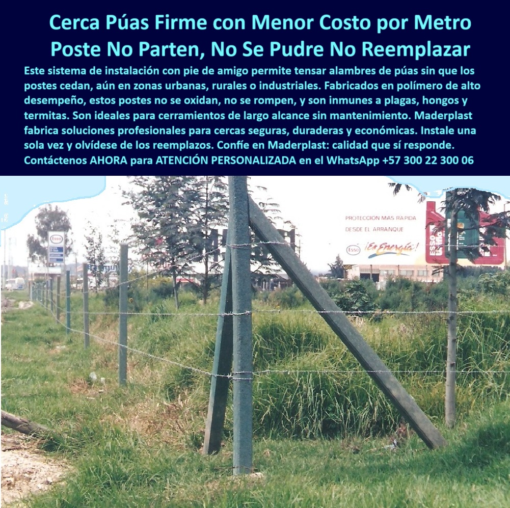 Pie De Amigo Poste De Arranque Poste De Puerta Postes De Broches Maderplast 0 poste libre de plagas y termitas para potreros tensado alambre eléctrico postes plásticos para cercas con tejido alternativa segura a postes de Pie poste sin herrumbre para ambientes agresivos, - poste sostenible visible por más de 30 años, - poste-pie-amigo-alambre-puas-30-años-cajicá-maderplast.jpg, - poste-libre-de-plagas-y-hongos, - poste-cerca-sin-mantenimiento, - poste plástico inmune a plagas, hongos y humedad, - poste sin reemplazo para cierre perimetral ganadero, - Poste de arranque plástico con pie de amigo sin mantenimiento, - poste-pie-de-amigo-plástico, - cerca económica con poste que no se parte ni astilla, - Poste sin deformación frente a jalones y humedad, - cercas-urbanas-y-rurales-resistentes, - Poste para alambre sin oxidación ni desgaste visible, - ¿Cómo instalar pie de amigo para tensar alambre?, - poste para sistemas de cerramiento con bajo costo, - ¿Qué poste funciona mejor en zona urbana y rural?, - poste inmune a plagas y humedad para potreros, - poste para cercas en vía pública sin deterioro, - poste para potrero resistente al paso del tiempo, - Cerramiento técnico con pie de amigo perfectamente funcional, - poste para cercas firmes con alambre de púas, - poste pie de amigo plástico sin oxidación ni pudrición, - poste de arranque para cercas industriales resistentes, - poste para ganado que no se cae ni se dobla, - poste para tensado de cercas rurales de larga duración, - Cercado urbano duradero con postes reciclables Maderplast, - poste plástico instalado hace 30 años sin fallas, - cercas con menor costo por metro lineal, - poste libre de mantenimiento para cerca ganadera, - poste para alambre de púas sin aisladores ni pintura, - Sistema de cercado urbano con alambre tenso y postes sólidos, - Postes firmes instalados hace 30 años aún en servicio activo, - poste-tecnología-maderplast, - cercado rural con postes sin mantenimiento, - sistema de pie de amigo para tensar cercas seguras, - postes duraderos para zonas urbanas y rurales, - poste-inquebrantable-con-tensores, - poste plástico para sistemas perimetrales firmes, - Poste que soporta tensión con diseño estructural confiable, - poste con memoria plástica para jalones extremos, - sistema de cercado técnico con poste reciclable, - pie de amigo para postes plásticos de cercas, - ¿Qué poste para cerca tiene más de 30 años de uso?, - cerca-con-alambre-de-púas-firme, - poste-alternativo-a-la-madera, - poste-plástico-sin-pintura-ni-óxido, - Postes sin pintura en ambiente de alta exposición urbana, - poste para alambre de púas en zona urbana, - La imagen evidencia una cerca con más de 30 años de instalada frente al conjunto Apocentos en la vía Cajicá–Bogotá, sin que los postes hayan necesitado mantenimiento, pintura o reemplazo. El sistema usa postes plásticos con pie de amigo, una solución técnica que asegura el tensado del alambre de púas sin que los postes cedan o se inclinen, incluso en zonas urbanas con alta exposición ambiental. Estos postes, fabricados en polímero estructural de alta ingeniería, son inmunes a la corrosión, plagas, hongos y fracturas. Su instalación garantiza estabilidad y estética profesional por décadas. Maderplast demuestra aquí que su tecnología no solo resiste el paso del tiempo, sino que también reduce costos operativos, mano de obra y materiales adicionales. Es la alternativa más sólida y confiable a los postes de concreto, madera inmunizada o metálicos. Postes que no se parten, no se pudren, no se reemplazan. ¡Y están a la vista de todos!, - poste estructural de alta ingeniería para ganadería, - ¿Qué poste para cerca no se oxida ni parte?, - alternativa a poste de madera o concreto quebrado, - Cerca urbana con postes plásticos rectos y bien alineados, - ¿Cuál es el poste que no necesita reemplazo?, - poste que no se raja ni se dobla en tensión, - poste-plástico-30-años-instalado, - poste estructural sin químicos para cerca eléctrica 0 Pie De Amigo Poste De Arranque Poste De Puerta Postes De Broches Maderplast 0 poste libre de plagas y termitas para potreros, - tensado alambre eléctrico, - postes plásticos para cercas con tejido, - alternativa segura a postes de Pie