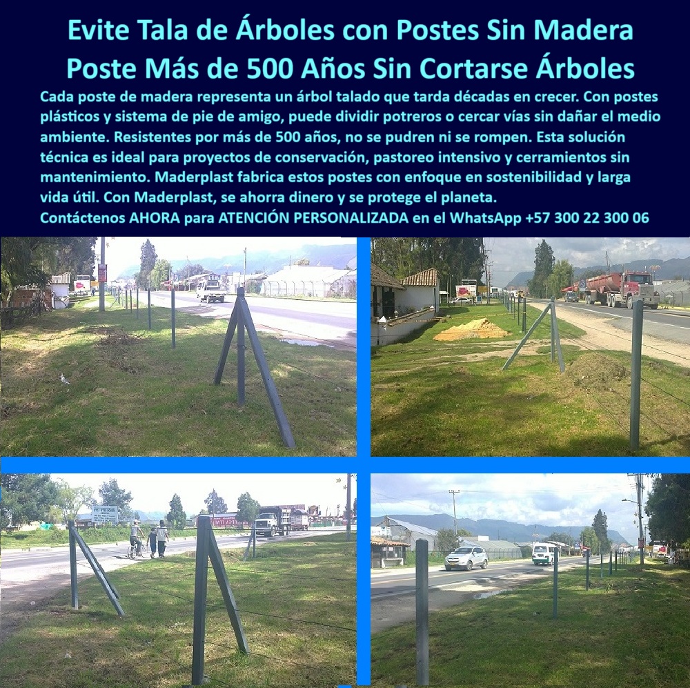 Pie De Amigo Poste De Arranque Poste De Puerta Postes De Broches Maderplast 0 poste plástico para pastoreo fuerte tensión alambre final  estacones plásticos para conservación de pastos poste de alta resistencia cerramientos poste sin madera para instalar pie de amigo resistente, - poste fuerte para zonas urbanas sin tala de árboles, - poste libre de mantenimiento para proyectos agroambientales, - cercado-sin-tala-de-árboles, - Alambre tenso sin curvaturas ni cedimientos, - poste-sin-pintura-ni-desgaste, - poste de conservación ambiental para ganadería intensiva, - alternativas a postes de madera para cerramientos, - poste resistente a humedad para uso sin deforestación, - ¿Qué postes duran más de 500 años?, - La foto muestra una imagen real de instalación de postes plásticos con sistema pie de amigo, ubicados al borde de una vía rural en zona verde. Se observa claramente que no se ha talado ningún árbol para permitir la instalación, demostrando que este sistema conserva el entorno natural sin comprometer la firmeza del cerramiento. Los postes Maderplast están hechos de polímero reciclado, lo que los convierte en una solución ecológica que no se parte, no se pudre y no se oxida, incluso después de décadas. Su forma cuadrada y color sobrio combinan perfectamente con el paisaje natural. Este sistema de postes Maderplast está diseñado para durar más de 500 años, siendo ideal para proyectos de conservación, ganadería sostenible o cerramientos urbanos sin tala. Además, eliminan la necesidad de pintura, mantenimiento o herramientas pesadas. Su diseño técnico permite anclaje perfecto con pie de amigo, incluso en suelos blandos, sin dañar el entorno. Con una sola inversión se garantiza protección sin impacto ambiental., - poste-para-cercas-ambientales, - poste plástico sin cortar árboles para cerramiento rural, - ¿Dónde comprar postes ecológicos para potreros?, - poste sin madera para proteger la biodiversidad, - sistema de pie de amigo sin impacto ambiental, - Barrotes plásticos alineados en terreno verde, - Sistema de postes alineados junto a vía urbana, - poste estructural para cercas verdes y ecológicas, - poste alternativo a madera para cercas ganaderas, - poste para conservación de ecosistemas rurales, - poste-plastico-sin-talar-arboles-cerramiento-ecologico.jpg, - poste-sin-mantenimiento-ecológico, - poste plástico para conservar árboles en potreros, - poste para vías rurales sin cortar vegetación nativa, - poste que no requiere pintura ni reemplazos frecuentes, - postes duraderos para vías rurales sostenibles, - poste-ecológico-sin-madera, - ¿Qué poste usar sin talar árboles?, - poste seguro y firme para zonas protegidas, - poste-firme-contra-la-deforestación, - poste-sostenible-para-potreros, - ¿Cómo evitar tala de árboles en cercas?, - cercas ecológicas sin tala de árboles, - poste para protección vial ecológica, - cerramiento-verde-de-polímero, - Instalación de poste estructural en zona protegida, - poste duradero más de 500 años sin intervención, - poste de alta duración para cercas sin impacto ambiental, - Polímero reciclado simulando cerca sin madera, - poste de polímero ecológico reciclado, - Paisaje despejado sin intervención de vegetación, - poste-con-pie-de-amigo, - poste para linderos sostenibles sin productos tóxicos, - poste reciclado que evita la deforestación rural, - Sistema modular con múltiples pies de amigo, - poste de plástico para proyectos de conservación, - poste con instalación sin concreto y sin árboles, - Pie de amigo a 45° fijando poste firme en tierra, - Postes grises sobre césped sin árboles cercanos, - ¿Postes para cerramiento ambientalmente sostenible?, - poste-plástico-de-larga-duración, - Postes verticales instalados sin cemento, - poste sostenible para control de acceso rural, - poste sin grietas ni deterioro por plagas, - poste para cerramientos institucionales sin tala, - poste ecológico para dividir potreros sin dañar el ecosistema 0 Pie De Amigo Poste De Arranque Poste De Puerta Postes De Broches Maderplast 0 poste plástico para pastoreo fuerte, - tensión alambre final, - estacones plásticos para conservación de pastos, - poste de alta resistencia, - cerramientos
