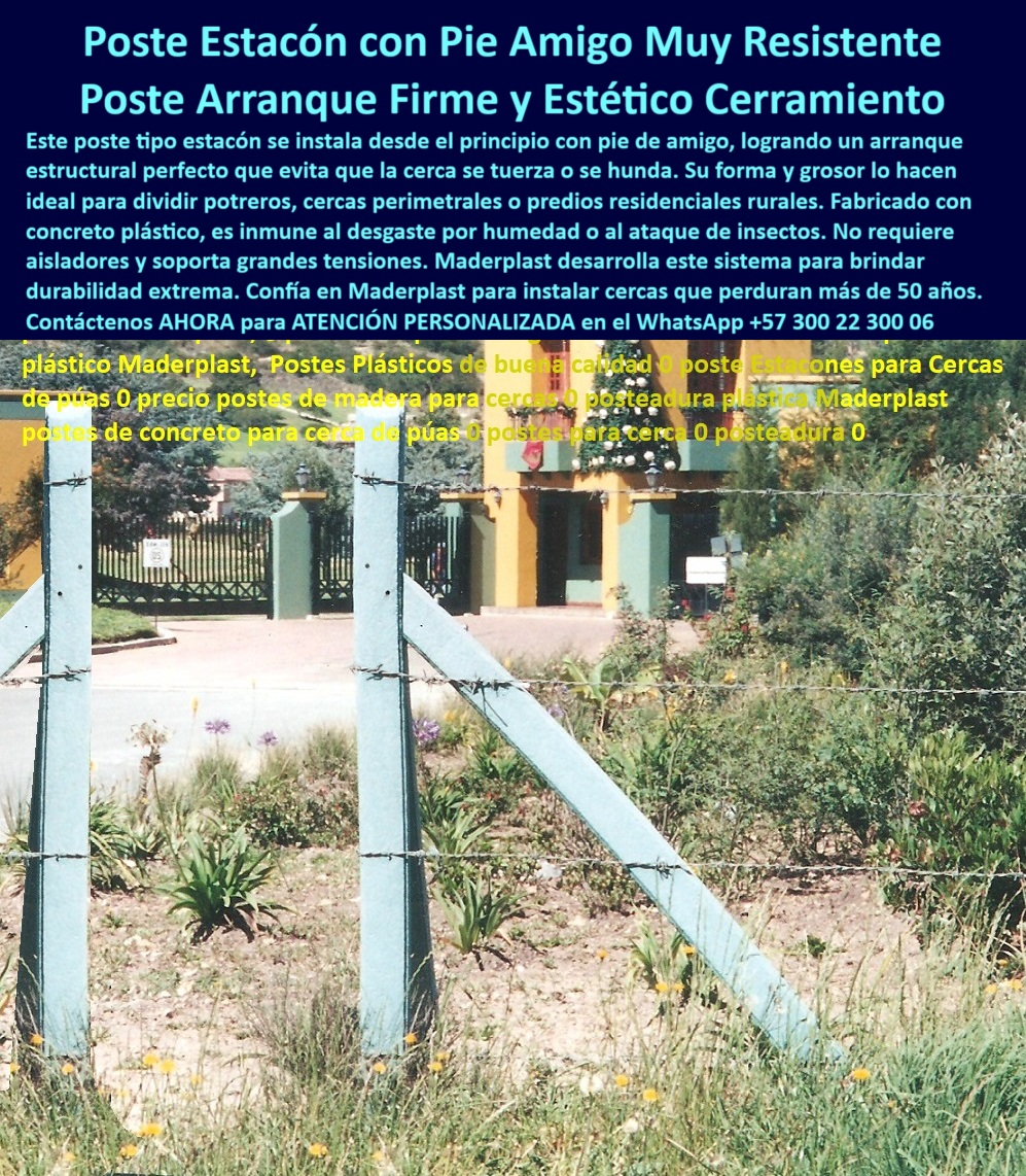 Pie De Amigo Poste De Arranque Poste De Puerta Postes De Broches Maderplast 0 postes enterrados durables Validación de poste reciclado frente a cargas de compresión postes para ganadería sin necesidad de aisladores soporte PP Poste plástico sin pintura con ángulo estructural duradero, - poste-de-arranque-resistente, - ¿Cuál es el mejor poste para ganado en Colombia?, - Poste plástico ideal para zonas húmedas sin mantenimiento, - poste Maderplast con soporte estructural, - Poste reciclado con forma cuadrada y soporte en diagonal, - poste con memoria plástica estructural, - ¿Qué es un poste pie de amigo y para qué sirve?, - poste-plástico-pie-amigo, - poste para terreno rural inclinado, - poste con soporte lateral rural, - poste-de-uso-ganadero-extremo, - Poste sin aisladores para división de terrenos ganaderos, - ¿Dónde comprar postes plásticos que no se pudren?, - poste de alta resistencia para ganado, - poste-con-soporte-lateral, - poste plástico para reemplazar concreto, - poste-para-cerca-húmeda, - Poste de arranque plástico Maderplast con soporte pie de amigo, - poste-maderplast-resistente, - poste-reciclado-zona-rural, - poste estructural sin aisladores, - ¿Qué poste usar en terrenos húmedos para cercas?, - poste plástico para ganadería intensiva, - poste-sin-pintura-ni-óxido, - ¿Qué poste dura más de 30 años sin mantenimiento?, - poste estético de alta duración, - poste duradero para entrada de finca, - poste de plástico instalado frente a conjunto residencial, - Poste Maderplast enterrado firme para linderos viales, - poste para cerca perimetral reciclado, - Poste firme de polímero reciclado para potrero sin concreto, - poste para zonas rurales con humedad, - poste para linderos de finca, - poste de polímero con resistencia a jalones, - poste reciclado con pie estructural en zona rural, - poste de arranque plástico Maderplast en finca, - poste fuerte para dividir potreros, - poste sin pintura sin óxido, - poste-contra-plagas-y-humedad, - poste-con-memoria-plástica, - poste plásticos durables en zonas húmedas, - poste antivandálico de polímero, - Poste para cercas eléctricas rurales en terreno inclinado, - Poste rural instalado frente a conjunto en Bogotá Cajicá, - poste reciclado sin mantenimiento, - poste plástico pie de amigo resistente, - Poste estructural que resiste tracción y humedad por décadas, - En la autopista Bogotá–Cajicá, justo frente al conjunto Aposentos, se yergue un poste tipo pie de amigo Maderplast, con más de 30 años de servicio impecable. El color gris pálido envejecido por el sol revela la nobleza del polímero reciclado que no se agrieta ni se desmorona. Anclado firmemente al suelo, este poste mantiene tenso un alambrado que ha sido reemplazado cinco veces, sin comprometer la estabilidad del cerramiento. Su ángulo de soporte lateral es una firma técnica: no deja que el cercado se tuerza, aún frente a los jalones del ganado o la humedad constante. Fabricado sin concreto y sin madera, es una solución moderna, estética y estructuralmente superior. Maderplast diseñó este tipo de poste para quienes buscan durabilidad, sin mantenimiento, sin excusas. Es la columna vertebral ideal para potreros, fincas, caminos y entradas residenciales. No requiere aisladores, ni pintura, ni refuerzos. Es más que un poste: es una inversión inteligente y definitiva, validada en terreno real., - poste de arranque para cerco eléctrico, - poste plástico económico con pie de amigo, - poste Maderplast reciclado firme, - poste sin pudrición ni astillas, - poste plásticos para potreros húmedos, - poste sin concreto para cercas eléctricas, - poste para huertas ecológicas 0 Pie De Amigo Poste De Arranque Poste De Puerta Postes De Broches Maderplast 0 postes enterrados durables, - Validación de poste reciclado frente a cargas de compresión, - postes para ganadería sin necesidad de aisladores, - soporte PP