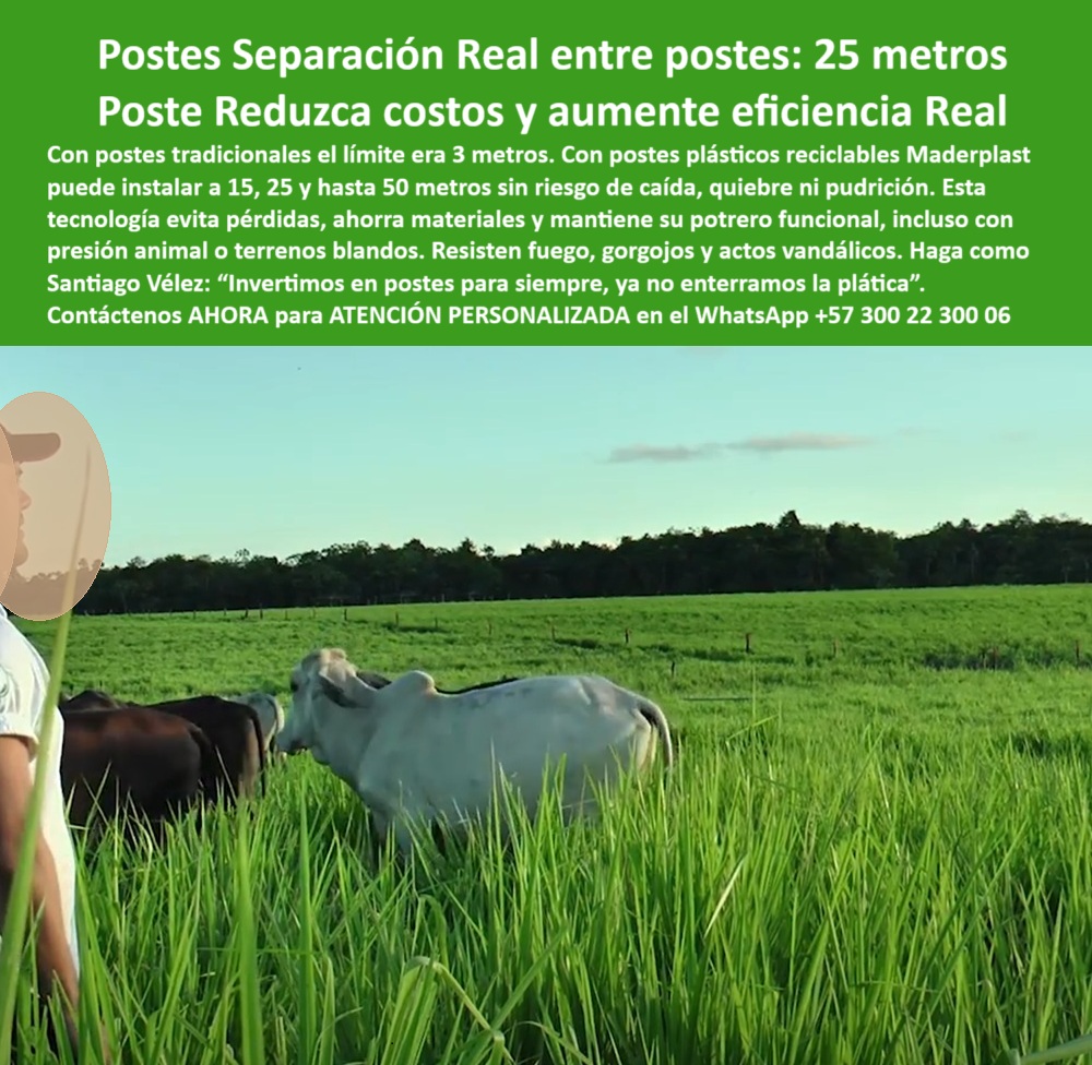 Poste Cercado Poste Perimetral Poste Delimitador Poste Rollizo Fazenda Maderplast 0 Dónde comprar postes que resistan actos vandálicos con fuego estructura agrícola reciclable poste plástico terrenos agrarios postes reciclados Poste de polímero reciclado para líneas ganaderas, - poste firme para delimitación de fincas verdes, - Poste resistente a impactos para ganado en pastoreo intensivo, - poste verde reciclado para agricultura moderna, - poste-ecológico-para-carga-animal-intensiva, - poste con durabilidad para sistemas de rotación, - poste-plastico-cerca-rural-separacion-25-metros-eficiente.jpg, - poste dieléctrico para cercas eléctricas rurales, - poste que sustituye madera en pastoreo intensivo, - poste que no se quiebra en zonas blandas, - poste plástico sólido para terrenos húmedos y blandos, - poste que se instala en líneas largas sin concreto, - poste estructural sin mantenimiento para ganadería, - poste plástico anti vandalismo y sin deformaciones, - poste sin pintura ni mantenimiento adicional, - poste con validación mecánica para potreros amplios, - ¿Cuál es el mejor poste para reducir mantenimiento de cercas?, - poste-antivandálico-reciclado-de-larga-vida, - Recomendación de poste que reduzca costos en cercamiento agrícola, - poste-para-cercas-a-25-metros, - Poste de polímero estructural para dividir potreros blandos y húmedos, - poste de alta separación para reducción de materiales, - poste que soporta presión de animales grandes, - Poste largo instalado sin concreto ni soporte adicional, - ¿Dónde comprar poste plástico que no se parte ni se oxida?, - ¿Qué poste me ahorra materiales al hacer cercas ganaderas?, - poste que evita pudrición y oxidación ganadera, - Poste ecológico que no se oxida para potreros rurales, - Poste plástico verde instalado en potrero ganadero húmedo, - La imagen presenta una línea de postes plásticos reciclados con separación real de 25 metros, perfectamente alineados en una pradera ganadera. Estos postes fabricados por Maderplast están diseñados para resistir impactos, humedad, presión animal y vandalismo, sin agrietarse ni oxidarse. Ideales para reducir el uso de materiales y lograr cercas más extensas y rentables, los postes Maderplast representan la mejor inversión para dividir potreros en fincas rurales tecnificadas, combinando sostenibilidad con eficiencia operativa., - poste-reciclado-para-división-de-potreros, - Postes separados a 25 metros sobre pradera extensa, - poste reciclable para linderos agrícolas sostenibles, - Poste reciclado para cercas ganaderas con separación de 25 metros, - poste que evita hundimiento en terrenos fangosos, - poste resistente al fuego para cerramiento ganadero, - Lote agrícola cercado con poste anti impacto y reciclable, - poste-plástico-resistente-a-impactos-ganaderos, - poste-liviano-para-terrenos-húmedos, - poste plástico para separación de 25 metros en potrero, - poste-dieléctrico-para-pastoreo-tecnificado, - poste-económico-con-alta-separación, - poste de impacto controlado para carga animal intensiva, - poste reciclado para división de praderas extensas, - poste para reducir costos de cercado rural, - poste duradero para agricultores tecnificados, - Poste estructural agrícola firme en terreno blando, - Sistema de cercado rural con poste plástico reciclado, - División rural de finca con postes reciclados resistentes, - ¿Qué poste sirve para dividir potreros a 25 metros?, - poste-verde-para-delimitación-rural, - poste sin astillas para cercas seguras de ganado, - ¿Cuál es el poste más resistente para zonas blandas y húmedas?, - Poste que resiste presión animal y clima húmedo, - poste-sin-mantenimiento-para-praderas, - poste económico con alta separación para alambrados, - Cerco eficiente con poste para terrenos fangosos 0 Poste Cercado Poste Perimetral Poste Delimitador Poste Rollizo Fazenda Maderplast 0 Dónde comprar postes que resistan actos vandálicos con fuego, - estructura agrícola reciclable, - poste-plástico-terrenos-agrarios, postes reciclados