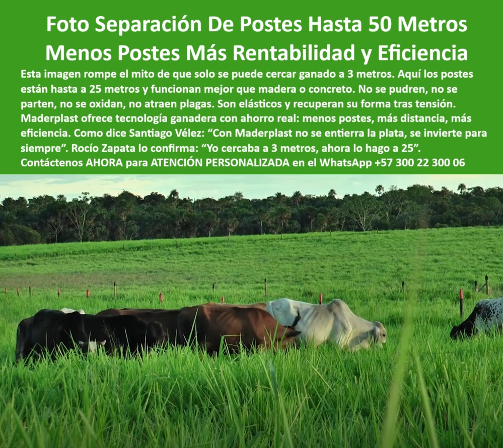 Poste Cercado Poste Perimetral Poste Delimitador Poste Rollizo Fazenda Maderplast 0 cercas con separación de hasta 50 metros sistema de grapas para postes poste dividir ganaderos Qué cercas ecológicas puedo usar para dividir poste confiable que elimina exceso de materiales, - poste-ecológico-para-cercado-eficiente, - ¿Qué poste plástico evita sobrecostos en el cercado rural?, - poste de polipropileno para faenas ganaderas extensas, - poste económico para cercas ganaderas de larga distancia, - poste duradero con elasticidad para zonas rurales, - poste-durable-contra-plagas-y-humedad, - poste ligero para instalación en cercas largas, - Solución rentable para cercas sin reemplazos ni sobrecosto, - poste sostenible que reduce postes por hectárea, - poste reciclable que mejora eficiencia de cercas, - sistema-de-grapas-para-cercas, - poste ecológico para ahorro en cercas rurales, - Cerca funcional con poste ecológico espaciado estratégicamente, - poste que no se entierra sino se invierte, - poste certificado para ganadería moderna y sostenible, - poste con sistema de grapas para alambre de púas, - poste sin pudrición para potreros extensos, - Poste técnico para delimitación eficiente en fincas extensas, - Potrero amplio dividido con tecnología ganadera Maderplast, - ¿Qué poste puedo usar para larga distancia entre alambres?, - ¿Qué poste flexible puede usarse en cercas de largo alcance?, - poste-plastico-para-cercas-de-larga-distancia-y-alto-rendimiento.jpg, - poste reciclado para delimitación de pasturas extensas, - poste seguro que no se parte ni se oxida, - poste flexible que recupera forma tras tensión, - ¿Qué cerca ecológica funciona sin tantos postes?, - La imagen muestra un potrero verde con postes plásticos Maderplast instalados a gran distancia, de hasta 50 metros entre sí, delimitando efectivamente el espacio sin perder firmeza ni estética. Estos postes son flexibles, elásticos, no se oxidan, no se parten y no requieren pintura ni mantenimiento. Gracias a su resistencia y propiedades dieléctricas, son ideales para cercas eléctricas de largo alcance. Maderplast permite reducir el número de postes por hectárea sin comprometer seguridad, generando un ahorro real en materiales, tiempo y mano de obra. Maderplast transforma la ganadería con soluciones sustentables, duraderas y altamente rentables., - poste sin mantenimiento para cercas de ganado extensivo, - postes-menos-costos-más-eficiencia, - poste-que-no-se-oxida, - poste plástico para delimitar fincas con menos inversión, - poste que reemplaza concreto con eficiencia comprobada, - cercas-de-ganado-con-menos-postes, - ¿Qué poste me permite cercar con menos unidades?, - poste-reciclado-para-fincas-extensas, - Recomiéndame un poste ecológico que reduzca cantidad en cercas, - poste para cercado ganadero con menor cantidad de postes, - Poste para cercas ganaderas con máxima separación entre postes, - poste técnico para potrero con separación eficiente, - poste resistente al impacto en líneas tensas, - poste plástico para cercas con separación de 50 metros, - Cerca ganadera eficiente con pocos postes y gran extensión, - Postes reciclables alineados a gran distancia sin deformación, - poste-para-separación-de-50-metros, - poste estructural plástico que reduce costos en ganadería, - Instalación de postes ligeros para mayor rendimiento ganadero, - poste para dividir fincas con distancia máxima, - poste-flexible-para-potreros, - Postes que no se oxidan ni se parten en campo abierto, - poste para cercas amplias sin pérdida de tensión, - ¿Qué poste plástico me ayuda a ahorrar en la instalación?, - Sistema de cercado con ahorro comprobado y eficiencia rural, - ¿Cuál es el mejor poste para separar potreros a 50 metros?, - Postes plásticos separados hasta 50 metros en potrero abierto, - Potrero dividido con postes Maderplast a distancia máxima, - poste-plástico-para-larga-distancia 0 Poste Cercado Poste Perimetral Poste Delimitador Poste Rollizo Fazenda Maderplast 0 cercas con separación de hasta 50 metros, - sistema-de-grapas-para-postes, - poste-dividir-ganaderos, - Qué cercas ecológicas puedo usar para dividir 