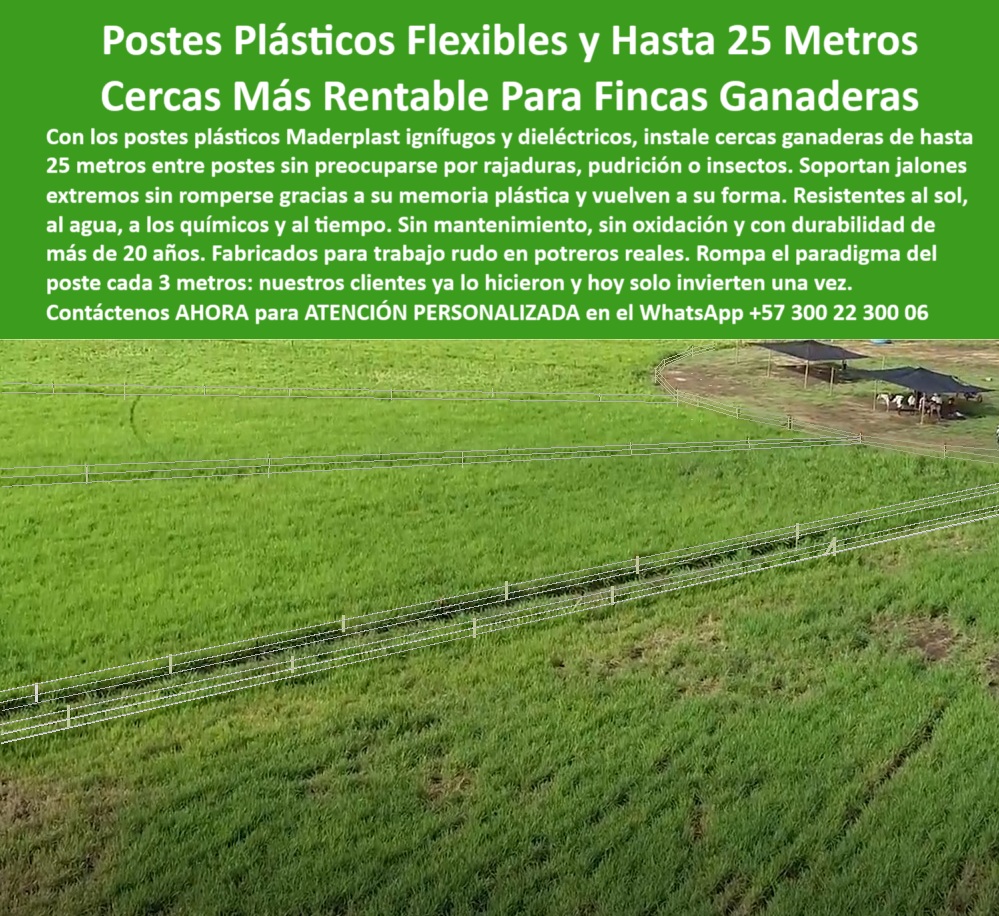 Poste Cercado Poste Perimetral Poste Delimitador Poste Rollizo Fazenda Maderplast 0 postes ignífugos para cercas exteriores cerca plástica ganadera resistente 00 Poste Cercado Poste Perimetral Poste Delimitador Poste Rollizo Fazenda Maderplast poste seguro para potreros con sol y lluvia constante, - poste plástico para ganadería extensiva sostenible, - Líneas eléctricas de cercado separadas por postes livianos, - poste de 25 metros entre estacas sin deformación, - poste ideal para separación de lotes agropecuarios, - División de pasto rotacional en finca con postes reciclables, - poste plástico resistente a rayaduras y químicos, - poste con memoria plástica para jalones de ganado, - poste con memoria plástica para jalones intensos, - Cercas ganaderas instaladas con postes blancos dieléctricos, - poste ignífugo para cerramientos rurales sin pintura, - poste plástico flexible para potreros ganaderos intensivos, - poste técnico para ahorrar postes y materiales, - poste-ignífugo-para-ambientes-agro, - Vista aérea de potrero con postes plásticos firmes, - poste-sin-mantenimiento-ganadero, - poste duradero para zonas agrícolas de alto uso, - poste dieléctrico de 25 metros para cercado rural, - ¿Cuál es el mejor poste para cercas de 25 metros?, - poste-durable-para-clima-extremo, - Postes plásticos blancos instalados en potrero de gran extensión, - poste dieléctrico ideal para cercas eléctricas rurales, - poste resistente al fuego y a los químicos agrícolas, - Esta imagen presenta una finca ganadera tecnificada con cercas largas y rectas construidas con postes plásticos Maderplast. Fabricados en material reciclado y con memoria plástica, los postes Maderplast son ideales para instalaciones de hasta 25 metros entre estacas, sin deformarse ni oxidarse. Ignífugos, dieléctricos y resistentes al clima extremo, permiten un manejo eficiente de potreros extensivos con el mínimo mantenimiento. Son la solución definitiva para productores que buscan economía, durabilidad y sostenibilidad en sus proyectos de cercado rural., - poste dieléctrico para cerca ganadera rentable, - poste robusto sin necesidad de broches adicionales, - poste ecológico con larga vida útil ganadera, - poste de alta ingeniería para ganadería productiva, - poste-para-cercas-de-25-metros, - poste sostenible para rotación de pasturas bovinas, - poste sin oxidación ni mantenimiento para ganadería, - poste-reciclado-para-cercas-extensas, - ¿Qué poste puedo usar en fincas ganaderas sin mantenimiento?, - poste para reemplazo definitivo de postes de madera, - poste plástico flexible para potrero exigente, - Sistema de cercado recto con postes plásticos para ganadería, - poste que no se quiebra en climas extremos, - ¿Qué poste no se deforma con el sol ni el ganado?, - poste estructural de polímero reciclado ganadero, - poste reciclado para división de potreros ganaderos, - Campo productivo dividido con postes sin oxidación, - ¿Dónde consigo poste plástico ignífugo para potreros?, - poste-tecnológico-para-fincas, - poste-plástico-para-dividir-potreros, - poste plástico que soporta cargas por jalones, - poste para reducción de costos ganaderos, - poste-plástico-dieléctrico-sin-aisladores, - poste para fincas ganaderas con rotación de pasto, - poste-plastico-flexible-para-cercas-ganaderas-de-25-metros.jpg, - Proyecto rural con postes resistentes al clima e impactos, - ¿Poste flexible para dividir potreros en finca ganadera?, - Postes resistentes alineados a 25 metros en terreno agropecuario, - poste confiable para proyectos de cercado inteligente, - poste-económico-con-larga-vida, - Cercado técnico con postes que no requieren pintura, - poste sin mantenimiento para cercas de fincas extensivas, - poste-flexible-para-finca-ganadera 0 postes ignífugos para cercas exteriores, - cerca plástica ganadera resistente, - 00
