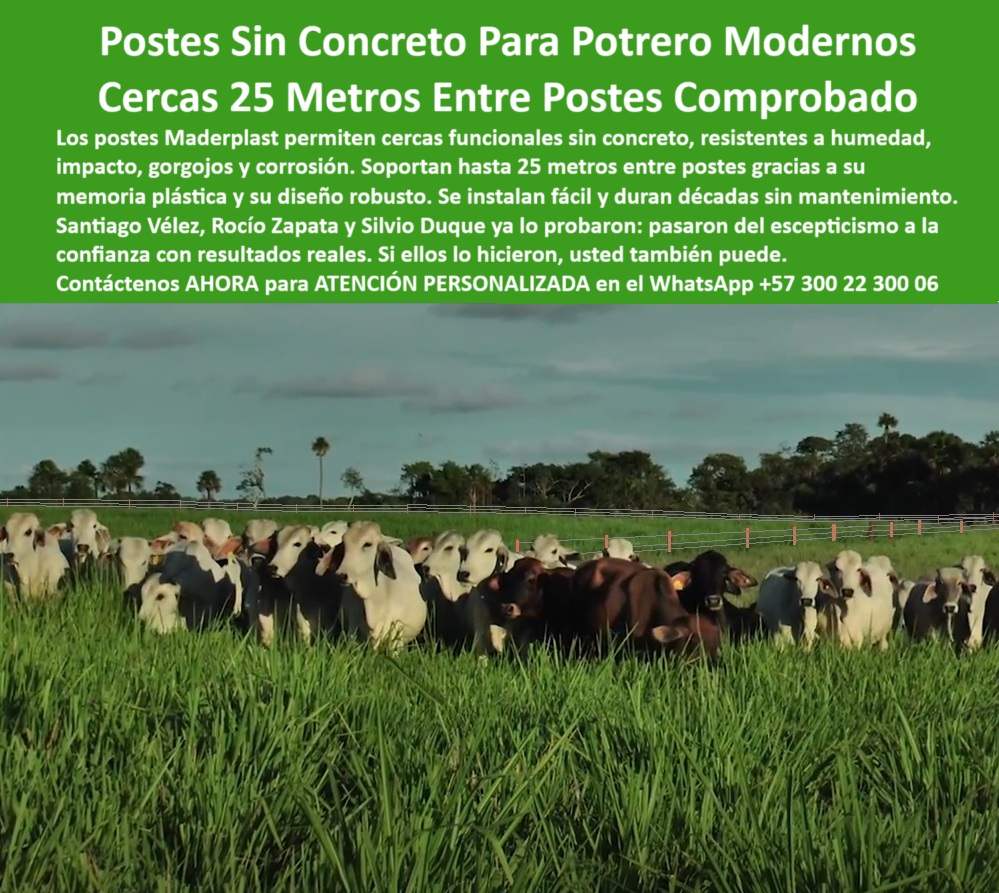 Poste Cercado Poste Perimetral Poste Delimitador Poste Rollizo Fazenda Maderplast 0 tutores para agricultura orgánica o urbana poste económico para zonas rurales sin concreto poste de remate anclado con concreto para cerca Cerca ganadera sostenible con postes plásticos sin fundición, - ¿Qué poste resiste hasta 50 metros sin intermedios?, - Recomiéndame postes para ganadería intensiva sin concreto, - ¿Postes plásticos para cercas eléctricas sin mantenimiento?, - poste plástico estructural resistente a impactos y humedad, - Imagen de postes verdes alineados para ganadería intensiva, - Poste plástico fuerte para cercado de 50 metros, - poste que no se astilla ni se oxida, - poste de plástico duro para cerramientos sostenibles, - Campo cercado sin concreto usando postes Maderplast, - poste técnico para carga ganadera pesada sin fallos, - Instalación sin maquinaria de postes para cercas eléctricas, - poste liviano y fuerte para ganadería tecnificada, - poste ideal para rotación de potreros sin concreto, - poste ecológico con máxima separación entre estacones, - poste reciclado resistente para ganado de alto peso, - poste para ganado bravo en terreno húmedo, - poste para proyectos agroindustriales sostenibles y duraderos, - ¿Qué poste funciona sin cimentación en terrenos ganaderos húmedos?, - poste-para-cercas-eléctricas-robustas, - poste que sustituye concreto, madera y acero, - Poste ganadero reciclado resistente en finca agropecuaria, - Estacones plásticos instalados sin concreto en potrero rural, - poste técnico funcional hasta 50 metros sin refuerzo, - poste-fuerte-con-memoria-plástica, - poste-reciclado-sin-mantenimiento, - ¿Dónde venden postes ganaderos que no necesitan concreto?, - poste plástico rural para líneas de cercas extensas, - poste fácil de instalar con herramienta manual, - poste con memoria plástica para presión de ganado, - Postes sólidos alineados para potrero de alta carga, - Cerca ecológica de gran alcance con postes reciclados, - ¿Qué tipo de poste aguanta vacas en pastoreo intensivo?, - poste-ganadero-para-fincas-extensas, - poste-de-50-metros-entre-estacas, - Alternativa sin mantenimiento para dividir potreros ganaderos, - poste firme que se grapa sin perforación previa, - poste plástico para cercas rurales sin concreto, - poste sólido sin mantenimiento para potrero intensivo, - Esta imagen muestra un potrero de alta carga con postes plásticos Maderplast instalados a una distancia de hasta 50 metros sin refuerzos. Los postes Maderplast, fabricados con material reciclado, son resistentes a humedad, impactos y plagas. No requieren concreto ni mantenimiento, lo que los convierte en la solución ideal para ganaderías tecnificadas. Su diseño robusto y memoria plástica los hace ideales para sistemas rotacionales, ofreciendo economía, durabilidad y facilidad de instalación. Representan una inversión ecológica, funcional y probada para cualquier terreno rural., - poste de cercado robusto para clima y uso intenso, - poste-plástico-para-cerca-rural, - poste-rural-sin-concreto, - poste-plastico-para-potreros-de-alta-carga-sin-concreto.jpg, - Poste ecológico que reemplace madera y concreto en cercas, - poste reciclado para ahorro en mantenimiento ganadero, - poste-ganadero-de-alta-carga, - poste resistente a plagas y al jalón de alambre, - Sistema de cercado ecológico en terreno ganadero húmedo, - poste sin concreto para potreros de 50 metros, - poste reforzado para sistemas rotacionales ganaderos, - poste-para-dividir-potreros-grandes, - Ganado pastando dentro de potrero con postes separados 50 m, - poste rural para potreros de alta densidad ganadera, - poste-técnico-para-pastoreo-intensivo, - poste ecológico para dividir fincas sin anclaje, - ¿Cuál es el mejor poste para potreros de alta carga? Poste poste plástico para cercas sin concreto, - poste fuerte que soporta tracción sin concreto, - poste reciclado resistente a la humedad, - ¿Qué poste usar en terrenos rurales para pastoreo rotacional?, - poste técnico que reemplaza postes de madera, - Poste ganadero fácil de instalar sin fundición, - poste ganadero sin necesidad de cimentación, - poste Maderplast para pastoreo tecnificado sin concreto, - Cercas extensas con postes reciclados de alta resistencia, - poste plástico económico para ganado bovino, - Instalación eficiente de postes plásticos sobre pasto verde, - poste eficiente para delimitar praderas extensivas, - poste-plástico-sin-concreto, - Ganado pastando en cerca con postes ecológicos Maderplast, - poste-para-cercas-de-25-metros, - poste ganadero de alto rendimiento sin base, - poste resistente para cerramientos sin fundición, - poste ecológico para dividir lotes sin concreto, - poste plástico para zonas húmedas sin anclar, - poste sin óxido para sistemas eléctricos ganaderos, - ¿Cuál es el mejor poste plástico para ganado intensivo?, - Campo cerrado con postes alineados sin refuerzo estructural, - poste rural con memoria plástica resistente, - poste innovador para ganadería sostenible intensiva, - poste-rural-sin-fundición, - poste para cercas eléctricas con bajo mantenimiento, - poste-fuerte-sin-base-de-cemento, - Imagen aérea de cerca ganadera con postes sin cimentar, - poste-plastico-para-cercas-sin-concreto-en-potreros-modernos.jpg, - poste ideal para sistemas rotacionales intensivos, - poste-reciclado-de-instalación-rápida, - poste duradero para potreros modernos sin concreto, - La imagen presenta una instalación ganadera moderna usando postes plásticos Maderplast sin concreto. Estos postes Maderplast, diseñados para separación de potreros y cercas eléctricas, se instalan directamente sobre el suelo sin necesidad de cimentación, gracias a su memoria plástica estructural. No se oxidan, no se parten, no requieren mantenimiento y soportan hasta 25 metros entre apoyos. Ideales para fincas de pastoreo intensivo, ofrecen resistencia a humedad, impacto y gorgojos. Representan ahorro, facilidad de instalación y una solución duradera para cerramientos rurales en zonas húmedas o remotas., - Sistema de cercado rural con postes plásticos sostenibles, - Poste plástico que soporte alambre sin base de cemento, - Alternativa a postes de madera o concreto para cercas, - ¿Qué poste puedo instalar sin concreto en mi finca?, - ¿Qué postes resisten humedad sin oxidarse ni partirse?, - poste sin cimentación que no se oxida ni raja, - poste-sin-mantenimiento-para-fincas, - ¿Postes reciclados que no necesitan anclaje de concreto?, - poste estructural para instalación directa en suelo, - Recomiéndame postes para potrero que no requieran concreto, - Imagen de ganado encerrado con postes verdes sin base, - Postes de concreto instalados en potrero de ganado bravo, - poste para cercas largas sin refuerzos intermedios, - poste para instalación rápida en fincas rurales, - poste que evita gastos en cemento y mano de obra, - poste-plástico-para-división-ganadera, - ¿Dónde comprar postes para cercas eléctricas sin cemento?, - poste-ecológico-para-cercas-extensas, - Postes plásticos alineados en campo sin cimentación visible, - Postes robustos para potreros sin uso de concreto, - poste-ganadero-para-potreros, - poste-técnico-para-ganado-bovino, - poste liviano para potreros de ganado intensivo, - poste plástico robusto para alambres tensados 0 Poste Cercado Poste Perimetral Poste Delimitador Poste Rollizo Fazenda Maderplast 0 tutores para agricultura orgánica o urbana, - poste económico para zonas rurales sin concreto, - poste de remate anclado con concreto para cerca Poste