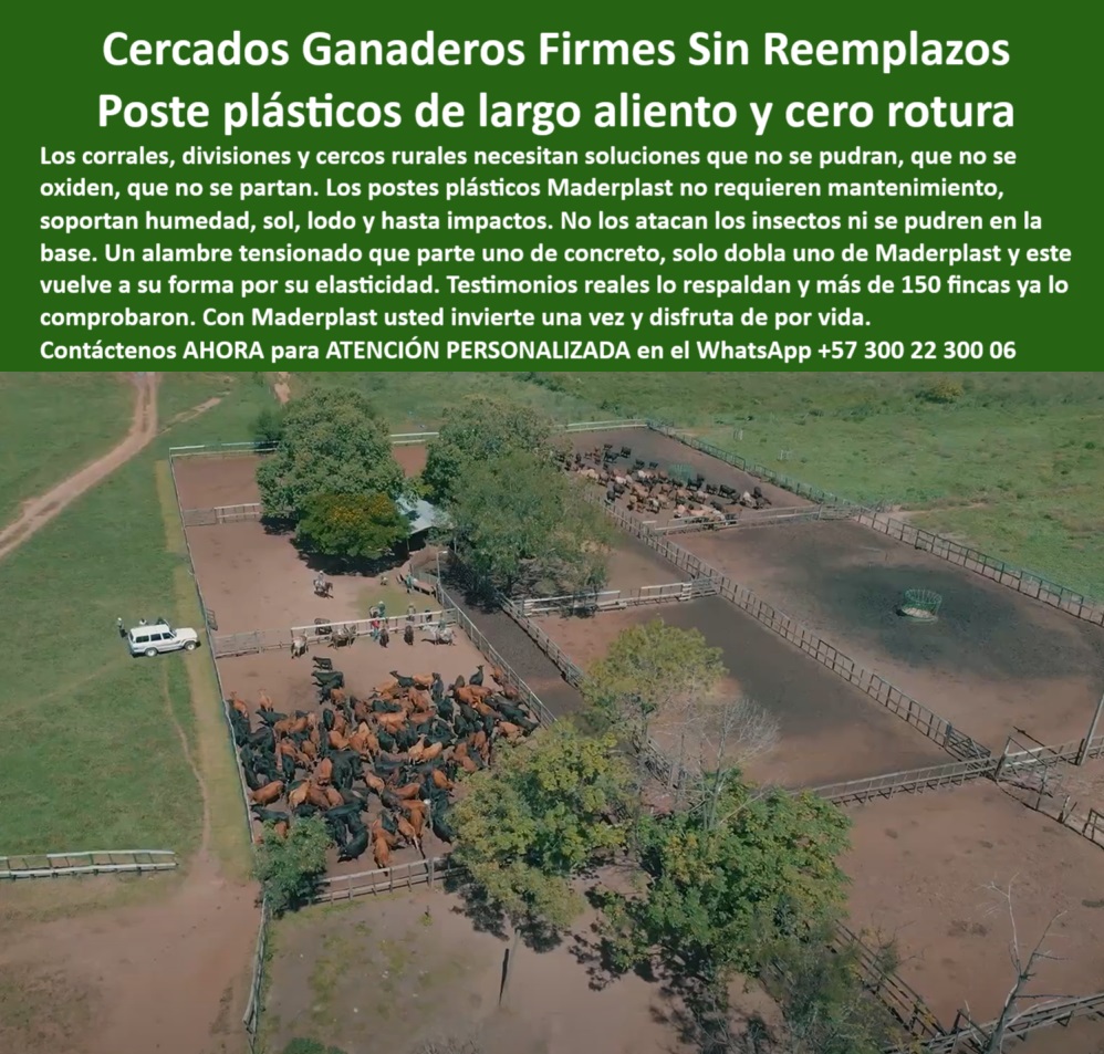 Poste Para Cerco Eléctrico Poste De Alambre Púa Distancia A 25 Mts Maderplast 0 Hay postes reciclables para dividir fincas agrícolas cerca resistente a oxidación y humedad estructura cercas equinas económicas Poste plástico poste plástico antihumedad para cercas, - Poste firme con pie de amigo instalado en sabana, - cercas-para-potreros-extensos, - poste-plástico-sin-mantenimiento, - Poste que soporta tensión de alambre sin romperse, - mejor poste para cercas sin aislador, - Postes plásticos instalados en finca ganadera de Puerto Gaitán, - Mejor poste para dividir finca sin usar concreto, - Poste plástico que no se pudre ni se oxida, - poste reciclable para finca agrícola, - Opciones ecológicas para cercas ganaderas en clima cálido, - postes plásticos fuertes para linderos, - Postes plásticos de instalación rápida para finca agrícola, - ¿Cómo dividir potreros con postes plásticos de larga distancia?, - poste durable para instalaciones ganaderas, - cerca para ganado de alto tráfico, - poste ideal para cercas en sabana, - ¿Dónde consigo postes plásticos para finca ganadera?, - cercas eléctricas sin concreto en finca, - postes para dividir potrero a 25 metros, - Cerca firme para finca ganadera La Fazenda Meta, - cerca económica para ganado intensivo, - Cerca eléctrica Maderplast en terreno húmedo sin fallos, - cerca plástica para corral de ganado, - ¿Postes que duren sin mantenimiento para terrenos húmedos?, - ¿Cuál es el mejor poste para cercas eléctricas sin aislador?, - postes dieléctricos para cercas eléctricas, - poste económico para finca tecnificada, - poste de inicio pie de amigo plástico, - poste-reciclado-de-alta-carga, - ¿Poste plástico que no se oxide ni se parta?, - poste sin óxido para cerco ganadero, - poste resistente para zonas rurales, - poste ganadero resistente sin mantenimiento, - postes-plásticos-para-ganadería, - poste sin astillarse al tensar alambre, - poste-para-fincas-en-meta, - postes sin pudrición para finca tropical, - poste plástico para cercas eléctricas, - Poste ecológico sin pintura para potreros amplios, - Recomendación de poste económico y durable para cercas rurales, - cercado-intensivo-puerto-gaitán, - División de potreros extensos sin concreto ni óxido, - instalación de postes Maderplast en finca, - poste-plástico-maderplast, - poste estructural para potrero amplio, - Postes instalados a 25 metros sin mantenimiento, - división-de-potreros-rentable, - cercas-económicas-de-larga-distancia, - postes-resistentes-a-la-humedad, - poste-plastico-cercas-ganaderas-puerto-gaitan-maderplast.jpg, - Poste dieléctrico sin aisladores para finca tropical, - Ganado contenido con postes plásticos Maderplast, - postes para potrero sin concreto, - Los postes Maderplast instalados en la Finca La Fazenda en Puerto Gaitán, Meta, han demostrado ser la solución ideal para cercas eléctricas sin concreto ni aisladores. Gracias a su diseño dieléctrico, los postes Maderplast resisten humedad, golpes y tensión constante del alambre sin romperse ni requerir mantenimiento. Una inversión duradera para ganaderos tecnificados que buscan eficiencia real., - cerca Maderplast instalada en Puerto Gaitán, - postes firmes para terreno húmedo0 Poste Para Cerco Eléctrico Poste De Alambre Púa Distancia A 25 Mts Maderplast 0 Hay postes reciclables para dividir fincas agrícolas, - cerca resistente a oxidación y humedad, - estructura cercas equinas económicas, - Poste plástico