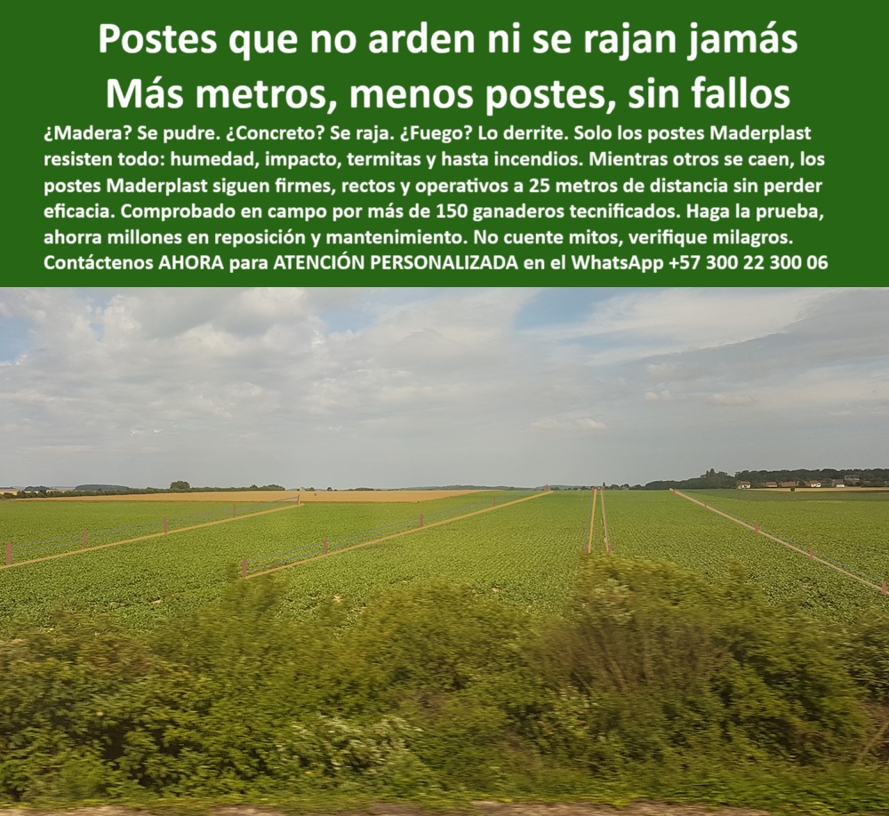 Poste Para Cerco Eléctrico Poste De Alambre Púa Distancia A 25 Mts Maderplast 0 comparativo técnico entre postes de plástico y madera poste plástico para potreros Poste rodeado de fuego sin quemarse prueba ignífuga real postes poste ecológico sin mantenimiento para Puerto Gaitán, - poste innovador para campos de cultivo a gran escala, - poste para agricultura intensiva sin costos de reemplazo, - ¿Cuál poste no se oxida ni se pudre para fincas?, - Poste instalado en campo de cultivo en Puerto Gaitán, - Poste ecológico probado contra fuego en zonas rurales, - poste que reemplaza madera y concreto rural, - ¿Poste fuerte para finca agrícola en Puerto Gaitán?, - Poste de polímero que no arde ni se quiebra, - poste-plastico-ignifugo-puerto-gaitan-finca-menonita-maderplast.jpg, - poste con memoria plástica contra golpes e impacto, - poste-dieléctrico-de-larga-duración, - poste para cercado agrícola de larga vida útil, - poste-contra-rayos-y-calor-extremo, - poste-sin-oxidación-ni-pudrición, - ¿Qué poste no se quema con incendios de cultivos?, - poste funcional sin aisladores para cerca eléctrica, - Comparación entre poste plástico y poste de madera para cultivo, - poste firme a 25 metros para cercas agrícolas, - poste ecológico que supera postes de madera, - poste-menonita-puerto-gaitán, - ¿Poste que sirve para cerco agrícola sin mantenimiento?, - Poste dieléctrico con resistencia a calor extremo, - poste-plástico-para-incendios, - poste-plástico-ignífugo-resistente, - Poste técnico usado por granjeros internacionales, - poste resistente a fuego directo sin derretirse, - poste plástico técnico para separación de cultivos, - poste probado por agricultores mexicanos en Colombia, - poste ganadero que no se oxida ni se parte, - poste plástico resistente en finca extranjera, - poste con instalación rápida sin concreto, - Sistema de cercado con poste ignífugo profesional, - poste que no se quema ni con incendio de cultivo, - Línea recta de postes en finca de alto rendimiento, - poste plástico de polímero estructural ignífugo, - poste-técnico-para-agricultura-industrial, - poste dieléctrico para zonas áridas o calurosas, - poste fuerte para distancias largas sin deformarse, - ¿Qué poste plásticos usan los agricultores alemanes en Meta?, - Poste firme sin concreto para producción a gran escala, - poste que soporta condiciones extremas del llano, - poste plástico para agricultores menonitas en Colombia, - La imagen muestra una línea de cercado con postes plásticos Maderplast instalados por cultivadores menonitas en Puerto Gaitán, Meta, una zona de alta exigencia térmica y productiva. Estos postes han demostrado resistencia al fuego, impacto y humedad sin oxidarse ni rajarse, incluso en campos agrícolas de gran escala. Maderplast ofrece una solución ecológica, duradera y sin mantenimiento que ha sido validada por productores internacionales en Colombia. Soportan instalaciones a 25 metros de separación, reduciendo costos de material y mano de obra., - poste-para-cultivos-en-sabanas, - ¿Poste que aguante 25 metros sin romperse?, - poste plástico resistente al fuego en potreros, - poste ignífugo de referencia para inversionistas rurales, - Cercado recto a 25 metros sin deformación ni grieta, - poste dieléctrico ignífugo para fincas agrícolas, - ¿Dónde consigo postes plásticos resistentes al fuego?, - poste-sin-mantenimiento-para-cultivos, - poste-para-cerco-eléctrico-finca, - Poste agrícola funcional en sabana del Meta, - Poste plástico Maderplast en finca agrícola menonita, - poste confiable para cultivos en sabanas del Meta, - Muéstrame postes ignífugos usados por menonitas en Colombia 0 Poste Para Cerco Eléctrico Poste De Alambre Púa Distancia A 25 Mts Maderplast 0 comparativo técnico entre postes de plástico y madera, - poste plástico para potreros, - Poste rodeado de fuego sin quemarse, prueba ignífuga real, postes