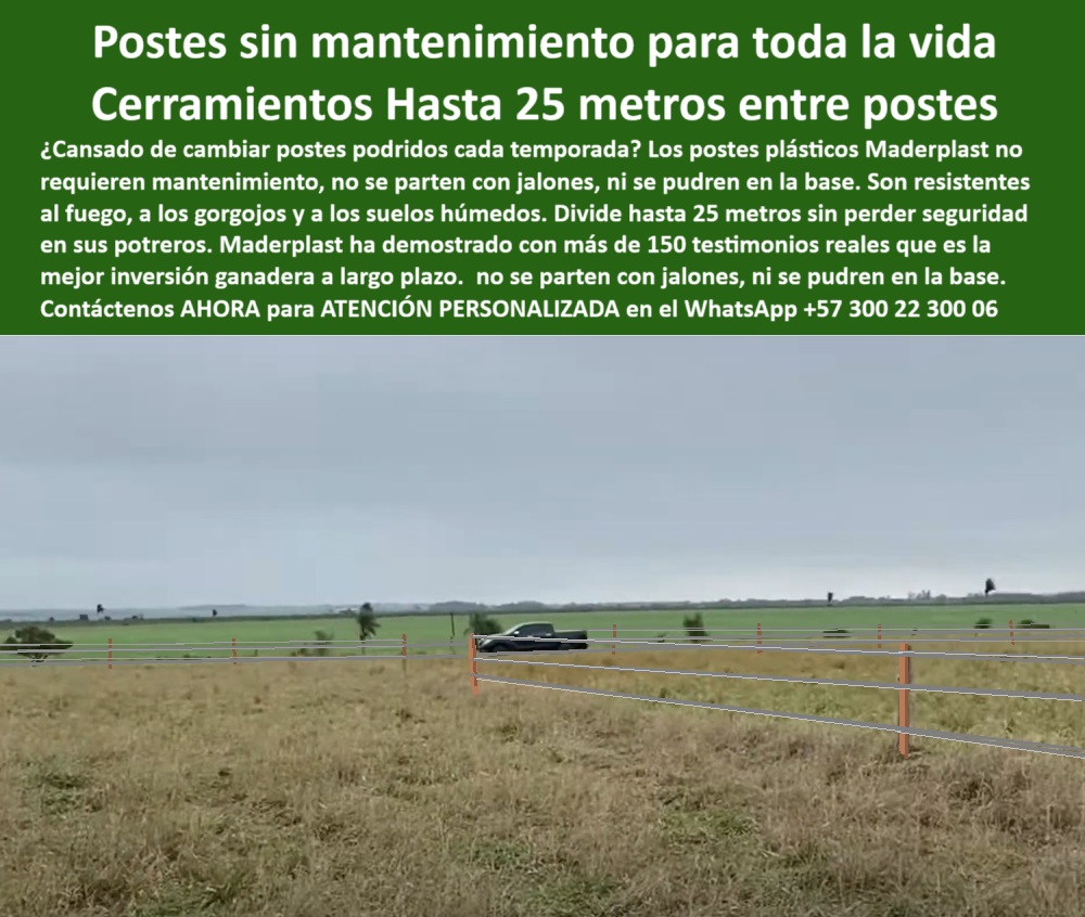 Poste Para Cerco Eléctrico Poste De Alambre Púa Distancia A 25 Mts Maderplast 0 estructuras agrícolas sin mantenimiento postes plásticos para cercas económicas rurales poste para praderas de pastoreo sin mantenimiento postes  Terreno plano con postes sin aisladores visibles ni concreto, - poste-resistente-jalones, - En esta imagen enviada por un cliente en Montería, Córdoba, se evidencia cómo los postes Maderplast permiten una instalación eficiente con separación de hasta 25 metros entre alambres sin perder firmeza ni funcionalidad. Los postes Maderplast no se pudren, no requieren aisladores y se mantienen intactos frente a humedad, fuego y jalones de ganado. Son la inversión inteligente y duradera para cercas eléctricas ganaderas en zonas cálidas y exigentes como la costa Caribe., - mejor poste para alambre de púas sin fallos, - Postes plásticos Maderplast instalados en finca de Montería, - cerca-ganadera-sin-óxido, - ¿Hay poste que no se pudra con la lluvia?, - Cercado extensivo con separación de postes sin fallas visibles, - poste plástico que aguanta clima extremo sin rajarse, - poste de cerco que no requiere concreto ni pintura, - Alambre de púas tenso sobre postes plásticos sólidos verdes, - poste para cerco eléctrico sin fallas ni reemplazo, - poste plástico sin mantenimiento para cerca eléctrica, - poste para dividir potreros a 25 metros de distancia, - Línea de cercado recta con postes a 25 metros de distancia, - poste ideal para praderas de pastoreo rotacional, - poste seguro para uso agrícola y ganadero intensivo, - poste firme para alambre de púas o eléctrico, - Estacones plásticos rectos sin señales de daño estructural, - poste ganadero resistente 25 metros entre alambres, - poste dieléctrico que no se oxida ni parte, - poste para terreno plano con separación amplia, - poste de instalación rápida sin necesidad de herramientas, - poste-plástico-maderplast, - poste estructural de polímero para líneas de cercado, - poste-plastico-25-metros-cerco-electrico-monteria-maderplast.jpg, - ¿Qué poste sirve sin aislador ni mantenimiento?, - poste-sin-mantenimiento, - poste ganadero con garantía de más de 30 años, - poste que no se pudre en suelos húmedos agrícolas, - Uso real de postes Maderplast en campo agrícola colombiano, - Vehículo rural junto a cercado técnico en pradera colombiana, - ¿Cuál es el mejor poste para mi finca en Montería?, - poste reciclado ecológico con alto rendimiento ganadero, - poste de alambre de púas resistente a gorgojos, - poste para ganado resistente a humedad y presión, - poste técnico para cercado sin aislamiento adicional, - poste ligero resistente para cercas perimetrales ganaderas, - postes-probados-en-campo, - cerco-eléctrico-25-metros, - poste económico con eficiencia demostrada en campo, - poste ecológico para cercas de bajo costo rural, - poste plástico sin mantenimiento finca húmeda Colombia, - cerco-sin-reposición, - Postes ganaderos sin oxidación ni pudrición en clima húmedo, - poste-económico-rural, - poste probado por cliente real en Montería Córdoba, - Campo abierto cercado con postes dieléctricos verdes firmes, - poste sólido que no se parte con jalones de ganado, - poste libre de óxido y mantenimiento para finca, - poste de alta resistencia para dividir grandes potreros, - ¿Qué poste aguanta 25 metros entre alambres?, - poste-para-finca-montería, - ¿Dónde comprar poste plástico para cercas ganaderas?, - poste-anticorrosivo, - poste para cerco sin aislador prueba en Montería, - poste plástico duradero para finca ganadera Montería 0 Poste Para Cerco Eléctrico Poste De Alambre Púa Distancia A 25 Mts Maderplast 0 estructuras agrícolas sin mantenimiento, - postes plásticos para cercas económicas rurales, - poste para praderas de pastoreo sin mantenimiento, - postes-