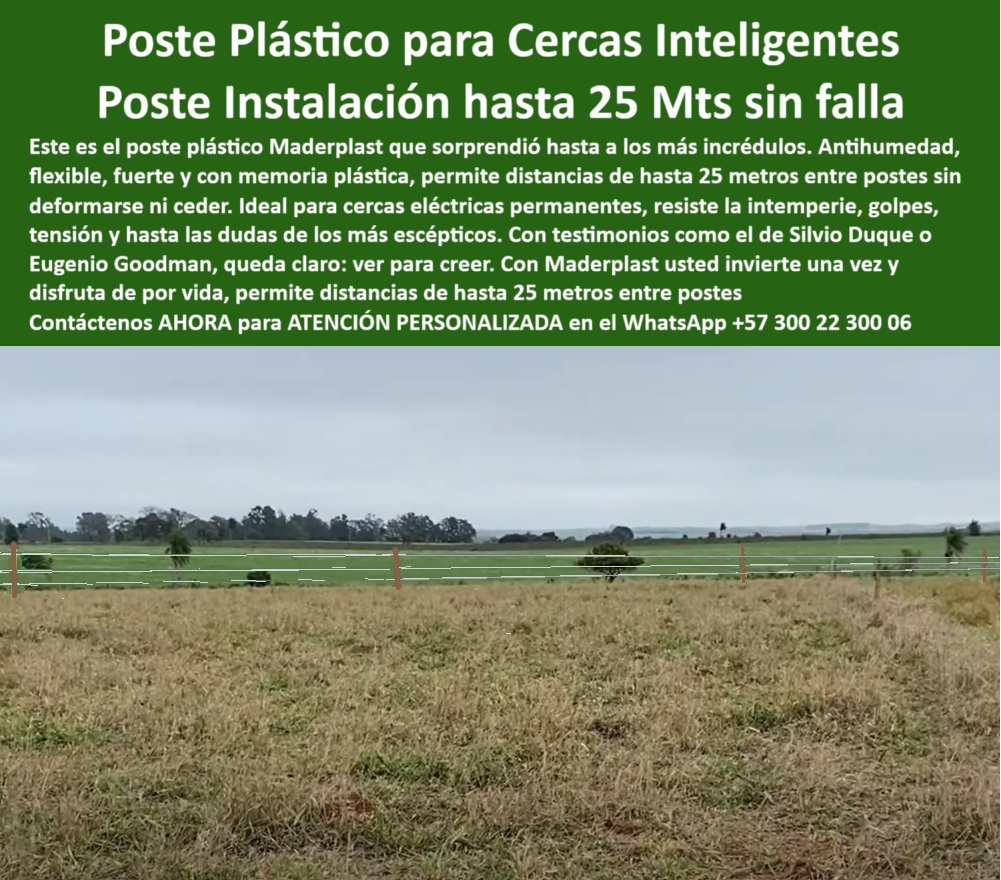 Poste Para Cerco Eléctrico Poste De Alambre Púa Distancia A 25 Mts Maderplast 0 poste plástico ecológico para cerca eléctrica poste plástico inteligente agricultura postes anti humedad para cercas permanentes poste plástico  Los postes plásticos Maderplast para cerca eléctrica permiten instalaciones firmes y sin fallas hasta 25 metros entre postes. Fabricados con material reciclado, son ideales para fincas lecheras como esta en Tunja, Cundinamarca. Con Maderplast, la cerca no se oxida, no se deforma y no requiere mantenimiento. Tecnología colombiana para soluciones ganaderas permanentes., - poste duradero para potrero intensivo, - Alternativa a poste de concreto para finca en Tunja, - poste ecológico para ganadería intensiva, - ¿Dónde comprar postes plásticos resistentes al clima?, - poste reciclable para sector agropecuario, - poste dieléctrico para cerca ganadera, - poste para cerca eléctrica en Tunja, - ¿Hay postes ganaderos que no necesiten aisladores?, - poste confiable para ganadería lechera, - Poste con memoria plástica para instalación lechera, - poste-para-cercas, - poste seguro contra humedad y sol, - poste-25-metros, - Poste agrícola instalado sin herramientas visibles, - poste-ecológico-ganadero, - Poste sin oxidación en clima frío y húmedo de Tunja, - poste sin aislador para alambre de púas, - poste plástico para sistemas eléctricos, - poste-plastico-cerca-electrica-finca-lechera-tunja-colombia.jpg, - Postes rectos alineados en campo de pasto corto, - ¿Qué poste aguanta 25 metros sin intermedios?, - poste ganadero para clima húmedo, - poste fuerte para zona montañosa, - poste-plástico-finca, - poste ideal para clima frío, - poste con memoria plástica para tensión, - poste para alta tensión ganadera, - Poste duradero para cerca en clima montañoso, - poste-antihumedad, - Poste reciclado que reemplace madera inmunizada, - poste para finca sostenible, - Cerca ganadera con separación amplia entre postes firmes, - poste plástico para distancia larga, - Poste plástico vertical en terreno montañoso colombiano, - ¿Poste que no se oxida ni se pudre para potreros?, - poste para instalación a 25 metros, - ¿Cuál es el mejor poste para cercas eléctricas en Tunja?, - poste para cercas permanentes, - poste-sin-mantenimiento, - poste-para-terrenos-húmedos, - Poste plástico verde instalado en potrero con alambre tenso, - Cerca de ganado con diseño limpio y profesional, - Tecnología en cercas instalada en finca lechera de Tunja, - Alambres tensos sin aisladores entre postes Maderplast, - Sistema de cerco rural con bajo impacto ambiental, - poste-para-ganado, - poste sin mantenimiento para potreros, - poste fácil de instalar sin herramientas, - poste-inteligente-agropecuario, - poste que no se pudre ni oxida, - poste plástico para finca lechera, - Recomiéndame un poste ecológico para ganadería intensiva, - poste plástico para carga animal alta, - poste-lechero-durable, - poste flexible para terrenos inclinados, - poste para cerca eléctrica resistente 0 Poste Para Cerco Eléctrico Poste De Alambre Púa Distancia A 25 Mts Maderplast 0 poste plástico ecológico para cerca  eléctrica, - poste-plástico-inteligente-agricultura, - postes anti humedad para cercas permanentes, - poste plástico 