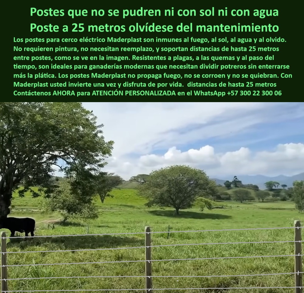Poste Para Cerco Eléctrico Poste De Alambre Púa Distancia A 25 Mts Maderplast 0 poste vial sin mantenimiento manejo de pasto con divisiones recicladas postes plásticos para cercas resistentes postes que no propaga fuego y sol poste para linderos ganaderos, - poste para cerca permanente ecológica, - poste-para-linderos-agrícolas, - Línea de postes a 25 m sin inclinación ni corrosión, - poste reciclado para potreros ganaderos, - poste-económico-para-ganado, - Cerca ganadera reciclada resistente a fuego humedad y impacto, - Poste agropecuario sin oxidación ni astillado bajo el sol, - poste-sin-mantenimiento, - poste plástico sin aisladores, - poste aislante para cercas eléctricas, - poste-plastico-para-cerca-electrica-a-25-metros-girardot.jpg, - Poste plástico sin taladro con alambre tensado perfectamente, - Poste dieléctrico color café para potrero de gran extensión, - poste-plástico-reciclado, - poste sólido para cerca rural, - poste que no se pudre, - poste-para-cerca-ganadera, - poste resistente a impactos animales, - cerca ganadera sin aisladores a 25 metros entre postes, - ¿Cuál es el mejor poste para cerca ganadera sin mantenimiento?, - Postes firmes sin mantenimiento ni pintura en clima caliente, - ¿Cómo hacer una cerca eléctrica con postes a 25 metros?, - poste para cerco en zonas calientes, - Sistema de cerramiento sin concreto ni madera en Girardot, - ¿Dónde comprar postes reciclados para dividir potreros?, - ¿Qué poste es mejor que el concreto o la madera para cercas?, - poste-que-no-se-pudre, - poste-a-25-metros, - poste dieléctrico sin óxido sin pintura sin mantenimiento, - poste ideal para zonas con lluvias, - poste plástico para cerca eléctrica, - Poste plástico a 25 metros instalado en potrero sin aisladores, - La imagen muestra una cerca perfectamente alineada con postes plásticos Maderplast separados a 25 metros, instalada en la finca Angostura, zona rural de Girardot, Cundinamarca. En medio de un terreno verde, plano y húmedo, los postes color tierra destacan por su solidez, rectitud y firmeza estructural, sin aisladores ni fallas visibles. No hay óxido, ni pintura desprendida, ni inclinación, lo que demuestra su rendimiento en campo abierto con plena exposición solar. Estos postes dieléctricos están diseñados para resistir incendios, termitas, golpes y lluvias sin deteriorarse. A diferencia de la madera inmunizada o el concreto, no requieren taladros, no se parten, no absorben humedad y no liberan toxinas al suelo. Son flexibles con memoria plástica, lo que permite que soporten tensión de alambre sin quebrarse. La instalación técnica y ecológica reduce costos en mano de obra, repuestos y tiempo operativo. Maderplast ofrece una solución probada por más de 150 ganaderos tecnificados en Colombia, que buscan dividir potreros con eficiencia, sostenibilidad y rentabilidad a largo plazo. Maderplast no es solo un poste, es una inversión inteligente y definitiva para toda la vida ganadera., - poste para terrenos inclinados, - poste que no se corroe, - poste ecológico sin mantenimiento, - mejores postes reciclados para cercas de ganado, - poste para dividir potreros grandes, - Estructura ecológica para ganadería extensiva con cercado limpio, - poste para pastoreo intensivo, - poste-tecnificado-sin-oxidación, - poste para cercas a 25 metros, - poste para finca en clima húmedo, - poste sin químicos para ganadería, - ¿Postes que no se pudren ni se oxidan para finca?, - Cercado verde con postes sólidos sin deterioro visual, - poste ignífugo para potreros, - poste-dieléctrico-anti-antifuego, - solución definitiva para división de potreros grandes, - poste económico para ganaderos, - poste dieléctrico resistente a fuego, - poste flexible que no se quiebra, - poste plástico sin pintura, - poste de larga duración agrícola, - poste-para-potreros-extensivos, - poste ecológico que soporte humedad calor y fuego 0 Poste Para Cerco Eléctrico Poste De Alambre Púa Distancia A 25 Mts Maderplast 0 poste vial sin mantenimiento, - manejo de pasto con divisiones recicladas, - postes plásticos para cercas resistentes, - postes-que-no-propaga-fuego y sol