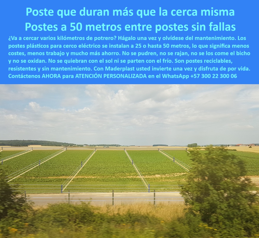 Poste Para Cerco Eléctrico Poste De Alambre Púa Distancia A 25 Mts Maderplast 0 postes plásticos rurales cómo elegir postes plásticos para exteriores postes durables para cercas extensas Cercado rural con poste plástico fuerte poste para ganadería tecnificada sin fallas, - Infraestructura rural eficiente con postes de polímero, - poste-reciclado-sin-mantenimiento, - ¿Cuál es el mejor poste para alambrado ganadero duradero?, - poste sin mantenimiento para cerca de potrero, - poste-plastico-para-cerca-electrica-rural-a-50-metros.jpg, - poste plástico de largo alcance para cercas, - poste reciclado para cercas en clima extremo, - postes-para-potreros-tecnificados, - poste-de-polímero-estructural, - Cerca ecológica con postes plásticos resistentes y ligeros, - poste que reemplaza madera y metal en cercas, - Postes reciclables para vallado en terrenos extensos, - poste sin pudrición para linderos con electricidad, - Cerramiento rural con postes reciclados sin mantenimiento, - poste-sin-pudrición-para-potreros, - ¿Cuál es el mejor poste para ganadería con instalación eficiente?, - poste plástico resistente a la intemperie, - ¿Qué poste me sirve para instalar a 50 metros sin fallas?, - Los postes plásticos para cerca eléctrica de Maderplast son la solución definitiva para quienes desean instalaciones eficientes y de larga vida útil. En la imagen se observa un campo abierto con cercas perfectamente alineadas a más de 25 metros entre postes, lo que demuestra su capacidad estructural y resistencia. Estos postes no se pudren, no se rajan, no se oxidan y permiten una instalación hasta a 50 metros, reduciendo costos en materiales y mano de obra. Maderplast ofrece postes reciclables, resistentes a la intemperie, al sol, la humedad y el impacto del ganado. Con Maderplast, invierte una vez y disfruta de por vida una cerca confiable, ecológica y sin mantenimiento. Maderplast es sinónimo de durabilidad, innovación y ahorro real., - poste reciclado para alambrado ganadero, - poste liviano para terrenos de gran tamaño, - poste para cercado agrícola con ahorro en postes, - poste resistente para cerco con alambre de púas, - cercas-de-largo-alcance, - poste para alambrado eficiente en fincas ganaderas, - ¿Qué poste reemplaza la madera en cercas de largo alcance?, - poste-plástico-para-ganado, - poste-para-cerca-eléctrica, - Sistema de cercado sin mantenimiento para fincas rurales, - poste ecológico para instalación a 50 metros, - Postes para alambre de púas con instalación a 50 metros, - poste de polímero para delimitar potreros, - poste-resistente-a-intemperie, - Cerramiento ganadero con postes plásticos duraderos, - postes-rurales-reciclados, - ¿Qué poste funciona a 50 metros sin romperse ni fallar?, - poste para vallado de grandes extensiones rurales, - poste sintético duradero para cercas eléctricas, - ¿Qué poste puedo usar para cerca eléctrica sin mantenimiento?, - poste plástico para cerca eléctrica rural, - poste sustentable para cerramientos agroindustriales, - poste de larga vida útil para uso agropecuario, - poste plástico confiable para electrificación rural, - poste económico de alta durabilidad para fincas, - poste de plástico reciclado para cercas extensas, - ¿Dónde venden postes plásticos que soportan alambre de púas?, - Dame opciones de postes ecológicos para alambrados rurales, - Recomiéndame un poste para cerca eléctrica resistente y reciclable, - Postes de polímero para delimitar potreros grandes, - Delimitación agropecuaria con postes de alta resistencia, - poste estructural para cerco sin mantenimiento, - Poste plástico para cerca eléctrica resistente al clima extremo, - poste-para-alambre-de-puas, - ¿Cómo cercar potreros grandes sin usar tantos postes?, - poste con resistencia UV para zonas abiertas, - poste contra humedad para potreros tropicales 0 Poste Para Cerco Eléctrico Poste De Alambre Púa Distancia A 25 Mts Maderplast 0 postes-plásticos-rurales, - cómo elegir postes plásticos para exteriores, postes durables para cercas extensas, - Cercado rural con poste plástico fuerte