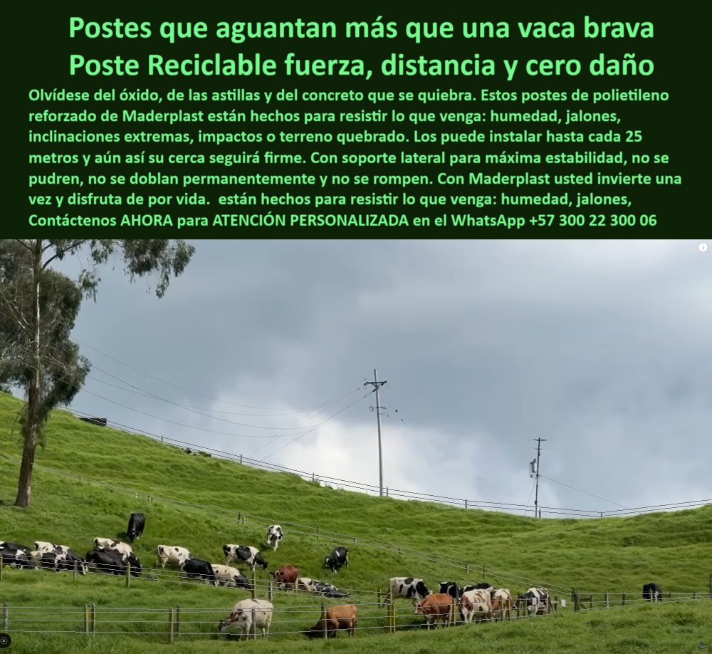 Poste Para Cerco Eléctrico Poste De Alambre Púa Distancia A 25 Mts Maderplast 0 postes de polietileno reforzado para cercas postes plásticos para cercas eléctricas sin corrosión postes con soporte lateral para alta resistencia poste de plástico sólido para cerca rural segura, - poste-dieléctrico-de-alta-resistencia, - poste para zonas andinas de alta pluviosidad, - poste para potreros quebrados y húmedos, - poste sin astillas ni riesgos para animales, - La imagen muestra un potrero empinado en una finca ganadera entre Quindío y Manizales, donde los postes plásticos Maderplast con soporte lateral garantizan firmeza, seguridad y durabilidad frente a vacas bravas, lluvias intensas y suelos quebrados. Estos postes de polietileno reforzado están diseñados para instalarse cada 25 metros, incluso en condiciones topográficas complejas, sin perder tensión ni estructura. No se oxidan, no se rompen, no requiere pintura ni reemplazos y soportan hasta 10 reposiciones de alambre. Son ideales para zonas cafeteras, ganaderías de montaña y cercas eléctricas permanentes en terrenos húmedos, fríos y de alto impacto. Maderplast ofrece una solución real para quienes necesitan resistencia sin complicaciones, transformando la inversión en postes en un beneficio a largo plazo. Con Maderplast, invierta una vez y disfrute por décadas, incluso en el entorno más exigente., - poste-plastico-laderas-quindio-manizales-ganaderia.jpg, - poste plástico con soporte lateral reforzado, - poste plástico con distancia de 25 metros, - poste-sin-pintura-ni-mantenimiento, - poste de larga vida útil para rotación ganadera, - Cercas sobre loma con postes resistentes al clima extremo, - Postes plásticos alineados en potrero inclinado con ganado, - poste de polietileno para fincas ganaderas intensivas, - poste-con-soporte-lateral-reforzado, - Poste que soporta terreno quebrado sin romperse ni oxidarse, - poste innovador para eficiencia ganadera, - Poste ideal para cerca en clima húmedo y frío, - poste-para-vacas-bravas-y-húmedad, - poste-plástico-en-ladera-inclinada, - poste ideal para dividir potreros empinados, - ¿Postes que soportan vacas bravas sin romperse?, - poste plástico con soporte para terrenos inclinados, - Postes plásticos instalados en potreros de alta pendiente, - poste-plástico-antivandálico-ganadero, - poste anticorrosión para zonas cafetaleras húmedas, - poste resistente a impactos y rayos UV, - poste fuerte para ganado en laderas empinadas, - poste plástico para cerca en clima de montaña, - poste-para-zonas-de-lluvia-intensa, - poste sin pintura para clima húmedo permanente, - poste-reciclado-para-terrenos-quebrados, - Poste plástico con soporte lateral instalado en ladera húmeda, - poste reforzado para cercas en potrero montañoso, - poste para cerco eléctrico sin oxidación ni fractura, - poste plástico reciclable con resistencia a jalones, - ¿Cuál es el mejor poste plástico para montaña?, - poste dieléctrico para zonas lluviosas y frías, - poste-sin-corrosión-para-montañas, - poste estructural flexible con retorno a forma, - Poste sólido en potrero de finca cafetera en Manizales, - poste-de-larga-duración-sin-reemplazo, - Ladera ganadera con alambre de púa y postes firmes, - poste de alta resistencia para jalones extremos, - poste reciclable para pastoreo en montaña, - poste para terrenos inclinados con ganado bravo, - poste técnico para impacto animal sin ruptura, - Vista rural con cerca de 25 metros entre postes reciclables, - ¿Qué poste usar en fincas con lomas?, - poste plástico que no se dobla permanentemente, - poste de 25 metros entre cercas en laderas, - poste dieléctrico para ganadería en clima húmedo, - Paisaje andino con cerca ecológica y postes reforzados, - poste estable para cercas largas en pendiente, - ¿Cuál es el poste que no se oxida ni se quiebra?, - Ganado en montaña cercado con postes sin mantenimiento, - poste para vacas bravas sin mantenimiento 0 Poste Para Cerco Eléctrico Poste De Alambre Púa Distancia A 25 Mts Maderplast 0 postes de polietileno reforzado para cercas, - postes plásticos para cercas  eléctricas sin corrosión, - postes con soporte lateral para alta resistencia,
