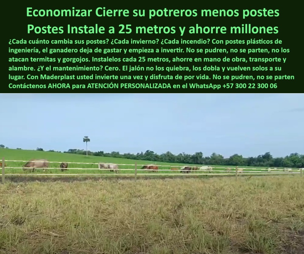 Poste Para Cerco Eléctrico Poste De Alambre Púa Distancia A 25 Mts Maderplast 0 postes reciclados para cerca ganadera instalación cerca eléctrica paso a paso tutorial para instalar alambre de púas postes ecológicos para cercas poste para cerca ganadera sin pintura ni aisladores, - poste ecológico para dividir potreros en Arauca, - Postes reciclados visibles entre pastizales en Arauca, - ¿Qué poste ganadero no se parte ni se pudre?, - poste ecológico para ganadería sostenible en Arauca, - División limpia de potreros con postes plásticos reciclados, - Tecnología plástica para cercas ganaderas sin concreto, - poste resistente al clima de Arauca, - poste para ganado en clima tropical extremo, - poste flexible que no se rompe con jalones, - poste-ganadero-de-25-metros, - poste para reducir costos de mano de obra, - ¿Cómo instalar una cerca de potrero sin madera?, - ¿Dónde comprar postes reciclados para finca ganadera?, - La imagen muestra una cerca ganadera instalada en la Hacienda El Portal, en Arauca, Colombia, donde se evidencia la eficiencia y alcance de los postes plásticos Maderplast colocados a 25 metros de distancia. Estos postes reciclados, diseñados para resistir condiciones de humedad, calor, plagas y tensión ganadera, permiten dividir potreros extensos sin necesidad de madera, concreto ni aisladores eléctricos. Su diseño flexible les permite doblarse ante jalones sin romperse, y gracias a su durabilidad no requieren pintura ni mantenimiento en décadas. Está cerca, maximiza el aprovechamiento del terreno, reduce los costos de instalación al mínimo y ofrece un sistema moderno, ecológico y técnico que ya usan cientos de ganaderos tecnificados. Con Maderplast, cada metro invertido es una garantía de resistencia, estética y funcionalidad a largo plazo. Invierte una vez, y olvida los cambios para siempre., - poste plástico que no se pudre ni oxida, - Cerca ganadera moderna instalada en clima cálido, - poste para cerramientos sin concreto ni madera, - poste para cerramientos rurales ecológicos, - poste económico y resistente para cerca eléctrica, - poste de ingeniería avanzada para divisiones de pasto, - poste-de-cerca-eléctrica-rural, - poste de 25 metros para cercas sin mantenimiento, - poste-reciclado-cerca-ganadera, - poste ideal para aprovechar hectáreas ganaderas, - poste para ganadería sostenible en zonas planas, - poste económico para instalación de cercas extensas, - tutorial para instalar cerca de alambre con postes plásticos, - ¿Qué poste aguanta 25 metros entre cercas eléctricas?, - poste plástico resistente para alambre de púas, - Postes resistentes y verdes sobre pasto aprovechado, - poste-ecológico-para-ganado, - poste-plástico-en-hacienda-portal, - ¿Cuál es el poste ideal para clima caliente y húmedo?, - Estructura de cercado ecológica sin aisladores, - Ganado en potrero dividido con cerca flexible, - poste reciclado para cerca ganadera sin reemplazo, - Alambre perfectamente tensado entre postes verdes de plástico, - Postes alineados a 25 metros entre alambres de púas, - poste-sin-óxido-ni-pudrición, - poste ganadero sin mantenimiento ni pintura, - poste-para-división-de-potreros, - poste durable para cercas permanentes ganaderas, - poste-de-polietileno-reciclado, - poste para sistemas de cercas modernas, - poste dieléctrico para control de ganado, - poste-plástico-sin-reemplazo, - poste plástico con resistencia a termitas y humedad, - poste-plastico-reciclado-cerca-ganadera-hacienda-portal-arauca.jpg, - poste de polietileno reciclado para potrero, - poste Maderplast para pastoreo rotacional, - poste de bajo costo con alta durabilidad, - poste para cerca eléctrica con separación optimizada, - poste plástico reciclado para divisiones de potreros, - Cercado sostenible de gran extensión sin postes de madera, - poste que evita incendios en cerca eléctrica, - poste-durable-sin-mantenimiento 0 Poste Para Cerco Eléctrico Poste De Alambre Púa Distancia A 25 Mts Maderplast 0 postes reciclados para cerca ganadera instalación cerca eléctrica paso a paso tutorial para instalar alambre de púas postes ecológicos para cercas 0  