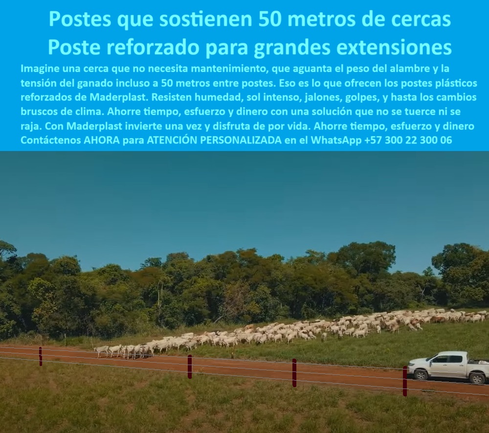 Poste Para Cerco Eléctrico Poste De Alambre Púa Distancia A 25 Mts Maderplast 0 tensado de alambre con poste plástico postes con 50 metros de separación Poste reforzado para tejido y púas en zona rural cercas ganaderas Cerca con postes técnicos en terreno plano y rural, - Cerca ganadera Maderplast sobre vía rural y sabana verde, - poste sin concreto para tensado de alambre, - ¿Qué poste no se tuerce ni se pudre?, - poste para terrenos difíciles sin refuerzos, - poste económico para dividir potreros, - ¿Qué poste sirve para distancias largas entre cercas?, - poste-reciclado-inteligente, - Postes ecológicos sin mantenimiento para distancias largas, - poste-plástico-ganadero, - Poste reciclado con tensión firme entre grandes extensiones, - poste ganadero a 50 metros sin caída, - poste-para-alambre-tensado, - poste para manejo de ganado en sabana, - ¿Dónde comprar postes ganaderos reforzados?, - poste fuerte para cercas eléctricas, - poste ecológico que no se oxida, - poste-para-zonas-rurales, - Postes visibles con alambre a tensión exacta Maderplast, - poste visible resistente junto a vía y ganado, - poste de polímero para alambre púa, - poste-sin-mantenimiento, - Poste para potrero largo sin rajarse ni torcerse, - poste plástico reforzado para ganado, - poste-sin-concreto-durable, - poste rural para cercas ganaderas extensas, - poste-de-50-metros, - poste de alta ingeniería ganadera, - poste-plástico-para-potreros, - poste estructural para campo abierto, - ¿Cuál es el mejor poste para cercas de 50 metros?, - poste firme sin rajaduras ni torsiones, - poste para tensado de alambre rural, - poste reciclado para extensión rural, - poste resistente a humedad y sol, - poste plástico reforzado para 50 metros de separación, - poste para cercas de 50 metros, - poste-para-cercas-largas, - poste plástico ideal para finca moderna, - Ganado caminando frente a postes plásticos resistentes, - poste plástico para finca de cría, - poste sostenible para cerramientos rurales, - poste antivandálico para cerca ganadera, - poste sin concreto para potrero grande, - poste Maderplast en zonas ganaderas amplias, - postes Maderplast para ganado en campo abierto, - poste para separación de ganado intensivo, - poste Maderplast sin mantenimiento, - La foto muestra una imagen real de una extensa cerca ganadera con postes plásticos Maderplast ubicados estratégicamente cada 50 metros. La escena, capturada en zona rural con sabana amplia y cielo despejado, resalta un sistema técnico de cercado que no se oxida, no se dobla y no se rompe. El poste Maderplast, alto y robusto, mantiene firme el alambre de púas, incluso con una manada de ganado caminando paralela a la vía. No requiere aisladores, ni refuerzos ni pintura. Es perfecto para terrenos planos o irregulares. Está diseñado para resistir el impacto del clima, los jalones del ganado y las condiciones más exigentes del campo. Este poste reciclado representa una alternativa sólida y estética al concreto o la madera. Su memoria plástica permite tensar sin deformarse. La instalación es rápida y duradera. Una sola inversión para olvidarse del mantenimiento por décadas. La innovación de Maderplast se refleja en cada metro de cerca recta, alineada y funcional., - Sistema de cercado ganadero sostenible en zona amplia, - Postes a 50 metros con alambre tenso sin deformaciones, - poste técnico para alambrado largo, - poste sin pintura con memoria plástica, - Poste plástico reforzado Maderplast con ganado en movimiento, - ¿Postes que aguanten alambre sin mantenimiento?, - postes-maderplast-reforzados-para-cercas-de-50-metros-rurales.jpg, - poste-maderplast-reforzado Finas Poste Para Cerco Eléctrico Poste De Alambre Púa Distancia A 25 Mts Maderplast 0 tensado-de-alambre-con-poste-plástico, - postes-con-50-metros-de-separación, - Poste reforzado para tejido y púas en zona rural, - cercas ganaderas Finas