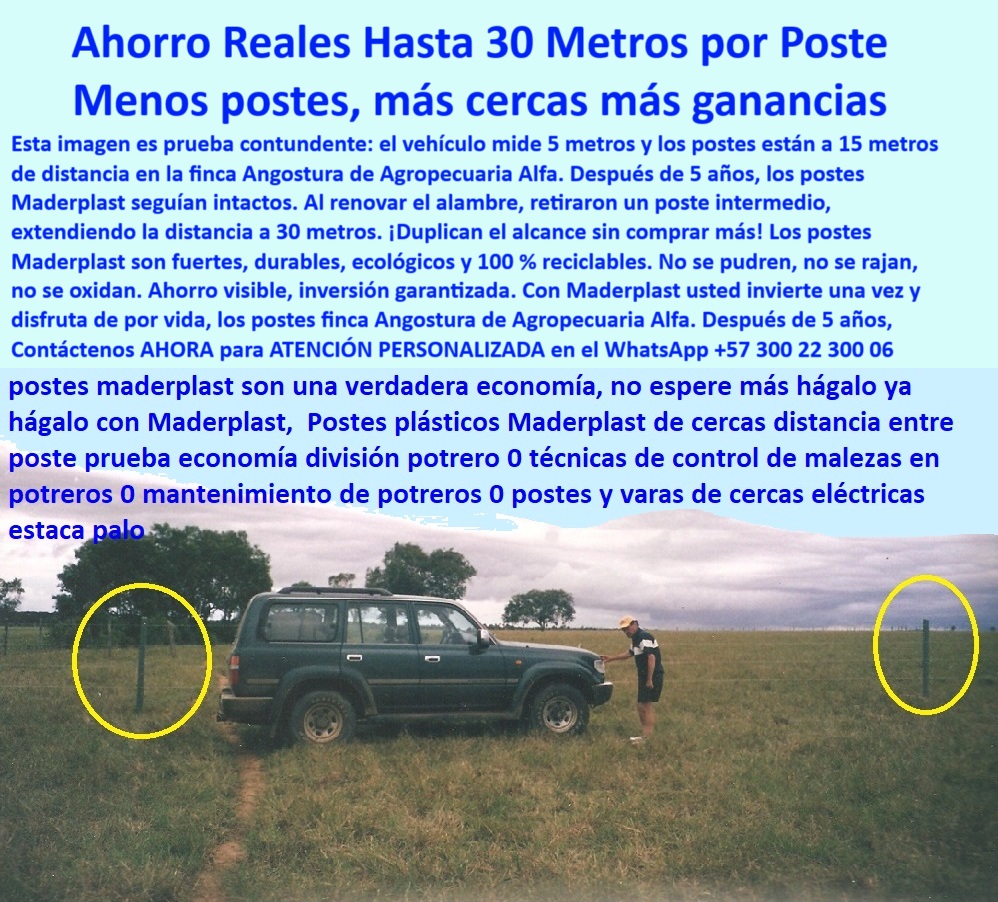 Postes Análisis Materiales Estudio Apu Precios Ventajas Beneficios Postes Maderplast 0 poste plástico sin mantenimiento delimitador plástico sólido cercado para zonas con humedad permanente poste de polímero reciclado sólido  Postes de color verde instalados en campo plano, - cercado ganadero económico sin comprometer seguridad, - Vehículo de referencia mide 5 metros entre postes, - poste-plastico-maderplast-distancia-30-metros-finca-angostura.jpg, - Imagen de potrero con postes plásticos separados, - Campo ganadero con instalación técnica comprobada, - poste para rotación de ganado sostenible, - poste sólido sin mantenimiento para clima húmedo, - poste-contra-humedad-y-golpes, - poste ideal para finca ganadera sostenible, - poste-plástico-ganadero-real, - La foto muestra una imagen real de la finca Angostura de Agropecuaria Alfa, donde un vehículo de 5 metros sirve como escala visual para evidenciar la distancia entre postes Maderplast: 15 metros inicialmente y 30 metros tras cinco años de prueba. Al renovar el alambre, el poste intermedio fue retirado, y la cerca siguió firme, probando la superioridad del diseño. Fabricados con polímero reciclado de alto desempeño, los postes Maderplast no se oxidan, no se parten y no necesitan pintura ni mantenimiento. Su resistencia estructural permite ampliar el alcance sin comprometer la seguridad del cercado, haciendo posible duplicar la distancia entre postes sin duplicar costos. Esta innovación reduce drásticamente el uso de materiales y mano de obra. Con Maderplast, se logra un sistema de cerramiento eficiente, sostenible y probado en campo real, con beneficios tangibles a corto y largo plazo., - poste que no requiere reemplazos en 10 años, - ahorro comprobado con postes Maderplast en potrero, - poste-de-alto-rendimiento-rural, - ¿Cómo ahorrar dinero instalando menos postes en finca?, - poste plástico para ahorro en división de potreros, - poste-convalidación-en-campo, - poste-polímero-resistente, - poste ideal para líneas rectas sin pandeo, - ¿Qué poste me permite instalar cercas cada 30 metros?, - poste-para-cercas-económicas, - Postes plásticos con demostración comparativa efectiva, - poste de polímero con validación en campo, - ¿Cómo hacer más metros de cerca sin gastar más?, - Evidencia visual de economía en distancia entre cercas, - poste plástico que sustituye dos postes tradicionales, - poste que duplica cobertura sin afectar resistencia, - ¿Qué poste sirve para dividir potreros con bajo costo?, - poste plástico con memoria de forma y tensión, - poste-de-30-metros-entre-distancias, - poste plástico económico para instalar cada 30 metros, - poste para ganadería que evita sobrecostos, - poste para cercas amplias sin aisladores, - validación de poste reciclado en finca real, - Postes firmes sin inclinación ni deformación visible, - poste-para-finca-extensiva, - poste reciclado que resiste peso y jalones, - poste-sin-reemplazo-en-10-años, - ¿Cuál es el mejor poste sin mantenimiento para potreros?, - sistema de cercas rurales con menor cantidad de postes, - poste reutilizable que no se deforma, - poste que ahorra varillas y mano de obra, - poste que permite 30 metros entre cercas ganaderas, - Postes espaciados visualmente a 30 metros exactos, - poste ganadero que reduce la inversión inicial, - poste con garantía real de economía comprobada, - poste-para-manejo-de-potreros, - poste de alta ingeniería sin concreto ni pintura, - poste para maximizar la distancia sin perder firmeza, - poste para expansión de cercas sin obras adicionales, - poste para fincas con potrero intensivo, - poste para control de maleza sin químicos, - Cerca ganadera sin postes intermedios adicionales, - poste para separación eficiente de áreas rurales, - Postes reciclados que mantienen alineación sin tensión, - poste estructural probado en campo abierto 0 Postes Análisis Materiales Estudio Apu Precios Ventajas Beneficios Postes Maderplast 0 poste plástico sin mantenimiento, - delimitador plástico sólido, - cercado para zonas con humedad permanente, - poste de polímero reciclado sólido 
