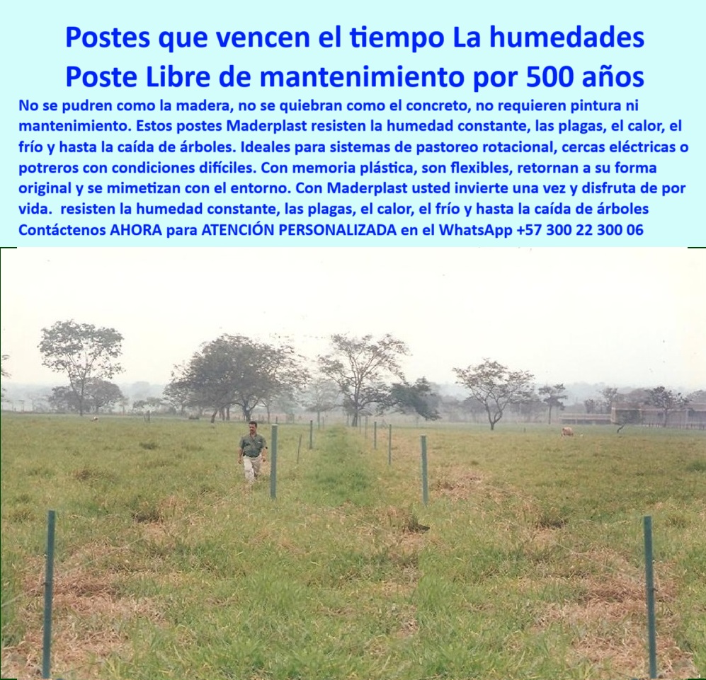 Postes Análisis Precios Económicos Poste Bajo Costo Estudio Precios APU Maderplast 0 Dónde comprar postes plásticos durables en Colombia Soluciones sin madera para cercas de ganado Pradera ganadera dividida con postes resistente poste plástico con durabilidad comprobada, - postes plásticos que sobreviven caídas de árboles, - cómo dividir fincas con postes sin cemento, - ¿Cuál poste no necesita pintura ni mantenimiento?, - Postes_Resistentes_Humedad_30_Años_Potreros_Maderplast_Meta_0.jpg, - cerca ganadera ecológica de larga duración, - ¿Qué cerca puedo usar sin concreto ni madera?, - Cercado a largo plazo sin mantenimiento en Colombia, - qué tipo de poste no necesita pintura ni refuerzo, - sistema de cerca permanente sin roturas ni fallas, - sistema-de-rotación-ganadera, - Postes instalados en pradera húmeda hace más de 30 años, - sustituto ecológico de postes de madera para fincas, - cómo evitar la pudrición en cercas rurales, - soluciones para ganado en suelos blandos o encharcados, - instalación de postes ecológicos sin herramientas pesadas, - cercas ganaderas hechas para durar generaciones, - postes sin oxidación ni grietas por rayos UV, - postes plásticos que soportan clima extremo y animales, - Solución ecológica para potreros sin pintar ni reforzar, - ¿Qué poste aguanta humedad y no se pudre?, - postes de bajo costo con memoria plástica estructural, - Sistema de cerca verde, limpio, duradero y flexible, - Ganadero camina entre postes intactos en Villavicencio Meta, - Pradera dividida con postes plásticos sin oxidación, - tecnología ganadera colombiana libre de mantenimiento, - postes resistentes a rayos UV y hongos, - cercado-liviano-para-suelos-blandos, - postes para praderas húmedas que no se pudren, - inversión ganadera que no se reemplaza cada 5 años, - dónde comprar postes plásticos durables en Colombia, - postes-sin-pintura-ni-pudrición, - La foto muestra una imagen real del ganadero Ricardo Castañeda en Villavicencio, Meta, caminando sobre una pradera húmeda dividida hace más de 30 años con postes plásticos Maderplast. Fue tomada cerca del kilómetro 45, vía Acacías, antes del peaje y junto a la cárcel de Villavicencio. Estos postes siguen de pie, verdes, firmes, sin pintura, sin grietas, sin moho. Resisten la humedad, el calor, los rayos UV, los hongos y hasta la caída de ramas. Gracias a su memoria plástica, recuperan su forma ante golpes y no requieren aisladores ni soporte adicional. Son ideales para ganadería intensiva y sistemas de pastoreo rotacional. Con Maderplast, la inversión se hace una sola vez y se olvida el mantenimiento para siempre. Maderplast, tecnología ecológica que transforma el campo colombiano., - innovación-en-cercas-rurales, - ¿Dónde comprar postes durables para ganado?, - postes resistentes a humedad y plagas para potreros, - Instalación rural sin maquinaria pesada ni albañilería, - cercas ganaderas que duran más de 30 años sin pintar, - cerca-de-potreros-sin-mantenimiento, - ¿Qué poste resiste plagas y lluvias intensas?, - tecnología-para-clima-extremo, - cercas para rotación ganadera en terrenos difíciles, - alternativa sin madera ni cemento para cercas, - postes-resistentes-a-la-humedad, - inversión rentable en postes de polímero reciclado, - alternativa plástica a postes de concreto en zonas húmedas, - mejores postes ganaderos para clima húmedo, - Poste plástico se mantiene firme tras décadas de uso, - sistemas de división de potreros sin mantenimiento, - memoria-plástica-en-postes, - inversión-duradera-en-potreros, - postes plásticos confiables para pastoreo rotacional, - Evidencia técnica de postes en uso real comprobado, - Línea de postes sin concreto en terreno ganadero húmedo, - estructura para división de potreros en Meta Colombia, - poste-sin-madera-ni-cemento, - tecnología para cercas eléctricas sin aisladores 0 Postes Análisis Precios Económicos Poste Bajo Costo Estudio Precios APU Maderplast 0 Dónde comprar postes plásticos durables en Colombia, - Soluciones sin madera para cercas de ganado, - Pradera ganadera dividida con postes resistente