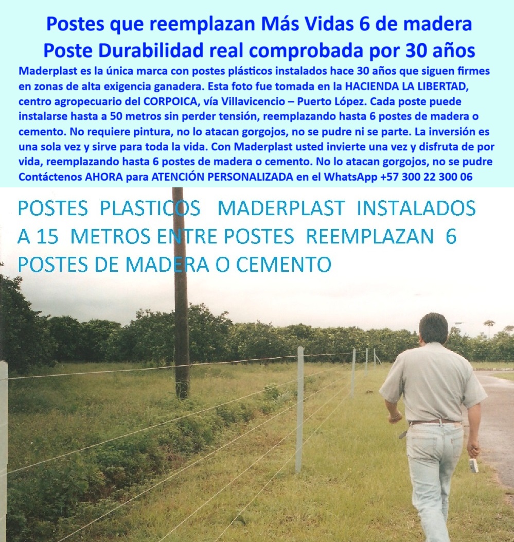 Postes Análisis Precios Económicos Poste Bajo Costo Estudio Precios APU Maderplast 0 cercas con postes durables sin concreto Cómo construir una cerca con menos postes Maderplast es la solución separación entre postes de potrero cómo construir una cerca con menos postes sin perder firmeza, - cercado económico con postes resistentes al clima, - ¿Dónde comprar postes que duran más de 30 años?, - La foto muestra una imagen real tomada en la Hacienda La Libertad, centro agropecuario antes Corpoica, vía Villavicencio - Puerto López. El ganadero Fernando Bamón, proveniente de Panamá, vino personalmente a verificar si realmente los postes Maderplast podían instalarse a 25 metros sin perder firmeza. Lo que vio superó sus expectativas: una cerca firme, sin aisladores, sin mantenimiento, ni un solo poste suelto o dañado tras 30 años de uso continuo. Cada poste reemplaza hasta 6 de madera o cemento, sin pintura ni riesgo de plagas. Este sistema estructural de Maderplast demuestra que menos es más cuando se tiene tecnología de verdad. Gracias a la innovación colombiana, hoy Fernando disfruta de potreros extensos en Panamá con costos reducidos y seguridad total. Maderplast convierte la incredulidad en fidelidad., - postes que aguanta sin quebrarse a 25 metros, - solución para potreros sin cambiar postes por décadas, - Ganadero observa instalación técnica con 30 años de uso, - solución definitiva para potreros extensos sin aisladores, - cómo reducir costos de cercado sin perder calidad, - Testimonio internacional con imagen real en potrero, - testimonios-de-clientes-en-Panamá, - Instalación de postes verdes sin soporte adicional, - Cerco plástico visible junto a paso peatonal y vegetal, - cerca-económica-con-larga-distancia, - ¿Qué cerca es más económica sin perder calidad?, - cerca ganadera técnica sin aisladores, - postes que aguantan tensión en suelos difíciles, - ahorro-en-potreros-con-postes-largos, - Línea recta de postes sin concreto ni deformación, - ahorro en cercado ganadero con plásticos reciclados, - método rentable de cercado para fincas ganaderas, - postes resistentes a 25 metros entre sí, - sistema-eficiente-de-cercado-ganadero, - cerca ganadera ecológica sin concreto ni madera, - ¿Cuál es la mejor alternativa al poste de madera?, - Poste instalado a 25 metros en potrero extenso sin fallos, - Cerca resistente sin pintura con poste ecológico, - postes de alta ingeniería para pastoreo a gran escala, - cómo alargar distancia entre postes y ahorrar dinero, - sistema de cercado con mínima cantidad de postes, - instalación eficiente de postes con separación larga, - Reemplazo de postes convencionales con una sola unidad, - inversión ganadera rentable en cercas de alta duración, - inversión-inteligente-en-cercas, - cerca ganadera con diseño estructural probado, - Cliente panameño verifica distancia de postes sin quebrar, - poste-plástico-rural-de-alta-duración, - sistema de postes probado con 30 años de garantía, - alternativa moderna a postes tradicionales de concreto, - reducción de postes en proyectos de pastoreo extensivo, - ¿Qué postes puedo poner a 25 metros sin concreto?, - Cerca ganadera económica con postes plásticos Maderplast, - postes plásticos que reemplazan 6 de madera o cemento, - innovación en cercado rural económico y eficiente, - tecnología para dividir potreros con pocos materiales, - poste-contra-plagas-y-humedad, - ¿Cómo hacer una cerca con menos postes y más firmeza?, - poste-de-larga-vida-útil-sin-mantenimiento, - postes-que-reemplazan-la-madera, - postes para cercas largas sin concreto ni mantenimiento, - postes duraderos para potreros de grandes extensiones, - guía para hacer cercas eficientes en tiempo y costo, - postes-a-25-metros-sin-concreto, - postes para zonas rurales sin pudrición ni oxidación, - cómo separar postes a 25 metros sin perder tensión, - Postes_Plásticos_A_25_Metros_Reemplazan_6_De_Madera_Maderplast_0.jpg, - cercas duraderas sin concreto ni madera Postes Análisis Precios Económicos Poste Bajo Costo Estudio Precios APU Maderplast 0 cercas con postes durables sin concreto, - Cómo construir una cerca con menos postes, Maderplast es la solución, - separación entre postes de potrero