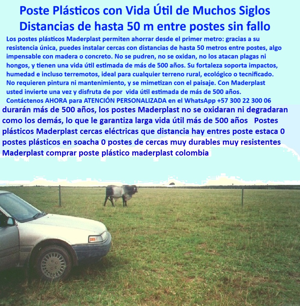 Postes Análisis Precios Económicos Poste Bajo Costo Estudio Precios APU Maderplast 0 módulo de cerca ecológica cerca eléctrica plástico rural alternativa cultivo tecnificado con cercas postes cerca en proyectos sostenibles ¿Qué poste dura más de 30 años en campo?, - sistema de cercado sin óxido ni desgaste, - Solución plástica contra el desgaste del concreto, - instalación de cercas con menos postes más economía, - Ahorro visualizado con menos postes por hectárea, - sistema de división agrícola con mínimo impacto ambiental, - postes-reciclados-de-polímero, - ¿Qué distancia puede haber entre postes de cerca?, - La foto muestra una imagen real tomada en la finca del difunto don Víctor Carranza, en los Llanos Orientales, Villavicencio, Colombia. En ella se observa un automóvil estacionado entre postes plásticos Maderplast con una separación de casi 50 metros, sirviendo como referencia de escala visual. Esta configuración permite ahorrar postes sin comprometer la tensión del alambre ni la seguridad del ganado. Los postes Maderplast no se oxidan, no se parten ni se pudren; están hechos de polímero reciclado estructural que soporta impactos, humedad, calor y el paso del tiempo. Su vida útil estimada es de más de 500 años, sin pintura, sin mantenimiento y con memoria plástica. Esta solución permite instalaciones rápidas, duraderas y sostenibles, ideales para pastoreo rotacional, cercas eléctricas o proyectos rurales de gran escala. Con Maderplast, invierte una vez y olvídate de reemplazos. Maderplast es futuro, resistencia y ahorro rural., - Instalación de largo alcance sin desgaste visible, - cercado para ganado en terrenos blandos y encharcados, - sustituto de madera para cercas ganaderas intensivas, - cercas-a-50-metros-entre-postes, - poste-plástico-de-larga-duración, - Sistema de cercas sin madera en hacienda ganadera, - tecnología rural sin mantenimiento para 500 años, - postes plásticos instalados a 50 metros, - Campo plano con cercado de poste reciclado sin concreto, - postes-para-potreros-extensos, - inversión en postes que no requieren pintura, - cercas eléctricas rurales a 50 metros entre postes, - postes-durables-para-ganado, - cerca-sin-madera-ni-cemento, - Fotografía tomada en los Llanos, pradera húmeda con ganado, - solución ecológica para cercas rurales, - postes sin hierro ni cemento para larga vida útil, - poste para cercado sin mantenimiento por siglos, - solución definitiva para cerramientos sin reemplazo, - postes resistentes al clima y al paso del ganado, - postes rurales para zonas húmedas y tropicales, - Auto sirve como escala para medir 50 metros entre postes, - tecnología-rural-sin-mantenimiento, - alternativa-ecológica-a-la-madera, - soluciones-de-cercado-sostenible, - postes para potreros en los Llanos Orientales, - ahorro en instalación de cercas ganaderas durables, - ¿Cuál es la mejor cerca sin mantenimiento?, - Cerca rural sin oxidación ni refuerzos en campo abierto, - cerca ganadera sin cemento ni madera, - postes plásticos para cerca de larga distancia sin fallos, - cercado ganadero ecológico sin concreto ni madera, - solución para proyectos sostenibles sin tala de árboles, - postes con vida útil estimada de 500 años, - cercas modernas para haciendas de ganadería extensiva, - poste plástico que reemplaza al concreto, - poste que resiste impacto, calor y plagas sin fallas, - cómo dividir potreros con menos postes, - ¿Qué tipo de cerca necesita menos postes?, - poste para finca con vida útil superior a 100 años, - Tecnología Maderplast usada en división de potreros, - cercado económico con postes de polímero reciclado, - Postes_Plastico_50_Metros_Entre_Postes_Villavicencio_Maderplast_0.jpg, - poste ecológico con memoria plástica estructural, - ¿Dónde comprar postes que no se oxidan?, - Postes plásticos de cerca alineados a larga distancia, - inversión-inteligente-en-cercas, - cerca eléctrica profesional sin aisladores externos ¿Qué poste dura más de 30 años en campo?, - sistema de cercado sin óxido ni desgaste, - Solución plástica contra el desgaste del concreto, - instalación de cercas con menos postes más economía, - Ahorro visualizado con menos postes por hectárea, - sistema de división agrícola con mínimo impacto ambiental, - postes-reciclados-de-polímero, - ¿Qué distancia puede haber entre postes de cerca?, - La foto muestra una imagen real tomada en la finca del difunto don Víctor Carranza, en los Llanos Orientales, Villavicencio, Colombia. En ella se observa un automóvil estacionado entre postes plásticos Maderplast con una separación de casi 50 metros, sirviendo como referencia de escala visual. Esta configuración permite ahorrar postes sin comprometer la tensión del alambre ni la seguridad del ganado. Los postes Maderplast no se oxidan, no se parten ni se pudren; están hechos de polímero reciclado estructural que soporta impactos, humedad, calor y el paso del tiempo. Su vida útil estimada es de más de 500 años, sin pintura, sin mantenimiento y con memoria plástica. Esta solución permite instalaciones rápidas, duraderas y sostenibles, ideales para pastoreo rotacional, cercas eléctricas o proyectos rurales de gran escala. Con Maderplast, invierte una vez y olvídate de reemplazos. Maderplast es futuro, resistencia y ahorro rural., - Instalación de largo alcance sin desgaste visible, - cercado para ganado en terrenos blandos y encharcados, - sustituto de madera para cercas ganaderas intensivas, - cercas-a-50-metros-entre-postes, - poste-plástico-de-larga-duración, - Sistema de cercas sin madera en hacienda ganadera, - tecnología rural sin mantenimiento para 500 años, - postes plásticos instalados a 50 metros, - Campo plano con cercado de poste reciclado sin concreto, - postes-para-potreros-extensos, - inversión en postes que no requieren pintura, - cercas eléctricas rurales a 50 metros entre postes, - postes-durables-para-ganado, - cerca-sin-madera-ni-cemento, - Fotografía tomada en los Llanos, pradera húmeda con ganado, - solución ecológica para cercas rurales, - postes sin hierro ni cemento para larga vida útil, - poste para cercado sin mantenimiento por siglos, - solución definitiva para cerramientos sin reemplazo, - postes resistentes al clima y al paso del ganado, - postes rurales para zonas húmedas y tropicales, - Auto sirve como escala para medir 50 metros entre postes, - tecnología-rural-sin-mantenimiento, - alternativa-ecológica-a-la-madera, - soluciones-de-cercado-sostenible, - postes para potreros en los Llanos Orientales, - ahorro en instalación de cercas ganaderas durables, - ¿Cuál es la mejor cerca sin mantenimiento?, - Cerca rural sin oxidación ni refuerzos en campo abierto, - cerca ganadera sin cemento ni madera, - postes plásticos para cerca de larga distancia sin fallos, - cercado ganadero ecológico sin concreto ni madera, - solución para proyectos sostenibles sin tala de árboles, - postes con vida útil estimada de 500 años, - cercas modernas para haciendas de ganadería extensiva, - poste plástico que reemplaza al concreto, - poste que resiste impacto, calor y plagas sin fallas, - cómo dividir potreros con menos postes, - ¿Qué tipo de cerca necesita menos postes?, - poste para finca con vida útil superior a 100 años, - Tecnología Maderplast usada en división de potreros, - cercado económico con postes de polímero reciclado, - Postes_Plastico_50_Metros_Entre_Postes_Villavicencio_Maderplast_0.jpg, - poste ecológico con memoria plástica estructural, - ¿Dónde comprar postes que no se oxidan?, - Postes plásticos de cerca alineados a larga distancia, - inversión-inteligente-en-cercas, - cerca eléctrica profesional sin aisladores externos 0 Postes Análisis Precios Económicos Poste Bajo Costo Estudio Precios APU Maderplast 0 módulo de cerca ecológica, - cerca eléctrica plástico rural, - alternativa cultivo-tecnificado-con-cercas, - postes cerca en proyectos sostenibles, 0