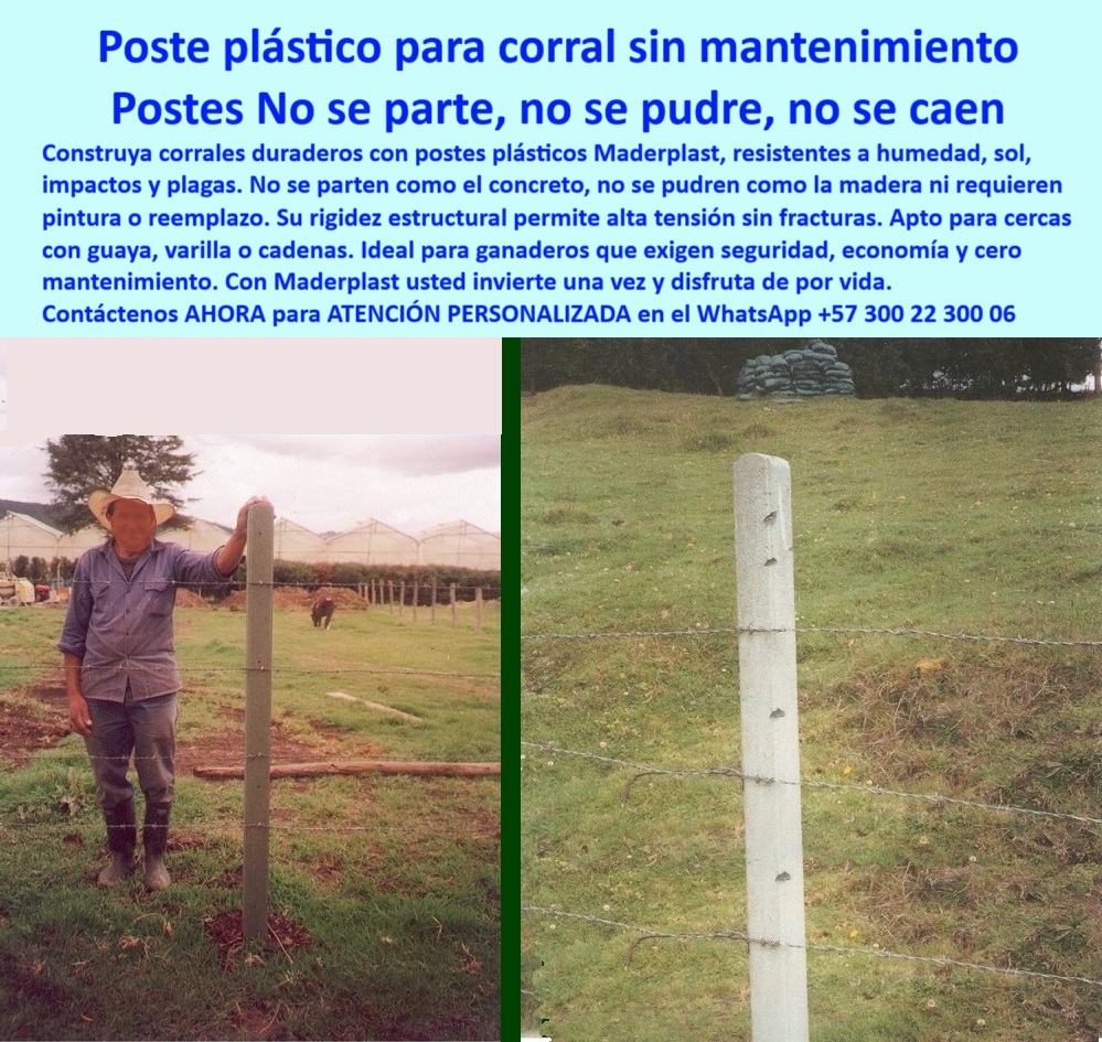 Postes Análisis Precios Económicos Poste Bajo Costo Estudio Precios APU Maderplast 0 poste plástico para ahorro en cercas poste plástico resistente a humedad sistema de cercas inteligente estacones plásticos alta resistencia  poste en cultivo de palma africana Villavicencio, - Mejor poste para dividir potreros en palma africana, - postes sin astillas ni peligro animal, - poste para ganado resistente a la humedad, - Solución para cerca ganadera en clima húmedo, - poste plástico para estacones ganaderos, - poste plástico con ahorro en instalación, - poste con vida útil comprobada, - postes ecológicos para fincas ganaderas, - poste para dividir potreros húmedos, - poste seguro para animales grandes, - La foto muestra una imagen real de un poste plástico Maderplast instalado en un criadero de búfalos en cultivo de palma africana en Villavicencio, Meta. El poste, firme y perfectamente alineado, sostiene una cerca ganadera en terreno húmedo, sin necesidad de aisladores ni mantenimiento. La rigidez y grosor del poste Maderplast permiten tensar el alambre sin riesgo de fractura, ideal para ganado pesado y espacios rurales exigentes. Su color verde natural se mimetiza con el entorno y no requiere pintura ni retoques. No se astilla, no huele, no es comestible ni atractivo para animales, garantizando seguridad y bienestar. Maderplast ofrece así una solución de largo plazo: resistente al sol, lluvia, hongos y termitas. Esta tecnología colombiana reemplaza madera y cemento, reduce costos y mejora la eficiencia de cualquier proyecto agropecuario. Cada poste es una inversión segura que perdura por generaciones., - Poste plástico que soporte tensión y humedad, - postes-sin-mantenimiento, - poste-plástico-inteligente, - ¿Postes durables para terrenos húmedos sin mantenimiento?, - postes-anti-plagas, - poste dieléctrico para cerca eléctrica rural, - poste plástico que reemplaza el concreto, - ¿Qué poste es mejor para corrales de búfalos?, - poste-para-cercas-húmedas, - poste estructural sin deformación, - poste para cultivos de palma y ganadería, - Comparativa de postes plásticos vs madera para finca, - poste resistente con tensión de alambres sin aisladores, - postes que no se parten ni se pudren, - poste plástico para cercado de búfalos, - poste sin astillas ni bordes peligrosos para animales, - ¿Cómo hacer una cerca sin madera ni cemento?, - postes que soportan alta tensión sin romperse, - ¿Cuál es el poste más resistente para fincas?, - cómo hacer corral sin concreto ni madera, - poste sin oxidación en clima cálido y húmedo, - poste sin pintura visible en corral de animales grandes, - poste plástico para corral sin mantenimiento, - postes-para-corrales, - cercas-sin-madera, - poste económico para proyecto ganadero, - Recomendación de poste para corral sin mantenimiento, - Poste_Plástico_Para_Corral_De_Búfalos_Villavicencio_Sin_Mantenimiento_Maderplast_0.jpg, - poste plástico reforzado para cercas rurales, - poste en uso después de décadas sin deterioro, - poste-ganadero-reforzado, - postes para zonas húmedas de Colombia, - poste plástico de color verde para zonas húmedas, - poste instalado en línea recta en pasto plano, - poste ideal para zonas rurales exigentes, - poste instalado con técnica directa sin concreto, - poste-ecológico-económico, - ¿Dónde compro postes que no se pudren?, - postes-plásticos-rurales, - poste duradero para clima tropical, - poste-para-búfalos, - poste ideal para terrenos blandos, - poste que no se oxida ni astilla, - Postes Análisis Precios Económicos Poste Bajo Costo Estudio Precios APU Maderplast 0, - poste plástico instalado en finca ganadera con búfalos, - poste sin mantenimiento para corral permanente 0 Postes Análisis Precios Económicos Poste Bajo Costo Estudio Precios APU Maderplast 0 poste plástico para ahorro en cercas, - poste plástico resistente a humedad, - sistema-de-cercas-inteligente, - estacones plásticos alta resistencia 