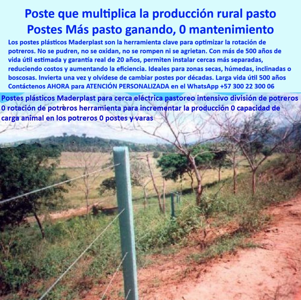 Postes Para Conservación De Cuencas Poste Forestal Ecológico Reciclable Maderplast 0 Poste Multifunción para Terrenos No Convencionales Postes para señalización de montaña Postes para zonas boscosas Poste Anti Deslizamiento poste dieléctrico para carga ganadera en terrenos difíciles, - poste para dividir pasturas sin concreto ni pintura, - poste-plástico-para-división-de-praderas, - poste flexible para terreno con laderas y zonas boscosas, - poste para cerca eléctrica con separación de 25 metros, - poste reforzado que no se cae en pendientes, - Solución para rotación de potreros sin mantenimiento con postes, - Instalación rural con postes ecológicos funcionales, - Sistema ganadero de rotación con poste reciclado, - Recomendación de poste dieléctrico para zonas boscosas, - poste que evita reemplazos por más de dos décadas, - poste plástico para aumentar carga animal en el potrero, - Esta imagen muestra un sistema ganadero de alta eficiencia con postes reciclados Maderplast, diseñados para aumentar la productividad mediante la rotación de potreros. Instalados en terrenos inclinados y sin mantenimiento, los postes Maderplast soportan sol, humedad, impactos y presión animal sin oxidarse ni deformarse. Son ideales para zonas secas o boscosas donde se requiere durabilidad, ligereza y firmeza. Representan una inversión ecológica y rentable para ganaderos que buscan eficiencia real y reducción de costos., - poste de polímero resistente para ganado en rotación, - Cerramiento ganadero en zona tropical con poste plástico, - poste que incrementa productividad en ganadería extensiva, - ¿Qué poste aumenta la eficiencia de la rotación de potreros?, - ¿Dónde comprar postes reciclados para cercas eléctricas duraderas?, - poste-reciclado-para-potreros-tecnificados, - Poste reciclado para cercas en terrenos con ladera o montaña, - Terreno con poste firme sin concreto ni pintura, - poste-para-terrenos-inclinados-y-boscosos, - poste con soporte estructural para zonas erosionables, - poste para electrificar cercas en terrenos ganaderos, - ¿Qué poste me sirve para cercar potreros inclinados sin mantenimiento?, - poste-plastico-rotacion-potreros-productividad-ganadera.jpg, - poste ecológico para cerramientos en potreros tecnificados, - poste reciclado certificado para uso rural intensivo, - poste-electrificable-sin-aisladores, - poste-sin-mantenimiento-para-cercas-ganaderas, - poste-para-carga-animal-sostenida, - Cerca con postes plásticos delimitando potrero boscoso, - ¿Qué poste plástico puedo usar en zonas de difícil acceso?, - poste reciclado para delimitar zonas ganaderas extensas, - poste-sólido-para-pastoreo-intensivo, - poste para optimizar sistemas de rotación de potrero, - poste-durable-para-zonas-difíciles, - Delimitación de pradera con poste reciclado liviano, - ¿Cuál es el mejor poste para dividir pasto en ganadería intensiva?, - ¿Qué poste mejora la productividad ganadera en pastoreo intensivo?, - poste que no se quiebra en climas secos o húmedos, - poste plástico reciclado para rotación ganadera eficiente, - poste sin óxido ideal para rotación de praderas, - poste-ecológico-para-rotación-de-pastos, - Poste plástico ecológico para mejorar carga animal en potrero, - Poste plástico para zona seca sin mantenimiento, - poste sin mantenimiento para dividir potreros inclinados, - poste reciclado para maximizar pasto y reducir varas, - poste para mejorar productividad ganadera sin mantenimiento, - poste técnico para eficiencia en división de pasto, - Cerca estructurada con postes reciclados resistentes, - poste liviano con anclaje firme para cercas en montaña, - poste-tecnológico-para-agroindustria, - poste estructural para pastoreo intensivo en zonas secas, - poste ecológico para ahorro en sistemas rotacionales, - Poste vertical ecológico en pastizal inclinado, - Poste ecológico instalado en terreno inclinado rural 0 Postes Para Conservación De Cuencas Poste Forestal Ecológico Reciclable Maderplast 0 Poste Multifunción para Terrenos No Convencionales, - Postes para señalización de montaña, - Postes para zonas boscosas, - Poste Anti-Deslizamiento 0
