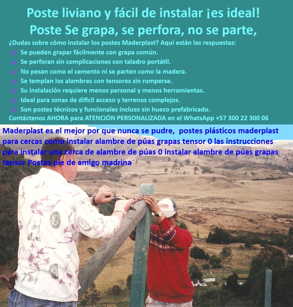Postes Para Conservación De Cuencas Poste Forestal Ecológico Reciclable Maderplast 0 Poste Técnico para Geografías Complejas Postes livianos para terrenos remotos Postes para terrenos inclinados Poste para Senderos Naturales poste de polímero perforable con taladro portátil, - Poste verde sostenido por dos personas sobre una ladera, - ¿Qué poste para cercas no se parte con el taladro?, - poste para cercas que se perfora sin romperse, - poste-plástico-para-taladro-portátil, - poste-fácil-de-grapar-en-campo, - poste que no se parte al atornillar, - poste reciclado para uso en reservas o cuencas, - poste-plástico-liviano-para-instalación-rápida, - poste-para-senderos-naturales-y-rurales, - ¿Cómo se grapa un poste de plástico para cerca?, - poste-reciclado-para-geografías-complejas, - poste para terrenos con alta pendiente o ladera, - poste para cerca de alambre con tensor, - poste estructural para anclar cercas ganaderas, - poste que permite grapado sin aisladores, - ¿Dónde compro postes plásticos que se perforen fácil?, - poste que no se agrieta al colocar tensor, - Poste liviano en instalación sobre terreno rocoso, - poste de fácil instalación para potrero inclinado, - poste-plástico-sin-cemento-ni-astillas, - poste plástico para zonas inaccesibles o remotas, - Cerca ganadera en pendiente con poste sin concreto, - Poste plástico siendo instalado con grapa en zona montañosa, - poste-para-cercado-con-tensor, - poste ecológico con sujeción técnica en campo, - Alternativa a postes de madera que se puedan grapar, - ¿Qué poste puedo instalar sin concreto en terreno difícil?, - poste-plástico-sin-maquinaria-pesada, - poste con memoria plástica que no se astilla, - Sistema de anclaje con tensor en poste plástico, - Trabajo de campo con poste plástico en finca inclinada, - ¿Qué poste permite instalación en terrenos inclinados sin maquinaria?, - poste resistente a torsión en terrenos inclinados, - poste plástico liviano para fácil instalación rural, - Poste técnico para áreas remotas con grapado sencillo, - poste-plástico-para-reservas-ambientales, - poste técnico para instalar con grapas comunes, - poste para cercado con pie de amigo, - Uso de herramienta simple sobre poste de polímero, - poste para zonas rurales sin maquinaria pesada, - Poste plástico para cercas rurales que no requiere concreto, - poste con instalación rápida sin cemento ni grietas, - Instalación manual de poste reciclado en terreno rural, - poste plástico fácil de anclar con grapas y tornillos, - poste-para-cercas-en-terrenos-inclinados, - Técnica de instalación rural con poste perforable, - Poste plástico usado en cercado ecológico de cuenca, - poste-plastico-instalacion-grapas-terreno-inclinado-rural.jpg, - poste resistente para cercas ganaderas sin herramientas especiales, - poste ganadero para áreas sin acceso vehicular, - ¿Qué poste es ideal para laderas o pendientes?, - poste ideal para senderos ecológicos y reservas, - poste reciclado para geografía compleja sin concreto, - poste plástico compatible con herramientas estándar, - Poste liviano de polímero para caminos ecológicos, - La imagen muestra una instalación real de un poste plástico Maderplast sobre terreno montañoso, realizada sin concreto, con herramientas básicas y sin fracturas. Estos postes Maderplast son ideales para zonas de difícil acceso, ya que permiten el grapado y perforación sencilla con taladro portátil. Su ligereza facilita el transporte y su resistencia estructural evita roturas al instalar tensores o accesorios. Perfectos para laderas, senderos ecológicos, caminos rurales y cuencas hídricas, ofrecen una solución práctica y duradera sin maquinaria pesada ni mantenimiento. 0 Postes Para Conservación De Cuencas Poste Forestal Ecológico Reciclable Maderplast 0 Poste Técnico para Geografías Complejas, - Postes livianos para terrenos remotos, - Postes para terrenos inclinados, - Poste para Senderos Naturales,