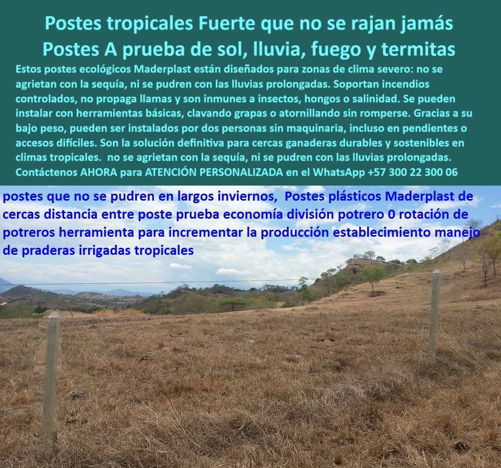Postes Para Conservación De Cuencas Poste Forestal Ecológico Reciclable Maderplast 0 Postes ecológicos Postes para difícil acceso Poste para Caminos Empinados Poste para Acantilados Seguros Poste Inteligente Zonas Inestables poste de polímero resistente para clima severo, - poste que evita reemplazos frecuentes en fincas, - poste para ganadería en suelos irregulares, - poste que se instala sin maquinaria pesada, - poste que soporta cambios de temperatura extremos, - poste-ecológico-para-cercas-rurales, - Vista lejana de potrero tropical con cerco blanco, - poste con alto desempeño en zonas montañosas, - poste estructural para caminos empinados rurales, - poste-fácil-de-instalar-en-acantilados, - poste sin mantenimiento para cercas tropicales, - poste-para-división-de-potreros-tropicales, - poste plástico para zonas tropicales húmedas, - poste sin pudrición para clima extremo rural, - poste para praderas tropicales intensivas, - poste de carga ligera y máxima firmeza, - poste plástico para terrenos secos y húmedos, - poste ecológico para ganadería de montaña, - Cerca ecológica instalada sobre pradera árida, - ¿Dónde consigo postes ecológicos para clima tropical?, - poste tropical que no se oxida ni se parte, - Instalación de postes livianos en cerro inclinado, - poste-liviano-y-resistente-al-fuego, - poste para conservación ambiental ganadera, - Línea de postes tropicales para cercas técnicas, - poste duradero sin rajaduras ni deformación, - poste reciclable para cercado en cuencas altas, - En la imagen se observan postes ecológicos Maderplast instalados sobre una pradera tropical de difícil acceso. Estos postes Maderplast, fabricados con polímero reciclado, son resistentes al sol intenso, lluvias prolongadas, fuego e insectos. No requieren maquinaria pesada para su instalación, ni pintura ni mantenimiento posterior. Ideales para ganadería en zonas secas o húmedas, permiten una cerca firme, ecológica y durable, incluso en pendientes o terrenos inestables. Su diseño liviano los hace funcionales donde otros postes fallan., - Postes sin concreto en suelo con baja humedad, - ¿Cuál es el mejor poste para dividir potreros tropicales?, - poste-sin-pudrición-ni-oxidación, - poste para acantilados y laderas inestables, - Postes alineados en campo con escasa vegetación, - poste resistente a lluvias prolongadas y sequía, - poste-sin-mantenimiento-para-montañas, - poste-plástico-para-clima-tropical, - poste-para-cercas-en-zonas-difíciles, - poste fácil de perforar para cercas ganaderas, - poste técnico para división de potreros rurales, - poste anticorrosión para terrenos con humedad, - Postes blancos separados marcando terreno seco tropical, - poste-para-cercas-en-cuencas-altas, - poste resistente para fincas con clima tropical, - poste con resistencia a fuego e insectos, - poste ideal para cercas ecológicas duraderas, - poste-ecologico-clima-tropical-resistente-sin-mantenimiento.jpg, - poste con memoria plástica y alta flexibilidad, - Postes erguidos sobre terreno hostil y pedregoso, - poste para potreros tropicales sin mantenimiento, - Terreno inclinado delimitado con postes resistentes, - ¿Postes fáciles de instalar en terreno empinado?, - poste liviano que se instala sin maquinaria rural, - ¿Qué poste no se daña con lluvias prolongadas?, - ¿Qué poste aguanta el sol, la lluvia y las termitas?, - poste-reciclado-para-climas-extremos, - División rural con postes plásticos en zona seca, - poste ecológico reciclado para difícil acceso 0 Postes Para Conservación De Cuencas Poste Forestal Ecológico Reciclable Maderplast 0 Postes ecológicos, - Postes para difícil acceso, - Poste para Caminos Empinados, - Poste para Acantilados Seguros, Poste Inteligente Zonas Inestables