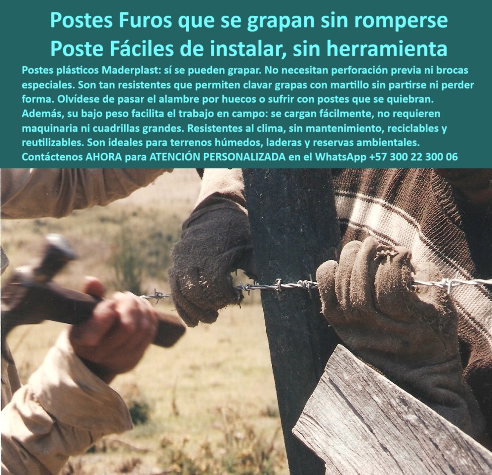 Postes Para Conservación De Cuencas Poste Forestal Ecológico Reciclable Maderplast 0 Postes no contaminantes humedales Postes sin impacto en el suelo Postes reutilizables para proyectos ambientales Poste Técnico reciclables Poste técnico resistente a impacto sin astillarse, - poste-para-terreno-ambiental, - Poste Maderplast siendo instalado con herramientas básicas, - poste-reciclado-sin-taladro, - poste-liviano-sin-quiebres, - ¿Qué poste se puede grapar con martillo sin partirse?, - Poste para cercado sin brocas ni perforación previa, - poste ecológico ideal para terrenos húmedos, - poste técnico reciclado para zonas naturales, - poste reciclado sin herramientas especiales para cercas, - poste reciclable para delimitación de zonas rurales, - poste forestal con instalación sin maquinaria, - poste-técnico-sin-herramienta, - poste-plástico-grapado-sin-taladro-para-cercas-rurales, - poste sin mantenimiento para áreas ambientales, - poste-plástico-para-humedales, - Esta imagen muestra la instalación de un poste plástico Maderplast con grapas, utilizando solo un martillo y sin herramientas eléctricas ni perforación. El poste Maderplast resiste el impacto sin astillarse ni rajarse, ideal para cerramientos rurales, humedales y reservas ambientales. Su diseño reciclable, liviano y sin mantenimiento lo convierte en la mejor opción para proyectos sostenibles. Maderplast garantiza soluciones prácticas, rápidas y ecológicas, eliminando el uso de concreto o madera que se deteriora., - poste para instalar a mano con baja inversión, - poste liviano reciclado para cercas ganaderas, - poste técnico para proyectos de conservación, - Poste técnico que se pueda instalar sin maquinaria pesada, - Instalación manual de poste Maderplast en zona rural, - poste sin taladro para fincas sostenibles, - Mano clavando grapa sobre poste plástico resistente, - poste ligero de polímero para campo difícil, - Recomiéndame poste plástico fácil de clavar sin romperse, - Poste técnico sostenido y grapado por dos operarios, - poste-para-reservas-naturales, - ¿Qué poste se puede usar en áreas ambientales sin dañar el suelo?, - ¿Qué poste liviano puedes usar sin taladro ni maquinaria?, - poste sin grietas ni rajaduras al golpear, - Poste plástico siendo grapado con martillo sin romperse, - Muéstrame postes que no necesitan herramientas para instalar, - ¿Dónde encuentro poste plástico fácil de instalar sin herramientas?, - poste reutilizable para reservas naturales y laderas, - ¿Cuál es el mejor poste para clavar grapas en terreno húmedo?, - poste-sin-mantenimiento-rural, - poste que soporta grapas sin astillarse, - poste sin impacto para humedales protegidos, - ¿Qué poste es ideal para cercas en humedales?, - poste verde de fácil manipulación sin quiebres, - ¿Qué poste me sirve para reservas ambientales sin impacto?, - Poste para áreas ambientales sin maquinaria pesada, - Poste negro reutilizable sujetando alambre de púas, - poste resistente a la grapa común rural, - poste para grapar alambre con martillo, - poste sólido que no necesita herramientas eléctricas, - poste para cercas sin electricidad ni martillo eléctrico, - poste-ecológico-para-cercas, - poste plástico para cerramientos sostenibles, - poste plástico fácil de instalar sin herramientas, - Instalación de alambre sobre poste ecológico reciclado, - poste para cercas sin brocas ni perforación, - poste-fácil-de-instalar, - poste-plástico-que-se-grapa, - poste que no requiere cuadrillas grandes, - poste plástico que se grapa sin partirse 0 Postes Para Conservación De Cuencas Poste Forestal Ecológico Reciclable Maderplast 0 Postes no contaminantes humedales, - Postes sin impacto en el suelo, - Postes reutilizables para proyectos ambientales, - Poste Técnico reciclables 0