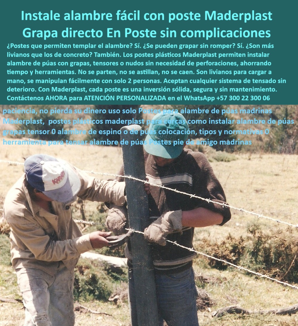 Postes Para Conservación De Cuencas Poste Forestal Ecológico Reciclable Maderplast 0 Postes para monitoreo de fauna silvestre Postes que no se pudren Postes para reforestación sostenible Poste para Protección Cortes Vertical 0 poste sin concreto para cercas con púas, - poste-resistente-a-tensado-extremo, - Recomiéndame un poste plástico para grapar alambre de púas directamente, - Poste para cercas rurales que no necesite herramientas, - poste-sin-herramienta-para-cercas, - poste-con-martillo-sin-rajaduras, - poste para dividir potreros con alambre de espino, - poste para colocar grapas con martillo directo, - poste que no requiere maquinaria pesada, - poste ideal para alambrado sin brocas, - ¿Qué poste resiste alambres tensados sin deformarse?, - Trabajadores instalando alambre de púas en poste plástico, - poste para madrinas pie de amigo, - poste plástico para cercas con alambre tensor, - Poste estructural sin brocas en terreno ganadero, - poste-para-cerca-sin-taladro, - ¿Qué poste puedo usar que no se astille al colocar tensores?, - poste dieléctrico para alambrado ganadero, - poste rural para fijación sin complicaciones, - Poste reciclado resistente para cercas sin concreto, - poste-plástico-grapado-directo, - poste estructural sin riesgo de astillado, - ¿Cuál es el poste más fácil para instalar alambre de púas?, - poste-de-fácil-instalación-rural, - poste liviano para carga manual en potreros, - La imagen muestra la instalación directa de alambre de púas sobre un poste plástico Maderplast, sin perforaciones, sin herramientas eléctricas y sin romper el material. Estos postes Maderplast permiten fijar grapas con martillo y son tan resistentes que no se astillan ni ceden bajo tensión. Fabricados en polímero reciclado, son livianos, durables, dieléctricos, sin mantenimiento y perfectos para ganadería, cercas vivas y zonas rurales exigentes. Ideales para quienes buscan una solución práctica, fuerte y sostenible en cercados de alto rendimiento., - poste que ahorra tiempo en instalación de cercas, - poste para alambrado de púas fácil instalación, - Fijación de alambre en poste ecológico y resistente, - poste que no se parte al martillar grapas, - poste-reciclado-contra-impactos, - Grapado directo con martillo en poste Maderplast reciclado, - poste-dieléctrico-para-potreros, - poste-para-grapar-sin-romper, - poste reciclado para alambrado sin perforación previa, - poste sin oxidación para alambrado rural intensivo, - ¿Dónde venden postes que no se parten al martillar grapas?, - ¿Qué poste sirve para colocar alambre sin que se rompa?, - Poste de fácil instalación para alambrado con tensión sin mantenimiento, - Instalación de cerca con poste que no se parte, - poste funcional sin riesgo de rajadura, - poste para cercados eficientes en ganadería, - poste-liviano-para-alambre-de-púas, - Trabajo manual de dos personas instalando cerca eficiente, - poste para cerca con grapas sin astillarse, - Poste plástico cuadrado siendo grapado sin romperse, - poste para cercas con tensión sin rajaduras, - Imagen de cercado con poste plástico grapa directa, - poste para instalación con tensor sin taladro, - poste plástico para finca sin mantenimiento, - poste ecológico resistente a impacto ganadero, - Poste plástico sin taladro para cercado rural, - poste económico que no requiere herramientas, - poste plástico para grapar alambre sin herramientas, - poste-plastico-grapado-directo-alambre-de-puas-maderplast.jpg, - ¿Qué poste puedo usar sin broca ni taladro?, - Poste para alambre de espino con fijación sencilla Postes Para Conservación De Cuencas Poste Forestal Ecológico Reciclable Maderplast 0 Postes para monitoreo de fauna silvestre, - Postes que no se pudren, - Postes para reforestación sostenible, - Poste para Protección Cortes Vertical
