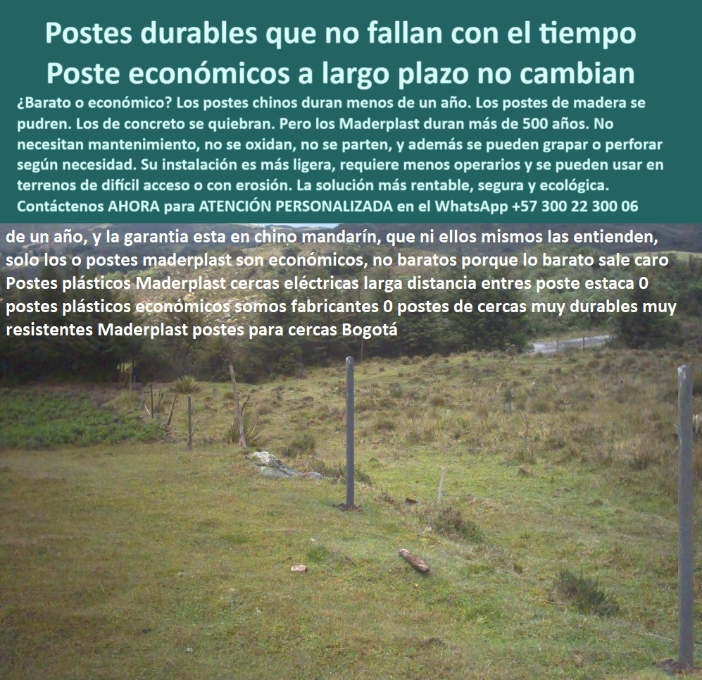 Postes Para Conservación De Cuencas Poste Forestal Ecológico Reciclable Maderplast 0 Postes sin mantenimiento Poste para Áreas de Erosión Postes para acantilados Poste que reemplaza el concreto Poste que Reduce Costos loma poste sin concreto ideal para instalar en lomas, - poste para cerramiento de reservas ambientales, - poste económico para proyectos de reforestación, - poste para zonas rurales con alto desgaste, - poste sin grietas para climas extremos, - poste-fuerte-sin-mantenimiento, - poste-ecológico-sin-concreto, - poste-económico-para-cercas-forestales, - Recomiéndame un poste reciclado para zonas inclinadas, - Alternativa al poste de concreto en terrenos rurales, - poste para cerco ecológico en suelos inestables, - poste de polipropileno para cerramiento forestal, - poste-para-proyectos-de-conservación, - Postes reciclados instalados en zona montañosa con erosión, - ¿Qué poste usar para cercar zonas con erosión?, - poste-plástico-para-zonas-rurales, - Postes alineados en campo erosionado para conservación rural, - poste plástico para áreas sin maquinaria pesada, - Cerramiento económico en suelo erosionado con postes reciclados, - ¿Qué poste reemplaza al concreto en cercas?, - ¿Dónde venden postes duraderos para cerros y lomas?, - poste de cerco que reduce costos operativos, - Área rural inclinada con cercado de postes ecológicos, - poste-durable-para-acantilados, - poste liviano fácil de transportar a zonas lejanas, - poste-liviano-para-terrenos-inclinados, - poste ecológico que reemplaza madera o acero, - Poste sin mantenimiento para suelos blandos y laderas, - Zona forestal protegida con cerca plástica sin mantenimiento, - poste para cercas eléctricas sostenibles en montaña, - Sistema de cerco resistente instalado sobre taludes rurales, - poste técnico para proyectos de conservación, - poste reciclado apto para obras públicas rurales, - poste duradero que no se tuerce ni raja, - poste-reciclado-para-erosion-forestal-sin-mantenimiento.jpg, - Terreno con vegetación escasa delimitado con postes verdes, - poste estructural liviano para terrenos inclinados, - ¿Qué poste es mejor para instalar cercas sin maquinaria?, - poste-que-reduce-costos-en-cercas, - La imagen muestra una cerca instalada en una zona erosionada usando postes plásticos Maderplast, resistentes y ecológicos. Estos postes Maderplast, fabricados en polímero reciclado, no se oxidan, no se parten y son ideales para terrenos difíciles, laderas, zonas rurales o proyectos de conservación. Soportan impacto, clima extremo y ofrecen alta durabilidad sin necesidad de mantenimiento. Gracias a su peso liviano y resistencia estructural, son perfectos para reemplazar postes de concreto o madera en zonas donde la maquinaria no accede fácilmente. Son la mejor opción para conservar, proteger y delimitar con economía inteligente., - Poste plástico resistente al clima instalado en montaña, - ¿Poste liviano y fuerte para terrenos complicados?, - poste plástico resistente para zonas de erosión, - Postes sólidos plásticos para reemplazo de concreto en campo, - Imagen de cerca ecológica con postes sobre terreno inclinado, - poste económico de larga duración para cercas, - poste reciclado para reemplazar postes de concreto, - poste que no necesita mantenimiento ni pintura, - poste resistente para delimitar zonas forestales, - poste durable para áreas de difícil acceso, - poste dieléctrico que no se parte ni oxida, - poste plástico con garantía de más de 30 años, - poste-reciclado-para-zonas-erosionadas, - poste firme para conservar laderas y taludes, - ¿Cuál es el poste más económico que no se oxida?, - poste-técnico-para-laderas, - ¿Qué poste sirve para conservar áreas erosionadas? 0 Postes Para Conservación De Cuencas Poste Forestal Ecológico Reciclable Maderplast 0 Postes sin mantenimiento, - Poste para Áreas de Erosión, - Postes para acantilados, - Poste que reemplaza el concreto, - Poste que Reduce Costos loma