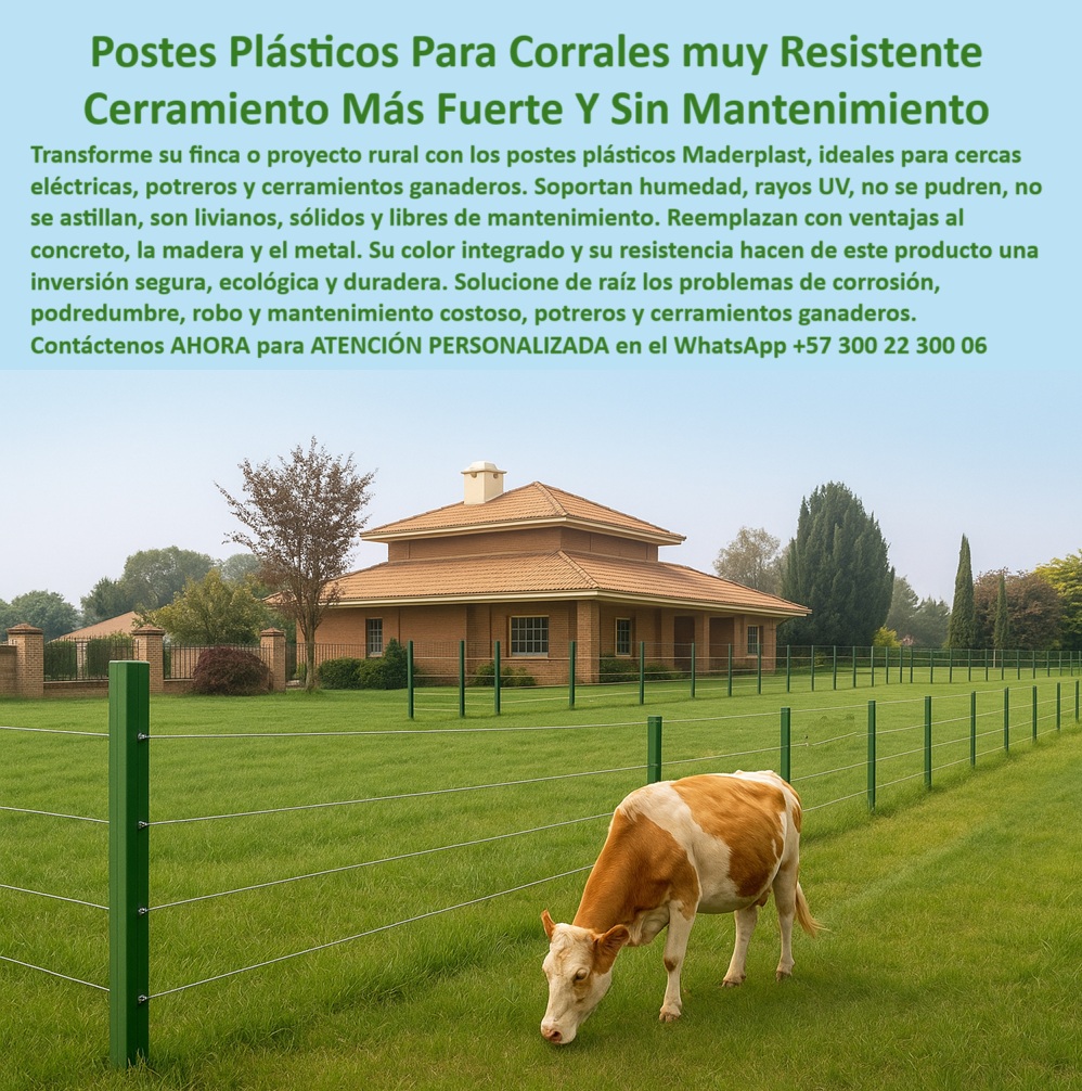 Postes Para Corral Portátil Postes Plásticos Corral Postes Tablas Varetas Maderplast 0 cómo instalar Corral con poste reciclado cómo instalar Corral cerco eléctrico en finca ganadera comparación poste plástico concreto Corral poste fuerte que no se oxida ni se astilla, - poste reciclado usado en finca sin mantenimiento, - poste reciclado para divisiones de potreros, - poste ligero y sólido sin romperse, - comparación entre poste de concreto y poste reciclado, - poste rural sin pintura con estética conservada, - poste-para-potreros-elegantes, - ¿Qué poste sirve para cerco decorativo sin mantenimiento?, - cercado elegante con postes plásticos sólidos, - En la imagen se aprecia una instalación real con más de 20 años de uso continuo en el conjunto cerrado La Vuelta del Río, vía Cota–Cajicá, Cundinamarca. Los postes plásticos de Maderplast continúan firmes y funcionales, habiendo requerido solo una repintada superficial. Son ideales para corrales decorativos y resistentes, sin mantenimiento, sin óxido, sin pintura y 100% reciclables. La tecnología Maderplast ofrece una solución definitiva para dividir potreros o cerramientos rurales sin los costos ni fallos de la madera o el concreto. Una inversión segura para fincas ganaderas y residenciales con visión a largo plazo., - poste que delimita prado sin esfuerzo, - ¿Poste plástico para potrero que no necesite pintura?, - poste para cercado sin riesgo de corrosión, - poste reciclado para dividir potreros en zona rural, - poste plástico en zona residencial ganadera, - poste-para-conjunto-cerrado, - poste resistente para finca ganadera moderna, - poste verde brillante frente a casa campestre, - Poste_Plástico_Corral_Decorativo_Cota_Cajicá_20_Años_Sin_Mantenimiento.jpg, - poste plástico para corral en finca turística, - poste reciclado que conserva su forma original, - poste ideal para corral ganadero sin repintar, - poste ganadero para proyectos con bajo mantenimiento, - corral con estética y resistencia comprobada, - poste-para-finca-turística, - poste para cerca sin mantenimiento estructural, - poste duradero para electrificación segura en potrero, - poste plástico para reemplazar madera y concreto, - poste-sin-mantenimiento-rural, - poste que reemplaza postes de concreto en corral, - poste para cercado decorativo sin pintura, - poste ganadero sin pudrición ni robo, - ¿Cómo instalar un corral sin usar madera ni concreto?, - poste-resistente-sin-óxido, - estructura plástica sin fracturas visibles, - poste reciclado decorativo para finca rural, - poste-plástico-corral, - instalación de cerco ecológico con poste plástico, - instalación ganadera con postes alineados, - poste con color integrado sin decoloración, - cercado decorativo para finca con poste sin óxido, - poste ideal para cerramiento ornamental ganadero, - ¿Dónde compro poste que no se oxide ni se pudra?, - poste seguro para zonas con humedad constante, - cerca funcional y estética en zona residencial rural, - poste-para-cerca-sin-pintura, - poste-reciclado-decorativo, - poste-con-color-integrado, - poste para finca que dura más de 20 años, - poste-ganadero-cota-cajicá, - poste ecológico con estética rural duradera, - ¿Cuál es el mejor poste para cercas en fincas ganaderas?, - poste técnico para división de áreas en campo, - poste plástico para vacas sin electrificación, - poste que combina con pasto y entorno rural, - poste para cerco perimetral decorativo rural, - poste sin mantenimiento para conjunto cerrado 00 Postes Para Corral Portátil Postes Plásticos Corral Postes Tablas Varetas Maderplast 0 cómo instalar Corral con poste reciclado, - cómo instalar Corral cerco eléctrico en finca ganadera, - comparación-poste-plástico-concreto-Corral 00