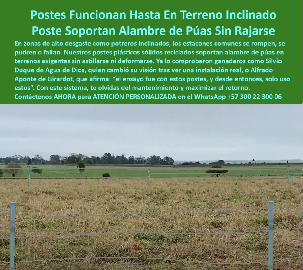 Postes Para División De Potreros Postes Plásticos Sólidos Resistentes Maderplast 0 Cómo cercar un terreno inclinado con alambre de púas estacones sin astillas ni rajaduras consejos para cercas exteriores poste plástico Fuerte Poste plástico azul para cerca de alambre de púas rural, - Dame una opción de poste sin concreto para dividir terrenos ganaderos, - poste sin astillas para sistemas de alambre, - Postes verticales resistentes alineados sobre pasto seco, - Cercado rural con postes que no se oxidan ni parten, - poste para cerca de alambre de púas reciclado, - poste con memoria plástica para tracción fuerte, - poste-plástico-terreno-inclinado, - ¿Cuál es el mejor poste para dividir un potrero húmedo?, - poste-dieléctrico-zonas-húmedas, - ¿Dónde compro postes plásticos para alambre de púas duraderos?, - poste sin mantenimiento para división ganadera, - poste para cerca eléctrica con resistencia mecánica, - poste que no requiere aisladores ni mantenimiento, - poste-ganadero-resistente-al-clima, - poste que no se parte con tensión del alambre, - poste-para-cercas-en-pendientes, - poste-plástico-resistente-para-terrenos-inclinados-con-alambre, - poste ecológico para cercas rurales exigentes, - poste fuerte para cercar en zonas inclinadas, - ¿Qué poste aguanta tensión y no se parte con el ganado?, - poste para división rural con alambre tenso, - poste ideal para climas extremos y rudos, - poste de polímero técnico para uso rural, - poste duradero para fincas en zonas húmedas, - poste-reciclado-cerca-ganadera, - poste económico para reemplazar estacones de madera, - poste sólido para potreros con humedad constante, - poste para instalar cercas sin concreto, - ¿Qué poste no necesita aisladores ni pintura para cerca?, - poste plástico reciclado para terrenos fangosos, - Poste ideal para zonas ganaderas con clima extremo y barro, - poste para ganaderos que buscan larga duración, - ¿Qué poste sirve para cercas en terrenos inclinados?, - Instalación de postes plásticos reciclados sin concreto, - poste estructural para ganadería en montaña, - poste para ganadería intensiva sin pintura, - Cerca de alambre tensa con postes de polímero estructural, - Recomiéndame un poste plástico reciclado para terrenos rurales difíciles, - poste plástico resistente para terreno inclinado, - Esta imagen muestra una instalación real de postes plásticos Maderplast alineados sobre terreno inclinado para soportar cercas de alambre de púas sin rajarse. Los postes Maderplast, fabricados en polímero reciclado sólido, son la mejor solución para ganaderos que buscan resistencia estructural, cero mantenimiento y larga vida útil. Son ideales para terrenos húmedos, montañosos o de difícil acceso, ya que no requieren aisladores, no se pudren, no se astillan y resisten la tensión del alambre con memoria plástica. Perfectos para división de potreros, delimitación de fincas o proyectos de ganadería moderna en climas extremos., - ¿Qué poste funciona con alambre de púas sin romperse?, - ¿Cuál es el mejor poste para cercas en fincas con pendiente y humedad?, - poste-sólido-polímero-reciclado, - poste-sin-mantenimiento-rural, - poste dieléctrico para potreros con pendientes, - poste-fuerte-para-potreros, - Postes plásticos firmes sin pintura en zona ganadera, - poste para proyectos rurales de larga duración, - Finca ganadera con postes sólidos en terreno inclinado, - poste-para-división-de-finca, - poste que resiste impacto animal y clima, - poste para cerramiento ganadero profesional, - División de potrero en clima húmedo con postes plásticos, - Postes plásticos para ganado en finca de ladera, - Estacones rectos reciclados para terreno agrícola inclinado, - poste-para-alambre-de-púas 0 Postes Para División De Potreros Postes Plásticos Sólidos Resistentes Maderplast 0 Cómo cercar un terreno inclinado con alambre de púas, - estacones sin astillas ni rajaduras, - consejos-para-cercas-exteriores, - poste plástico Fuerte