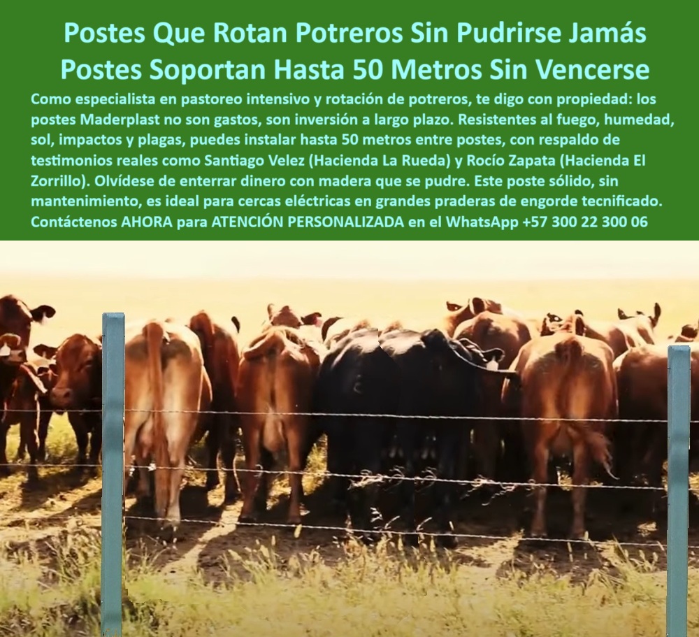 Postes Para División De Potreros Postes Plásticos Sólidos Resistentes Maderplast 0 cerca con postes plásticos fuertes tecnología pasiva para cercas resistentes al fuego 00 Postes Para División De Potreros Postes Plásticos Sólidos Resistentes Maderplast poste ignífugo que resiste sol y cambios climáticos extremos, - Potrero cerrado con postes plásticos Maderplast ecológicos, - poste para ganado de engorde que no se daña con orina, - Potrero rotacional cercado con postes firmes y reciclados, - poste-maderplast-para-líneas-largas, - poste seguro para líneas eléctricas ganaderas sin aisladores, - poste-para-pastoreo-tecnificado, - cerca-ganadera-sin-mantenimiento, - poste dieléctrico para cercas eléctricas de larga distancia, - ¿Qué poste plástico me recomiendan para pastoreo rotacional?, - poste Maderplast para cercas con alta eficiencia operativa, - ¿Cuál es el mejor poste para cercas ganaderas dieléctricas?, - Poste reciclado delimitando zona de alta carga ganadera, - Línea de postes sin inclinación para pradera de rotación, - poste-resistente-a-orina-y-sol, - ¿Qué poste sirve para dividir potreros en rotación intensiva?, - poste-sin-oxidación-ni-pintura, - ¿Qué poste me permite instalar cercas a 50 metros sin fallos?, - poste-para-engorde-intensivo, - poste estructural reciclado con larga vida útil comprobada, - poste para potreros que no se vence ni se parte, - poste para potrero extensivo sin riesgo de oxidación, - poste firme para cercas sin deformación ni inclinación, - Ganado confinado con postes dieléctricos sin deformación, - Poste recomendado para rotación de potreros en engorde intensivo, - Poste sin pintura que soporta ambiente ganadero exigente, - Estacas plásticas para engorde tecnificado en campo abierto, - poste reciclado que no se oxida ni se pudre, - cerca-con-postes-reciclables, - poste plástico para división de potreros en rotación intensiva, - ¿Qué poste ecológico resiste sol, orina y pisoteo ganadero?, - poste flexible que no requiere pintura ni aisladores, - cercas-de-alta-densidad-animal, - poste sólido que soporta impacto de ganado pesado, - poste confiable para delimitación rural con cero fallos, - Cerca eficiente con postes resistentes a impacto y humedad, - poste ecológico para engorde tecnificado sin mantenimiento, - poste-plastico-para-rotacion-de-potreros-y-engorde-tecnificado.jpg, - Cercado ecológico en finca de pastoreo rotacional intensivo, - poste reciclable que reemplaza madera o concreto, - rotación-de-potreros-eficiente, - poste para separación de potreros sin maquinaria pesada, - ¿Dónde comprar postes que no se pudren ni se oxidan?, - ¿Cuál es el mejor poste para ganado de engorde pesado?, - poste-plástico-para-potreros, - poste resistente para cercas con separación de hasta 50 metros, - poste económico que reduce el número de estacas por hectárea, - poste liviano para cercas en praderas extensas de pastoreo, - poste plástico ideal para praderas con alta densidad bovina, - Poste duradero para dividir potreros sin mantenimiento constante, - poste sin astillas ni desgaste en ambientes exigentes, - poste estructural para sistemas de manejo ganadero sostenible, - Poste que permite separación de hasta 50 metros sin vencerse, - Postes plásticos en línea recta con separación de 50 metros, - La imagen muestra una cerca ganadera delimitando un potrero intensivo con alta densidad animal, usando postes plásticos Maderplast alineados perfectamente, separados a gran distancia sin perder firmeza. Estos postes son resistentes al fuego, orina, humedad, impactó, sol y plagas, ideales para rotación de potreros en sistemas tecnificados. No se pudren ni se vencen, y no requieren pintura, aisladores ni mantenimiento. Maderplast fabrica postes reciclados, sólidos y ecológicos, que ahorran costos y tiempo al ganadero moderno. Maderplast es la solución definitiva para cercas eléctricas de larga distancia con mínima intervención., - poste técnico para fincas ganaderas de rotación continua, - poste de alta durabilidad para líneas rectas y largas 0 cerca-con-postes-plásticos-fuertes, - tecnología pasiva para cercas resistentes al fuego, - 00