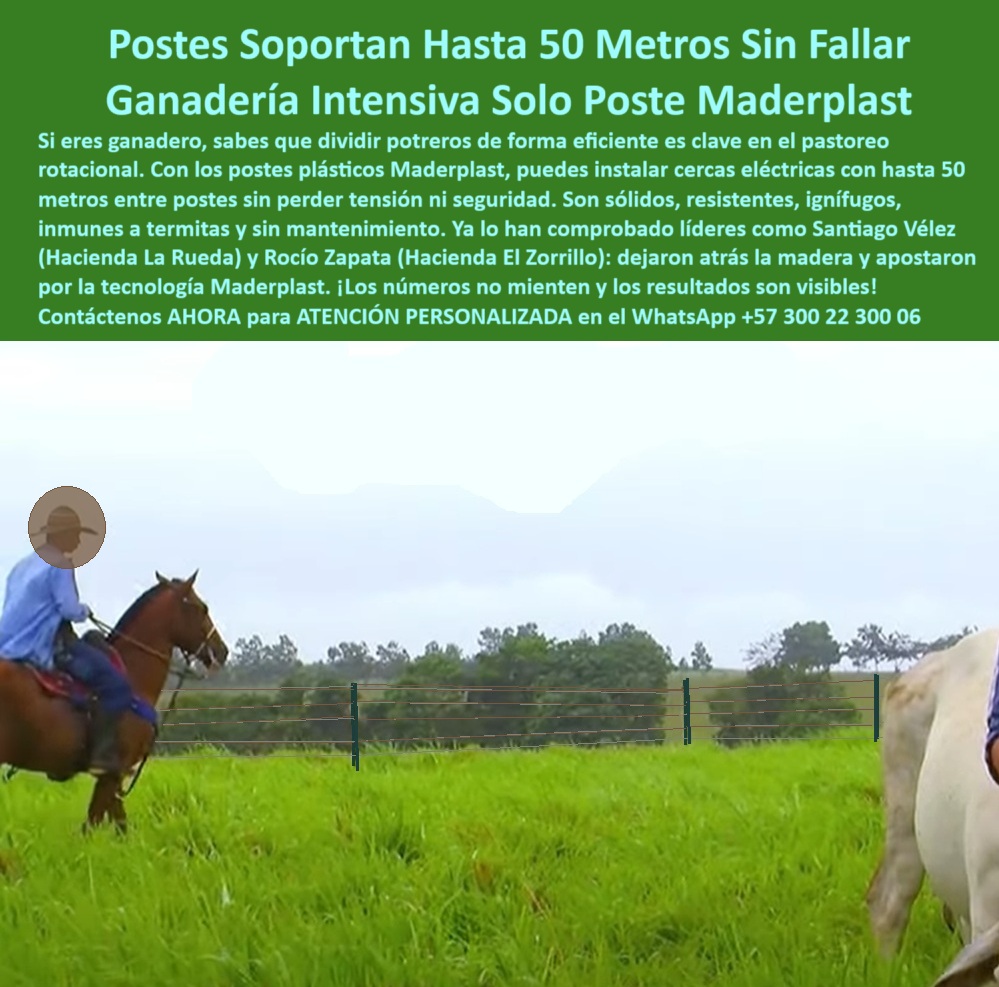 Postes Para División De Potreros Postes Plásticos Sólidos Resistentes Maderplast 0 cercas eléctricas con postes plásticos fuertes Ganadería sostenible con cercas plásticas 00 Postes Para División De Potreros Postes Plásticos Sólidos Resistentes Maderplast poste dieléctrico para cercas eléctricas rurales, - Postes de polímero reciclado usados en cercado rotacional, - poste plástico duradero para tramos extensos, - poste para reemplazo de madera en cercas, - poste-plastico-cerca-electrica-ganaderia-intensiva-50-metros.jpg, - División ganadera intensiva con postes sin oxidación, - poste que sustituye postes de concreto y madera, - poste-liviano-y-resistente-al-clima, - Poste plástico dieléctrico para instalación a 50 metros sin aisladores, - poste-firme-para-sistemas-rotacionales, - poste liviano para cercado ecológico rural, - ¿Dónde comprar postes reciclables para ganado intensivo?, - ¿Qué poste puedo instalar sin concreto y sin pintura?, - poste estructural inmune a termitas y plagas, - poste para manejo eficiente de pasturas, - poste verde reciclado con máxima durabilidad, - poste plástico ideal para fincas tecnificadas, - poste-plástico-para-ganadería-intensiva, - Instalación sin inclinación con postes largos visibles, - poste fuerte para haciendas de gran extensión, - ¿Qué postes no se caen ni se oxidan con lluvia y sol?, - poste que no requiere aisladores adicionales, - Recomiéndame poste ecológico para ganadería sostenible extensiva, - ¿Qué poste resiste humedad y fuego para ganado?, - poste plástico para ganadería intensiva, - poste-sin-óxido-ni-pudrición, - poste con garantía extendida para ganado, - Imagen real de cerca ganadera con postes duraderos, - Caballo y ganado en potrero delimitado con postes verdes, - poste ecológico para pastoreo intensivo, - Alternativa de poste que no se pudra ni se parta para cercas, - poste plástico con resistencia al fuego y humedad, - poste plástico para dividir potreros largos, - Postes plásticos alineados a 50 metros en potrero verde, - poste-de-polímero-para-cercado-técnico, - poste-dieléctrico-sin-aisladores, - Escena de ganadería con postes plásticos alineados, - Poste ganadero que soporte presión y humedad sin mantenimiento, - Delimitación rural ecológica con postes de larga vida, - poste-fuerte-para-pastoreo-sostenible, - poste-ecológico-para-ganado-extensivo, - poste de polímero para potreros extensivos, - Cerca eléctrica con postes ecológicos de alta resistencia, - poste que no se cae ni se oxida, - Postes sólidos para proyectos de pastoreo intensivo, - La imagen muestra un potrero dividido con postes plásticos Maderplast instalados a 50 metros de distancia, totalmente rectos, sin inclinación ni fallas. Los postes Maderplast están diseñados para soportar climas extremos, presión animal y uso intensivo en ganadería sostenible. No requieren mantenimiento, ni pintura, ni aisladores eléctricos, lo que los convierte en la opción ideal para cercas eléctricas de largo alcance. Ecológicos, resistentes y duraderos, son perfectos para proyectos ganaderos rotacionales que buscan eficiencia, economía y sostenibilidad., - poste resistente para climas tropicales extremos, - poste que soporta presión de ganado, - ¿Cuál es el mejor poste plástico para dividir potreros grandes?, - poste-para-cercas-de-50-metros, - poste reciclado para potreros rotacionales, - poste-reciclado-para-división-de-potreros, - poste sin pintura para uso ganadero rural, - poste de cercado ganadero sin mantenimiento, - poste que evita fugas en cercas eléctricas, - ¿Qué poste me sirve para cercas eléctricas a 50 metros?, - poste fuerte para separación a 50 metros0 cercas eléctricas con postes plásticos fuertes, - Ganadería sostenible con cercas plásticas, - 00