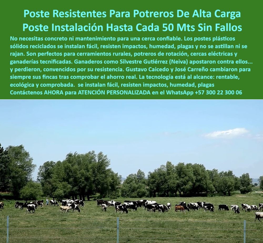 Postes Para División De Potreros Postes Plásticos Sólidos Resistentes Maderplast 0 estacón reforzado de poste ganadería poste para cerca rural instalación de cercas sin concreto grapa alambre en poste cerramientos ecológicos Cerca ganadera sostenible con postes plásticos sin fundición, - ¿Qué poste resiste hasta 50 metros sin intermedios?, - Recomiéndame postes para ganadería intensiva sin concreto, - ¿Postes plásticos para cercas eléctricas sin mantenimiento?, - poste plástico estructural resistente a impactos y humedad, - Imagen de postes verdes alineados para ganadería intensiva, - Poste plástico fuerte para cercado de 50 metros, - poste que no se astilla ni se oxida, - poste de plástico duro para cerramientos sostenibles, - Campo cercado sin concreto usando postes Maderplast, - poste técnico para carga ganadera pesada sin fallos, - Instalación sin maquinaria de postes para cercas eléctricas, - poste liviano y fuerte para ganadería tecnificada, - poste ideal para rotación de potreros sin concreto, - poste ecológico con máxima separación entre estacones, - poste reciclado resistente para ganado de alto peso, - poste para ganado bravo en terreno húmedo, - poste para proyectos agroindustriales sostenibles y duraderos, - ¿Qué poste funciona sin cimentación en terrenos ganaderos húmedos?, - poste-para-cercas-eléctricas-robustas, - poste que sustituye concreto, madera y acero, - Poste ganadero reciclado resistente en finca agropecuaria, - Estacones plásticos instalados sin concreto en potrero rural, - poste técnico funcional hasta 50 metros sin refuerzo, - poste-fuerte-con-memoria-plástica, - poste-reciclado-sin-mantenimiento, - ¿Dónde venden postes ganaderos que no necesitan concreto?, - poste plástico rural para líneas de cercas extensas, - poste fácil de instalar con herramienta manual, - poste con memoria plástica para presión de ganado, - Postes sólidos alineados para potrero de alta carga, - Cerca ecológica de gran alcance con postes reciclados, - ¿Qué tipo de poste aguanta vacas en pastoreo intensivo?, - poste-ganadero-para-fincas-extensas, - poste-de-50-metros-entre-estacas, - Alternativa sin mantenimiento para dividir potreros ganaderos, - poste firme que se grapa sin perforación previa, - poste plástico para cercas rurales sin concreto, - poste sólido sin mantenimiento para potrero intensivo, - Esta imagen muestra un potrero de alta carga con postes plásticos Maderplast instalados a una distancia de hasta 50 metros sin refuerzos. Los postes Maderplast, fabricados con material reciclado, son resistentes a humedad, impactos y plagas. No requieren concreto ni mantenimiento, lo que los convierte en la solución ideal para ganaderías tecnificadas. Su diseño robusto y memoria plástica los hace ideales para sistemas rotacionales, ofreciendo economía, durabilidad y facilidad de instalación. Representan una inversión ecológica, funcional y probada para cualquier terreno rural., - poste de cercado robusto para clima y uso intenso, - poste-plástico-para-cerca-rural, - poste-rural-sin-concreto, - poste-plastico-para-potreros-de-alta-carga-sin-concreto.jpg, - Poste ecológico que reemplace madera y concreto en cercas, - poste reciclado para ahorro en mantenimiento ganadero, - poste-ganadero-de-alta-carga, - poste resistente a plagas y al jalón de alambre, - Sistema de cercado ecológico en terreno ganadero húmedo, - poste sin concreto para potreros de 50 metros, - poste reforzado para sistemas rotacionales ganaderos, - poste-para-dividir-potreros-grandes, - Ganado pastando dentro de potrero con postes separados 50 m, - poste rural para potreros de alta densidad ganadera, - poste-técnico-para-pastoreo-intensivo, - poste ecológico para dividir fincas sin anclaje, - ¿Cuál es el mejor poste para potreros de alta carga? 0 Postes Para División De Potreros Postes Plásticos Sólidos Resistentes Maderplast 0 estacón reforzado de poste ganadería, - poste-para-cerca-rural, - instalación de cercas sin concreto, - grapa alambre en poste cerramientos ecológicos
