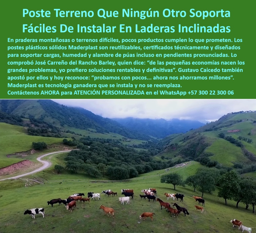 Postes Para División De Potreros Postes Plásticos Sólidos Resistentes Maderplast 0 poste reutilizable para cercas Certificación técnica para postes de plástico reciclado Pradera delimitada con postes ecológicos plásticos postes poste resistente para alambre de púas en praderas, - Poste plástico resistente instalado en ladera ganadera inclinada, - Poste técnico en terreno húmedo y escarpado rural, - poste económico que no requiere reemplazo rural, - poste-ecologico-para-montañas, - Solución de cerramiento firme para zonas ganaderas altas, - poste sólido para delimitación ganadera en praderas, - poste-reutilizable-para-ganaderia, - poste-plastico-solido-para-potreros-en-terrenos-inclinados.jpg, - ¿Cuál es el mejor poste para cercas en praderas escarpadas?, - poste-sin-reemplazo-para-cercas, - poste técnico para conservación de fincas escarpadas, - ¿Cuál es el mejor poste para cerramientos ganaderos permanentes?, - Recomiéndame un poste técnico para dividir potreros en montaña, - poste de alta ingeniería para pendientes con humedad, - Poste certificado que soporte alambre de púas en terrenos difíciles, - poste ecológico para instalación en laderas con ganado, - poste-resistente-para-alambre-de-puas, - ¿Qué poste sirve para dividir potreros en terrenos inclinados?, - poste-certificado-para-fincas, - poste plástico sólido para terrenos forestales, - poste estructural plástico para zonas remotas, - Postes plásticos sólidos en terreno con ganado y pendiente, - poste liviano para cerramiento de alta montaña, - poste con certificación técnica para agricultura, - poste certificado para zonas rurales de difícil acceso, - poste que resiste lluvia, viento y presión animal, - poste-para-terrenos-inclinados, - poste-reciclado-para-potreros, - poste plástico para cercas en terrenos inclinados, - poste de polipropileno reciclado para ganadería moderna, - poste para cercas en terrenos irregulares sin mantenimiento, - cerramiento-rural-en-pendiente, - Pradera ganadera delimitada con postes reciclables Maderplast, - ¿Dónde consigo postes plásticos resistentes para zonas de montaña?, - poste-solido-para-praderas, - ¿Qué poste no se reemplaza y dura muchos años en el campo?, - poste plástico para pendientes pronunciadas en fincas, - poste modular para caminos rurales y áreas inclinadas, - División de potreros inclinados con postes reutilizables, - poste para cercas en colinas sin anclajes pesados, - Línea de postes resistentes visibles en zona de montaña, - poste ganadero duradero y sin oxidación, - La imagen muestra una pradera ganadera inclinada con terreno montañoso, donde los postes plásticos Maderplast delimitan el potrero con total firmeza, incluso en pendientes pronunciadas. Maderplast ofrece postes reutilizables, certificados técnicamente, que resisten humedad, presión y alambre de púas sin rajarse ni oxidarse. Ideales para zonas difíciles, su ligereza permite fácil transporte y su instalación no requiere concreto. Maderplast es la tecnología ganadera definitiva: se instala una vez y no se reemplaza. Maderplast transforma cerramientos rurales con soluciones sólidas, seguras y ecológicas., - Cerramiento ecológico para potrero montañoso en finca rural, - poste que se instala una vez y no se reemplaza más, - poste reutilizable para cercas ganaderas permanentes, - poste seguro para separación de potreros empinados, - poste reciclado para terrenos difíciles sin concreto, - Instalación ganadera segura con postes de polímero reciclado, - ¿Qué poste es ideal para áreas rurales inclinadas con ganado?, - poste resistente para dividir potreros en montaña, - ¿Qué poste plástico funciona en praderas con humedad y pendiente?, - Poste plástico funcional para cercas en terrenos difíciles, - poste-plástico-en-laderas, - ¿Qué poste aguanta humedad y pendiente sin romperse?, - poste confiable que soporta tensión en líneas largas 0 Postes Para División De Potreros Postes Plásticos Sólidos Resistentes Maderplast 0 poste-reutilizable-para-cercas, - Certificación técnica para postes de plástico reciclado, - Pradera delimitada con postes ecológicos plásticos, postes