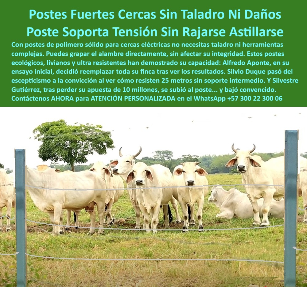 Postes Para División De Potreros Postes Plásticos Sólidos Resistentes Maderplast 0 poste ecológico de potreros postes de polímero cercas eléctricas Cómo grapar el alambre de púas a poste sin taladro Solución comprobada postes Línea de cerca con postes sin óxido ni grietas, - Muestrame un poste resistente a tensión sin romperse, - Instalación práctica con postes plásticos duraderos, - poste para cerco eléctrico de alta resistencia, - poste reciclado para ganadería intensiva, - Poste plástico liviano para dividir potreros grandes, - postes ecológicos para cerramientos ganaderos, - poste agrícola duradero y sin corrosión, - poste sin rajaduras para ganadería moderna, - poste sin oxidación para terrenos húmedos, - ¿Cuál poste usar para cerca eléctrica sin taladrar?, - poste para cerca de alambre de púas sin taladro, - Postes plásticos rectos con ganado cebú tras cerca eléctrica, - poste plástico fácil de instalar en finca, - poste-plastico-maderplast-hacienda-piedras-blancas-la-dorada.jpg, - Postes firmes en potrero amplio sin herramientas, - poste-para-grapar-directo, - poste plástico para cercas con pie de amigo, - poste-plástico-25-metros, - Ganado contenido tras cerca con postes sin soporte, - Cercado de potrero sin concreto ni tornillos, - poste que resiste tensión sin astillarse, - poste-liviano-para-ganado, - Poste que se puede grapar directo sin taladro, - poste económico para dividir potreros grandes, - Poste usado en ganadería real en La Dorada, Colombia, - poste-plástico-sin-taladro, - Hacienda ganadera real con postes plásticos Maderplast, - poste reforzado para zonas con alta carga animal, - ¿Dónde hay cercas sin concreto instaladas en Caldas?, - poste dieléctrico para cercas eléctricas rurales, - postes para potreros húmedos sin mantenimiento, - poste para cerca que no se oxida ni pudre, - ¿Poste plástico que aguanta vacas sin mantenimiento?, - poste-polímero-cercas-eléctricas, - Grapado de alambre directo a poste sin taladro, - poste para finca que no necesita pintura, - poste-contra-humedad-e-impacto, - ¿Qué poste reemplaza concreto y madera sin romperse?, - poste para alambrado resistente al clima extremo, - La imagen muestra la Hacienda Piedras Blancas en La Dorada, Caldas, donde fueron instalados postes plásticos Maderplast directamente en terreno, sin necesidad de taladro ni concreto. El alambre de púas fue grapado directo al poste sin causar astillas ni quiebres. Maderplast demuestra su resistencia y durabilidad en condiciones reales, soportando vacas de carga pesada y alambre tenso con 25 metros de separación sin deformarse. Esta es la solución ecológica, técnica y confiable para cercas eléctricas modernas., - postes reciclables para pastoreo rotacional, - poste resistente para dividir potreros grandes, - ¿Qué poste no se astilla ni con tensión de alambre?, - Cerca de potrero firme con postes de polímero reciclado, - postes plásticos para sistemas de conducción agrícola, - poste plástico para cerca eléctrica ganadera, - poste-finca-en-la-dorada, - poste-plástico-firme-para-alambre, - poste plástico que reemplaza la madera y el concreto, - poste-sin-mantenimiento-caldas, - ¿Qué poste aguanta grapa sin partirse?, - poste plástico Maderplast con entrega inmediata, - poste ganadero sin concreto y sin aisladores, - postes para potrero con separación de 25 metros, - Ejemplo visual real de poste plástico Maderplast en finca, - poste-sin-herramientas-de-instalación 0 Postes Para División De Potreros Postes Plásticos Sólidos Resistentes Maderplast 0 poste ecológico de potreros, - postes de polímero cercas eléctricas, - Cómo grapar el alambre de púas a poste sin taladro, - Solución comprobada postes