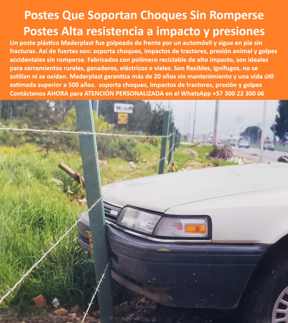 Postes Plásticos A Prueba Impactos Golpes Choques Postes Anti Vandalismo Maderplast 0 cerca ganadera de bajo mantenimiento cálculo de postes para cerro elementos de cercado con tecnología A Prueba Impacto poste plástico rural Poste reciclable de alta resistencia para cercas rurales, - poste plástico sólido para terrenos inclinados, - poste rural duradero sin mantenimiento ni oxidación, - Tecnología Maderplast para protección ganadera y cercas inteligentes., - Poste plástico para ganado en terreno inclinado con choque, - poste de cerca que no se rompe con impactó, - Un poste plástico Maderplast color verde oscuro está enterrado firmemente en el suelo de una zona rural, soportando sin ceder el golpe frontal de un automóvil liviano. El carro ha colisionado directamente contra el poste, y sin embargo, este permanece erguido, sin fracturas, sin astillarse ni doblarse. La cerca está compuesta por alambres tensados que siguen firmes, sin mostrar señales de ruptura, lo que indica la alta resistencia de toda la estructura. Este poste está fabricado en polímero plástico reciclado de alto impacto, diseñado para resistir choques vehiculares, vandalismo y presión de animales grandes. Su superficie es lisa, sin corrosión, sin pintura, sin abolladuras. Los postes plásticos Maderplast están instalados con éxito en cercas ganaderas de bajo mantenimiento en zonas como Mosquera, Cundinamarca, y también en terrenos inclinados de Boyacá. Son ideales para dividir fincas, potreros o perímetros de alto tránsito. Soportan impactos de maquinaria, tractores y vehículos sin partirse ni quebrarse. No requieren mantenimiento, no se oxidan, no se pudren. El poste Maderplast está diseñado para durar más de 500 años y ofrece una solución definitiva para quienes necesitan seguridad y durabilidad en su infraestructura rural. Es la evolución tecnológica del poste tradicional, ahora mejorado con ingeniería colombiana y probado en campo real., - postes plásticos Maderplast de alto impacto estructural, - poste de plástico anti vandalismo rural, - poste con memoria estructural que regresa sin deformarse, - “Postes que soporten colisiones sin partirse ni deformarse”, - Soporta vandalismo, impactos de maquinaria y golpes accidentales., - poste ganadero a prueba de golpes de animales, - Poste de plástico firme y recto tras impacto violento, - postes plásticos para división de potreros resistentes, - poste-plástico-a-prueba-de-impactos, - ¿Qué poste resiste choques de carro sin romperse?, - ¿Dónde venden postes plásticos antivandalismo para cerca ganadera?, - Solución segura, flexible y duradera para el campo colombiano., - No se oxida, no se pudre, no se astilla ni se dobla., - poste flexible para zonas con riesgo de choque, - poste plástico de alto rendimiento Maderplast para ganado, - “Comparar postes plásticos flexibles resistentes a golpes”, - poste para cerco rural con resistencia estructural, - poste-plástico-anti-choque-vehicular, - poste de alta ingeniería para choques de tractores, - Resiste impactos, choques y presión animal sin fracturarse., - poste que no astilla ni oxida en colisiones, - postes resistentes a presión animal y choques urbanos, - poste de cerca que no necesita pintura ni barniz, - poste-sin-mantenimiento-para-fincas, - “Recomendación de poste antivandalismo para perímetros ganaderos”, - “Encuentra poste plástico para cerca rural a prueba de impacto”, - Poste resistente al impacto directo en zonas ganaderas, - Poste plástico Maderplast golpeado por un carro sin romperse., - Poste antivandalismo que no se astilla ni oxida, - “Postes de polímero para terrenos rurales sin mantenimiento”, - poste-para-terreno-en-cerro, - ¿Postes plásticos que aguantan golpes de maquinaria?, - poste-plástico-reciclable-y-resistente, - Poste para cerco que resiste impacto frontal de vehículo, - poste-plástico-para-cercas-ganaderas, - Poste en sabana de Bogotá golpeado sin deformarse, - poste reciclable que soporta impactos de vehículo, - Poste plástico verde impactado por carro sin fractura visible, - poste para cercas que absorben impactos violentos, - Poste flexible que no se rompe al chocar un automóvil, - poste-antivandalismo-maderplast, - Poste ecológico sin mantenimiento con vida útil estimada de 500 años., - poste-que-soporta-choques-directos, - poste flexible ideal para terrenos en cerro, - Instalado en cerca ganadera con alambre de púas tensado., - postes de plástico para seguridad perimetral rural, - poste de plástico que no falla ante vandalismo, - Fabricado en polímero reciclado de alto impacto estructural., - ¿Qué poste plástico es mejor para terrenos inclinados?, - poste-flexible-para-zonas-rurales, - poste rural para zonas ganaderas de alta exigencia, - poste plástico resistente a choques de carro, - poste-de-seguridad-perimetral-rural, - Probado con éxito en zonas rurales de Cundinamarca y Boyacá., - ¿Qué poste rural no se oxida ni se astilla?, - postes plásticos instalados en la sabana de Bogotá, - Poste Maderplast instalado en cerca ganadera de terreno rural, - poste plástico para cercas ganaderas sin mantenimiento, - poste para cercas eléctricas sin fracturas por golpes, - Ideal para dividir fincas, potreros y perímetros rurales., - poste-plastico-antiimpacto-antivandalismo-cerca-ganadera-maderplast.jpg, - Apto para terrenos inclinados y zonas de alto tráfico rural. La foto de esta imagen muestra un poste plástico Maderplast de color verde claro, instalado en una zona de alta vegetación rural, siendo embestido por la parte frontal de un vehículo marca Mazda, con placa amarilla de Bogotá. El carro ha chocado directamente contra el poste y a pesar del impacto, el poste sigue recto, intacto, sin señales de fractura, deformación ni deterioro superficial. El alambre de la cerca continúa tenso, sin ceder al golpe, indicando que el sistema completo mantiene su integridad. El contraste visual entre el pasto crecido, el vehículo sucio y el poste limpio y firme resalta su resistencia al clima, al tiempo y a las condiciones ambientales severas. El material plástico no muestra óxido, astillas ni desprendimientos, demostrando su ventaja frente a los postes metálicos o de madera. Este poste es uno de los estacones plásticos Maderplast diseñados para divisiones temporales o permanentes, especialmente en terrenos agrícolas o ganaderos donde la exposición al impacto, a la humedad o a la maquinaria es constante. La prueba visible en esta imagen corresponde a un ensayo real de resistencia y flexibilidad estructural realizado en campo. Maderplast ofrece garantía de más de 20 años sin mantenimiento y una vida útil estimada de más de 500 años. Este tipo de poste está siendo utilizado en fincas de la Sabana de Bogotá y zonas rurales de Tolima y Boyacá, donde se requiere cercado de alta durabilidad con tecnología plástica avanzada. El poste Maderplast es flexible, resistente, ecológico y completamente inmune a la oxidación, haciendo frente a golpes violentos sin fallar. 0 Postes Plásticos A Prueba Impactos Golpes Choques Postes Anti Vandalismo Maderplast 0 cerca ganadera de bajo mantenimiento, - cálculo de postes para cerro, - elementos de cercado con tecnología A Prueba Impacto, - poste plástico rural